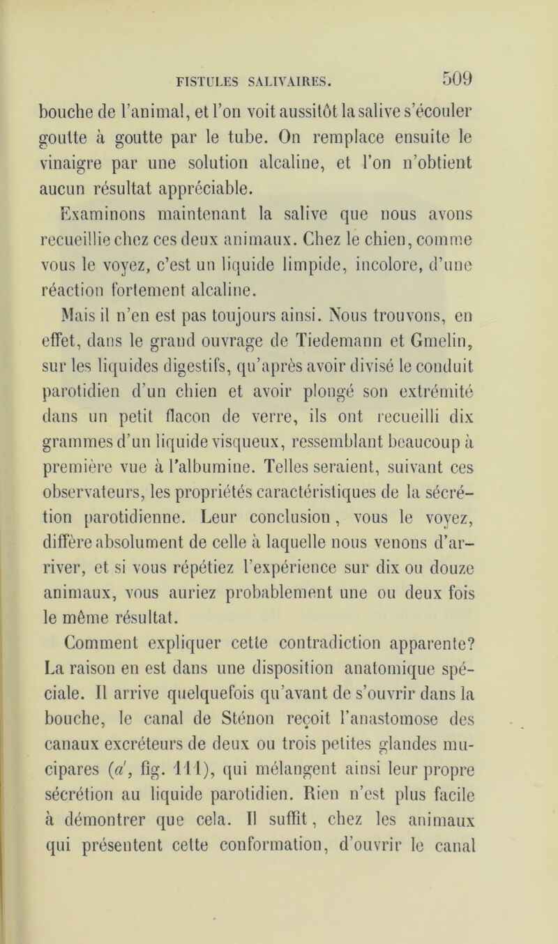 bouche de l’animal, et l’on voit aussitôt la salive s’écouler goutte à goutte par le tube. On remplace ensuite le vinaigre par une solution alcaline, et l’on n’obtient aucun résultat appréciable. Examinons maintenant la salive que nous avons recueillie chez ces deux animaux. Chez le chien, comme vous le voyez, c’est un liquide limpide, incolore, d’une réaction fortement alcaline. Mais il n’en est pas toujours ainsi. Nous trouvons, en effet, dans le grand ouvrage de Tiedemann et Gmelin, sur les liquides digestifs, qu’après avoir divisé le conduit parotidien d’un chien et avoir plongé son extrémité dans un petit flacon de verre, ils ont recueilli dix grammes d’un liquide visqueux, ressemblant beaucoup à première vue à l’albumine. Telles seraient, suivant ces observateurs, les propriétés caractéristiques de la sécré- tion parotidienne. Leur conclusion, vous le voyez, diffère absolument de celle à laquelle nous venons d’ar- river, et si vous répétiez l’expérience sur dix ou douze animaux, vous auriez probablement une ou deux fois le môme résultat. Comment expliquer cette contradiction apparente? La raison en est dans une disposition anatomique spé- ciale. Il arrive quelquefois qu’avant de s’ouvrir dans la bouche, le canal de Stérion reçoit l’anastomose des canaux excréteurs de deux ou trois petites glandes mu- cipares (ci, fig. 111), qui mélangent ainsi leur propre sécrétion au liquide parotidien. Rien n’est plus facile à démontrer que cela. Il suffit, chez les animaux qui présentent cette conformation, d’ouvrir le canal