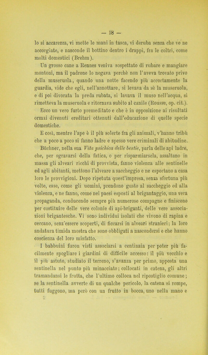 -Ig- lò si accarezza, vi mette le mani in tasca, vi deruba senza che ve ne accorgiate, e nasconde il bottino dentro i drappi, fra le coltri, come molti domestici (Brehm). Un grosso cane a Rennes veniva sospettato di rubare e mangiare montoni, ma il padrone lo negava perchè non l’aveva trovato privo della museruola, quando una notte facendo più accortamente la guardia, vide che egli, nell’annottare, si levava da sè la museruola, e di poi divorata la preda rubata, si lavava il muso nell’acqua, si rimetteva la museruola e ritornava subito al canile (Rousse, op. cit.). Ecco un vero furto premeditato e che è in opposizione ai risultati ormai divenuti ereditari ottenuti dall’educazione di quelle specie domestiche. E così, mentre l’ape è il più solerte fra gli animali, v’hanno tribù che a poco a poco si fanno ladre e spesso vere criminali di abitudine. Bùchner, nella sua Vita psichica delle bestie, parla delle api ladre, che, per sgravarsi della fatica, o per risparmiarsela, assaltano in massa gli alveari ricchi di provvista, fanno violenza alle sentinelle ed agli abitanti, mettono l’alveare a saccheggio e ne esportano a casa loro le provvigioni. Dopo ripetuta quest’impresa, senza sfortuna più volte, esse, come gli uomini, prendono gusto al saccheggio ed alla violenza, e ne fanno, come nei paesi esposti al brigantaggio, una vera propaganda, conducendo sempre più numerose compagne e finiscono per costituire delle vere colonie di api-briganti, delle vere associa- zioni brigantesche. Vi sono individui isolati che vivono di rapina e cercano, senz’essere scoperti, di ficcarsi in alveari stranieri: la loro andatura timida mostra che sono obbligati a nascondersi e che hanno coscienza del loro misfatto. I babbuini furon visti associarsi a centinaia per poter più fa- cilmente spogliare i giardini di difficile accesso: il più vecchio e il più astuto, studiato il terreno, s’avanza per primo, apposta una sentinella nel punto più minacciato ; collocati in catena, gli altri tramandansi le frutta, che l’ultimo colloca nel ripostiglio comune ; se la sentinella avverte di un qualche pericolo, la catena si rompe, tutti fuggono, ma però con un frutto in bocca, uno nella mano e