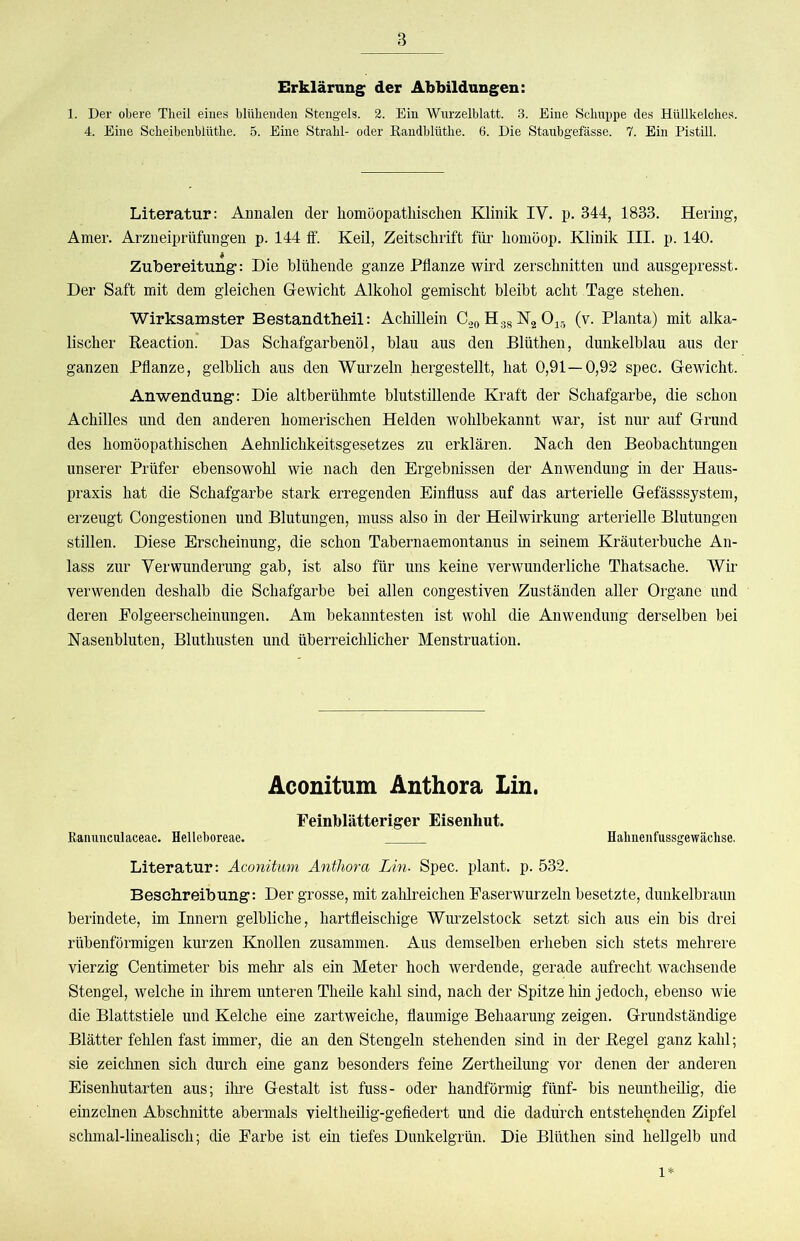 Erklärung; der Abbildungen: 1. Der obere Theil eines bliibenden Stengels. 2. Ein Wurzelblatt. 3. Eine Schnppe des Hüllkelches. 4. Eine Scheibenbltithe. 5. Eine Strahl- oder ßandblüthe. 6. Die Staubgefässe. 7. Ein Pistill. Literatur: Armalen der homöopathischen Klinik IV. p. 344, 1833. Hering, Amer. Arzneiprüfungen p. 144 &. Keil, Zeitschrift für honiöop. Klinik III. p. 140. Zubereitung: Die blühende ganze Pflanze wird zerschnitten und ausgepresst. Der Saft mit dem gleichen Gewicht Alkohol gemischt bleibt acht Tage stehen. Wirksamster Bestandtheil: Achillein C2oH3gN2 0ig (v. Planta) mit alka- lischer Eeaction. Das Schafgarbenöl, blau aus den Blüthen, dunkelblau aus der ganzen Pflanze, gelblich aus den Wurzeln hergestellt, hat 0,91—0,92 spec. Gewicht. Anwendung: Die altberühmte blutstillende Kraft der Schafgarbe, die schon Achilles und den anderen homerischen Helden wohlbekannt war, ist nur auf Grund des homöopathischen Aehnlichkeitsgesetzes zu erklären. Nach den Beobachtungen unserer Prüfer ebensowohl wie nach den Ergebnissen der Anwendung in der Haus- praxis hat die Schafgarbe stark erregenden Einfluss auf das arterielle Gefässsystem, erzeugt Congestionen und Blutungen, muss also in der Heilwirkung arterielle Blutungen stillen. Diese Erscheinung, die schon Tabernaemontanus in seinem Kräuterbuche An- lass zur Verwunderung gab, ist also für uns keine verwunderliche Thatsache. Wir verwenden deshalb die Schafgarbe bei allen congestiven Zuständen aller Organe und deren Folgeerscheinungen. Am bekanntesten ist wohl die Anwendung derselben bei Nasenbluten, Bluthusten und überreichlicher Menstruation. Aconitum Anthora Lin. Feinblätteriger Eisenhut. Raiiunculaceae. flelleboreae. Haliuenfussgewächse. Literatur: Aconitum Antliora Lin- Spec. plant, p. 532. Besclireibung: Der grosse, mit zahlreichen Faserwurzeln besetzte, dunkelbraun berindete, im Innern gelbliche, hartfleischige Wurzelstock setzt sich aus ein bis drei rübenförmigen kurzen Knollen zusammen. Aus demselben erheben sich stets mehrere vierzig Centimeter bis mehr als ein Meter hoch werdende, gerade aufrecht wachsende Stengel, welche in ihrem unteren Theile kahl sind, nach der Spitze hin jedoch, ebenso wie die Blattstiele und Kelche eine zartweiche, flaumige Behaarung zeigen. Grundständige Blätter fehlen fast immer, die an den Stengeln stehenden sind in der Hegel ganz kahl; sie zeichnen sich durch eine ganz besonders feine Zertheilung vor denen der anderen Eisenhutarten aus; ihre Gestalt ist fuss- oder handförmig fünf- bis neuntheilig, die einzelnen Abschnitte abermals vieltheilig-gefiedert und die dadurch entstehenden Zipfel schmal-linealisch; die Farbe ist ein tiefes Dunkelgrün. Die Blüthen sind hellgelb und