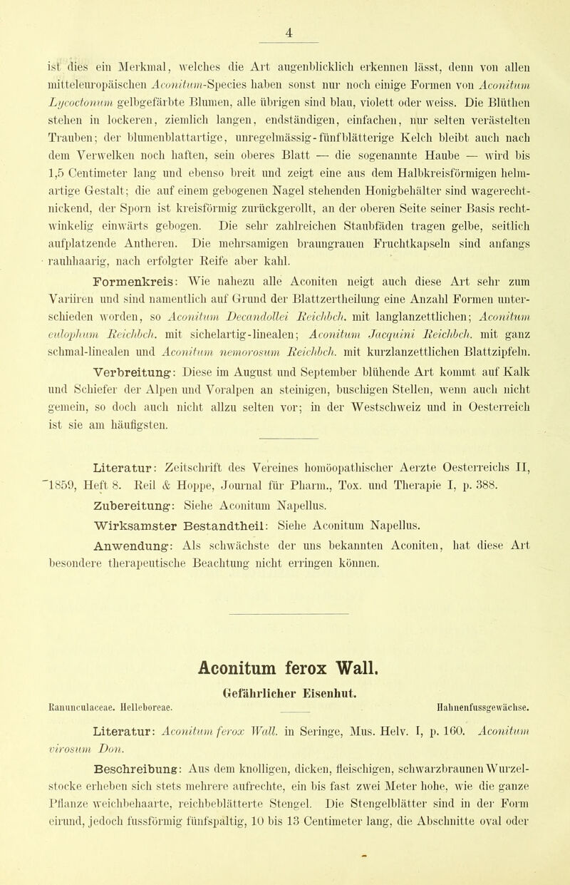 ist dies ein Merkmal, welches die Art augenblicklich erkennen lässt, denn von allen mitteleuropäischen Acom^ztm-Species haben sonst nur noch einige Formen von Aconitum Lycoctonwn gelbgefärbte Blumen, alle übrigen sind blau, violett oder weiss. Die Blüthen stehen in lockeren, ziemlich langen, endständigen, einfachen, nur selten verästelten Trauben; der blumenblattartige, unregelmässig-fünf blätterige Kelch bleibt auch nach dem Verwelken noch haften, sein oberes Blatt — die sogenannte Haube — wird bis 1,5 Centimeter lang und ebenso breit und zeigt eine aus dem Halbkreisförmigen helm- artige Gestalt; die auf einem gebogenen Nagel stehenden Honigbehälter sind wagerecht- nickend, der Sporn ist kreisförmig zurückgerollt, an der oberen Seite seiner Basis recht- winkelig einvArts gebogen. Die sehr zahlreichen Staubfäden tragen gelbe, seitlich aufplatzende Antheren. Die mehrsamigen braungrauen Fruchtkapseln sind anfangs rauhhaarig, nach erfolgter Reife aber kahl. Formenkreis: Wie nahezu alle Aconiten neigt auch diese Art sehr zum Variiren und sind namentlich auf Grund der Blattzertheilung eine Anzahl Formen unter- schieden worden, so Aconihmi DeccindoUei Reichbch. mit langlanzettlichen; Aconitum eulophum Beiclibch. mit sichelartig-linealen; Aconitum Jacquini Reichbch. mit ganz schmal-linealen und Aconitum nemorosum Reichbch. mit kurzlanzettlichen Blattzipfeln. Verbreitung: Diese im August und September blühende Art kommt auf Kalk und Schiefer der Alpen und Voralpen an steinigen, buschigen Stellen, wenn auch nicht gemein, so doch auch nicht allzu selten vor; in der Westschweiz und in Oesterreich ist sie am häufigsten. Literatur: Zeitschrift des Vereines homöopathischer Aerzte Oesterreichs II, '1859, Heft 8. Reil & Hoppe, Journal für Pharm., Tox. und Therapie I, p. 388. Zubereitung: Siehe Aconitum Napellus. Wirksamster Bestandtheil: Siehe Aconitum Napellus. Anwendung: Als schwächste der uns bekannten Aconiten, hat diese Art besondere therapeutische Beachtung nicht erringen können. Aconitum ferox Wall. Gefährlicher Eisenhut. ßauuuculaceae. Helleboreae. Hahnenfussgewäclise. Literatur: Aconitum ferox Wall, in Seringe, Mus. Helv. I, p. 160. Aconitum virosum Don. Beschreibung: Aus dem knolligen, dicken, fieischigen, schwarzbraunen Wurzel- stocke erheben sich stets mehrere aufrechte, ein bis fast zwei Meter hohe, wie die ganze Pflanze weichbehaarte, reichbeblätterte Stengel. Die Stengelblätter sind in der Form eirund, jedoch fussförmig fünfspaltig, 10 bis 13 Centimeter lang, die Abschnitte oval oder