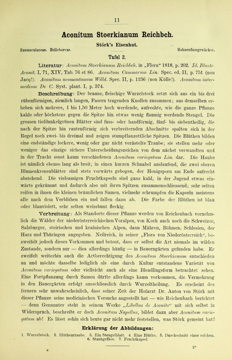 Aconitum Stoerkianum Eeichbch. Störk’s Eisenhut. Kanuncalaceae. Helleboreae. Hahnenfassgewächse. Tafel 2. Literatur: Aconitum Stoerkianum Reiclihch.m ^.202. Id.lllustr. Aconit I, 71, Xiy, Tab. 76 et 86. Aconitum Cammarum Lin. Spec. ed. II, p. 751 (non Jacq!). Aconitum neomontanum Willd. Spec. II, p. 1236 (non Kölle!). Aconitum inter- medium De C. Syst, plant. I, p. 374. Beschreibung: Der braune, fleischige Wurzelstock setzt sich aus ein bis drei rübenförmigen, ziemlich langen, Fasern tragenden Knollen zusammen; aus demselben er- heben sich mehrere, 1 bis 1,50 Meter hoch werdende, aufrechte, wie die ganze Pflanze kahle oder höchstens gegen die Spitze hin etwas wenig flaumig werdende Stengel. Die grossen tiefdunkelgrnnen Blätter sind fuss- oder handförmig, fünf- bis siebentheilig, die nach der Spitze hin rautenförmig sich verbreiternden Abschnitte spalten sich in der Kegel noch zwei- bis dreimal und zeigen stumpflanzettliche Spitzen. Die Blüthen bilden eine endständige lockere, wenig oder gar nicht verästelte Traube; sie stellen mehr oder weniger das einzige sichere Unterscheidungszeichen von dem nächst verwandten und in der Tracht sonst kaum verschiedenen Aconitum variegatum Lin. dar. Die Haube ist nämlich ebenso lang als breit, in einen kurzen Schnabel auslaufend, die zwei oberen Blumenkronenblätter sind stets vorwärts gebogen, der Honigsporn am Ende aufrecht abstehend. Die vielsamigen Fruchtkapseln sind ganz kahl, in der Jugend etwas ein- wärts gekrümmt und dadurch also mit ihren Spitzen zusammenschliessend; sehr selten reifen in ihnen die kleinen bräunlichen Samen, vielmehr schrumpfen die Kapseln meistens alle nach dem Verblühen ein und fallen dann ab. Die Farbe der Blüthen ist blau oder blauviolett, sehr selten weissbunt fleckig. Verbreitung-: Als Standorte dieser Pflanze werden von Reichenbach vornehm- lich die Wälder der niederösterreichischen Voralpen, von Koch auch noch die Schweizer, Salzburger, steirischen und krainischen Alpen, dann Mähren, Böhmen, Schlesien, der Harz und Thüringen angegeben. Keilreich, in seiner „Flora von Niederösterreich“, be- zweifelt jedoch dieses Vorkommen und betont, dass er selbst die Art niemals im wilden Zustande, sondern nur — dies allerdings häufig — in Bauerngärten gefunden habe. Er zweifelt weiterhin auch die Artberechtigung des Aconitum Stoerkianum entschieden an und möchte dasselbe lediglich als eine durch Kultur entstandene Varietät von Aconitum variegatum oder vielleicht auch als eine Blendlingsform betrachtet sehen. Eine Fortpflanzung durch Samen dürfte allerdings kaum verkommen, die Vermehrung in den Bauergärten erfolgt ausschliesslich durch Wurzeltheilung. Es erscheint des fernem sehr unwahrscheinlich, dass seiner Zeit der Hofarzt Dr. Anton von Störk mit dieser Pflanze seine medicinischen Versuche angestellt hat — wie Eeichenbach berichtet — denn Genannter steht in seinem Werke „Libellus de Aconito“ mit sich selbst in Widerspruch, beschreibt er doch Aconitum Napellus^ bildet dazu aber Aconitum varie- gatum ab 1 Es lässt sohin sich heute gar nicht mehr feststellen, was Störk gemeint hat! Erklärung; der Abbildung;en: 1. Wurzelstock. 2. Blüthentraube. 3. Ein Stengelblatt. 4. Eine Blüthe. 5. Dnrchschnitt einer solchen. 6. Stanbgefäss. 7. Eruclitkapsel. 2*