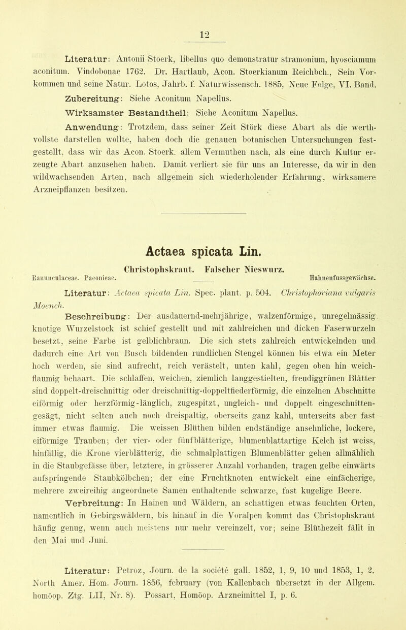 Literatur: Antoiiü Stoerk, libellus quo demonstratur stramonium, hyosciamum aconitum. Vindobonae 1762. Dr. Hartlaub, Acon. Stoerkianum Eeichbch., Sein Vor- kommen und seine Natur. Lotos, Jahrb. f. Naturwissenscli. 1885, Neue Folge, VI. Band. Zubereitung-: Siehe Aconitum Napellus. Wirksamster Bestandtheil: Siehe Aconitum Napellus. Anwendung: Trotzdem, dass seiner Zeit Stork diese Abart als die werth- vollste darstellen wollte, haben doch die genauen botanischen Untersuchungen fest- gestellt. dass wir das Acon. Stoerk. allem Vermuthen nach, als eine durch Kultur er- zeugte Abart anzusehen haben. Damit verliert sie für uns an Interesse, da Avir in den wildwachsenden Arten, nach allgemein sich wiederholender Erfahrung, wirksamere Arzneipflanzen besitzen. Actaea spicata Lin. Christopliskraut. Falscher Nieswurz. Kammculaceae. Paeonieae. Halinenfussgewäclise. Literatur: Adaea spicata Lin. Spec. plant, p. 504. Christoplioriana vulgaris Moench. Beschreibung: Der ausdauernd-mehrjährige, walzenförmige, unregelmässig, knotige Wurzelstock ist schief gestellt und mit zahlreichen und dicken Faserwurzeln besetzt, seine Farbe ist gelblichbraun. Die sich stets zahlreich entwickelnden und dadurch eine Art von Busch bildenden rundlichen Stengel können bis etwa ein Meter hoch Averden, sie sind aufrecht, reich verästelt, unten kahl, gegen oben hin weich- flaumig behaart. Die schlaffen, weichen, ziemlich langgestielten, freudiggrünen Blätter sind doppelt-dreischnittig oder dreischnittig-doppeltfiederförmig, die einzelnen Abschnitte eiförmig oder herzförmig-länglich, zugespitzt, ungleich- und doppelt eingeschnitten- gesägt, nicht selten auch noch dreispaltig, oberseits ganz kahl, unterseits aber fast immer etwas flaumig. Die weissen Blüthen bilden endständige ansehnliche, lockere, eiförmige Trauben; der vier- oder fünf blätterige, blumenblattartige Kelch ist weiss, hinfällig, die Krone vierblätterig, die schmalplattigen Blumenblätter gehen allmählich in die Staubgefässe über, letztere, in grösserer Anzahl vorhanden, tragen gelbe einwärts aufspringende Staubkölbchen; der eine Fruchtknoten entwickelt eine einfächerige, mehrere zweireihig angeordnete Samen enthaltende schwarze, fast kugehge Beere. Verbreitung-: In Hainen und Wäldern, an schattigen etwas feuchten Orten, namentlich in Gebirgswäldem, bis hinauf in die Voralpen kommt das Christophskraut häufig genug, wenn auch meistens nur mehr vereinzelt, vor; seine Blüthezeit fällt in den Mai und Jmii. Literatur: Petroz, Journ. de la societe gall. 1852, 1, 9, 10 und 1853, 1, 2. North Amer. Hom. Journ. 1856, february (von Kallenbach übersetzt in der Allgem. homöop. Ztg. LII, Nr. 8). Possart, Homöop. Arzneimittel I, p. 6.