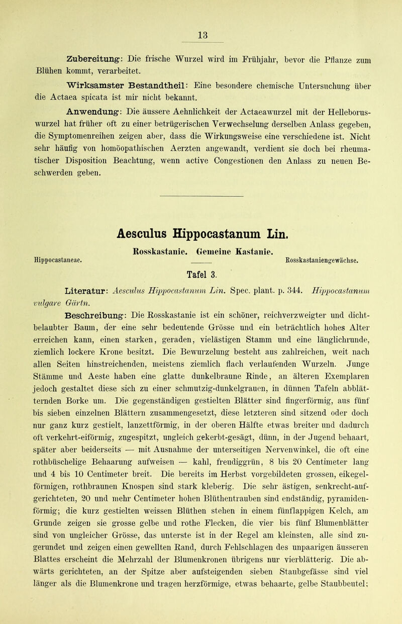 Zubereitung: Die frische Wurzel wird im Frühjahr, bevor die Pflanze zum Blühen kommt, verarbeitet. Wirksamster Bestandtheil: Eine besondere chemische Untersuchung über die Actaea spicata ist mir nicht bekannt. Anwendung: Die äussere Aehnlichkeit der Actaeawurzel mit der Helleborus- wurzel hat früher oft zu einer betrügerischen Verwechselung derselben Anlass gegeben, die Symptomenreihen zeigen aber, dass die Wirkungsweise eine verschiedene ist. Nicht sehr häufig von homöopathischen Aerzten angewandt, verdient sie doch bei rheuma- tischer Disposition Beachtung, wenn active Congestionen den Anlass zu neuen Be- schwerden geben. Aesculus Hippocastanum Lin. Rosskastanie. Gemeine Kastanie. Hippocastaneae. Rosskastaniengewäclise. Tafel 3. Literatur: Aesculus Hippocastanum lÄn. Spec. plant, p. 344. Hippocastanum vulgare Gärtn. Beschreibung: Die Rosskastanie ist ein schöner, reichverzweigter und dicht- belaubter Baum, der eine sehr bedeutende Grösse und ein beträchtlich hohes Alter erreichen kann, einen starken, geraden, vielästigen Stamm und eine länglichrunde, ziemlich lockere Krone besitzt. Die Bewurzelung besteht aus zahlreichen, weit nach allen Seiten hinstreichenden, meistens ziemlich flach verlaufenden Wurzeln. Junge Stämme und Aeste haben eine glatte dunkelbraune Rinde, an älteren Exemplaren jedoch gestaltet diese sich zu einer schmutzig-dunkelgrauen, in dünnen Tafeln abblät- temden Borke um. Die gegenständigen gestielten Blätter sind fingerförmig, aus fünf bis sieben einzelnen Blättern zusammengesetzt, diese letzteren sind sitzend oder doch nur ganz kurz gestielt, lanzettförmig, in der oberen Hälfte etwas breiter und dadurch oft verkehrt-eiförmig, zugespitzt, ungleich gekerbt-gesägt, dünn, in der Jugend behaart, später aber beiderseits — mit Ausnahme der unterseitigen Nervenwinkel, die oft eine rothbüschelige Behaarung aufweisen — kahl, freudiggrün, 8 bis 20 Centimeter lang und 4 bis 10 Centimeter breit. Die bereits im Herbst vorgebildeten grossen, eikegel- förmigen, rothbraunen Knospen sind stark kleberig. Die sehr ästigen, senkrecht-auf- gerichteten, 20 und mehr Centimeter hohen Blüthentrauben sind endständig, pyramiden- förmig; die kurz gestielten weissen Blüthen stehen in einem fünflappigen Kelch, am Grunde zeigen sie grosse gelbe und rothe Flecken, die vier bis fünf Blumenblätter sind von ungleicher Grösse, das unterste ist in der Regel am kleinsten, alle sind zu- gerundet und zeigen einen gewellten Rand, durch Fehlschlagen des unpaarigen äusseren Blattes erscheint die Mehrzahl der Blumenkronen übrigens nur vierblätterig. Die ab- wärts gerichteten, an der Spitze aber aufsteigenden sieben Staubgefässe sind viel länger als die Blumenkrone und tragen herzförmige, etwas behaarte, gelbe Staubbeutel;