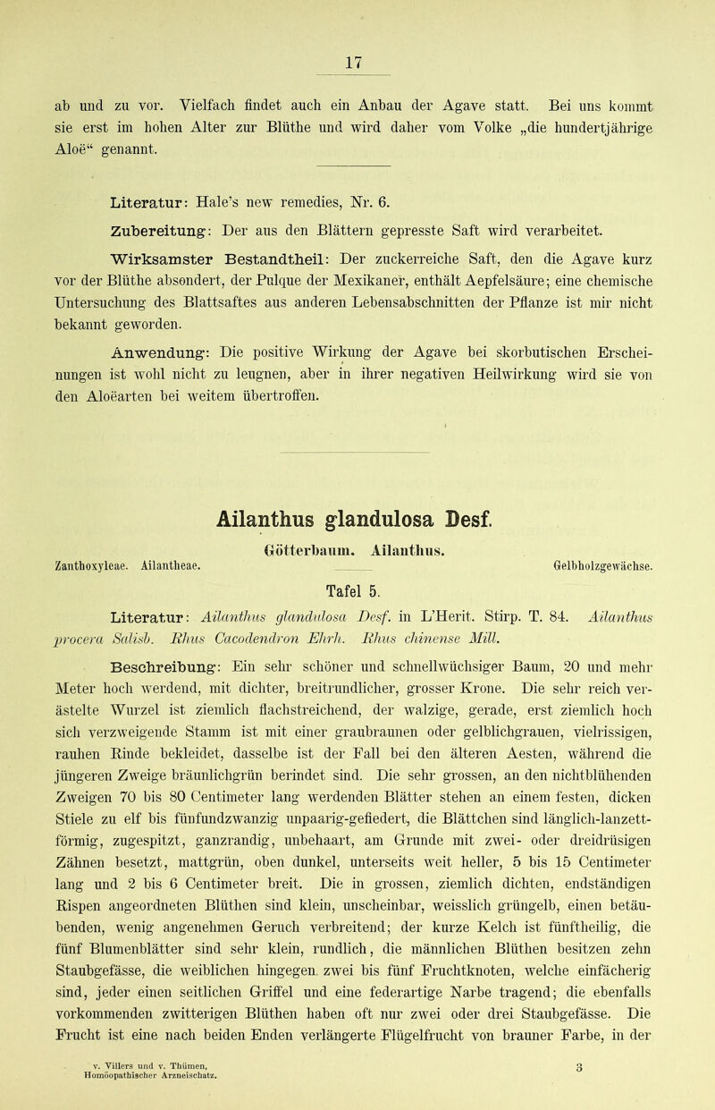 ab und zu vor. Vielfach findet auch ein Anbau der Agave statt. Bei uns kommt sie erst im hohen Alter zur Blüthe und wird daher vom Volke „die hundertjährige Aloe“ genannt. Literatur: Hale’s new remedies, Nr. 6. Zubereitung: Der aus den Blättern gepresste Saft wird verarbeitet. Wirksamster Bestandtheil: Der zuckerreiche Saft, den die Agave kurz vor der Blüthe absondert, derPulque der Mexikaner, enthält Aepfelsäure; eine chemische Untersuchung des Blattsaftes aus anderen Lebensabschnitten der Pflanze ist mir nicht bekannt geworden. Anwendung: Die positive Wirkung der Agave bei skorbutischen Erschei- nungen ist wohl nicht zu leugnen, aber in ihrer negativen Heilwirkung wird sie von den Aloearten bei weitem übertroffen. Ailanthus glandulosa Desf. (xötterbaum. Ailanthus. Zanthoxylcae. Ailantlieae. Gelbtolzgewächse. Tafel 5. Literatur: Ailanthus glandulosa Desf. in L’Herit. Stirp. T. 84. Ailanthus procera Salisb. Bims Cacodendron Ehrh. Bhus chinense Mül. Beschreibung: Ein sehr schöner und schnellwüchsiger Baum, 20 und mehr Meter hoch werdend, mit dichter, breitrundlicher, grosser Krone. Die sehr reich ver- ästelte Wurzel ist ziemlich flachstreichend, der walzige, gerade, erst ziemlich hoch sich verzweigende Stamm ist mit einer graubraunen oder gelblichgrauen, vielrissigen, rauhen Kinde bekleidet, dasselbe ist der Fall bei den älteren Aesten, während die jüngeren Zweige bräunlichgrün berindet sind. Die sehr grossen, an den nichtblühenden Zweigen 70 bis 80 Centimeter lang werdenden Blätter stehen an einem festen, dicken Stiele zu elf bis fünfundzwanzig unpaarig-gefiedert, die Blättchen sind länglich-lanzett- förmig, zugespitzt, ganzrandig, unbehaart, am Grunde mit zwei- oder dreidrüsigen Zähnen besetzt, mattgrün, oben dunkel, unterseits weit heller, 5 bis 15 Centimeter lang und 2 bis 6 Centimeter breit. Die in grossen, ziemlich dichten, endständigen Kispen angeordneten Blüthen sind klein, unscheinbar, weisslich grüngelb, einen betäu- benden, wenig angenehmen Geruch verbreitend; der kurze Kelch ist fünftheilig, die fünf Blumenblätter sind sehr klein, rundlich, die männlichen Blüthen besitzen zehn Staubgefässe, die weiblichen hingegen, zwei bis fünf Fruchtknoten, welche einfächerig sind, jeder einen seitlichen Griffel und eine federartige Narbe tragend; die ebenfalls vorkommenden zwitterigen Blüthen haben oft nur zwei oder drei Staubgefässe. Die Frucht ist eine nach beiden Enden verlängerte Flügelfrucht von brauner Farbe, in der