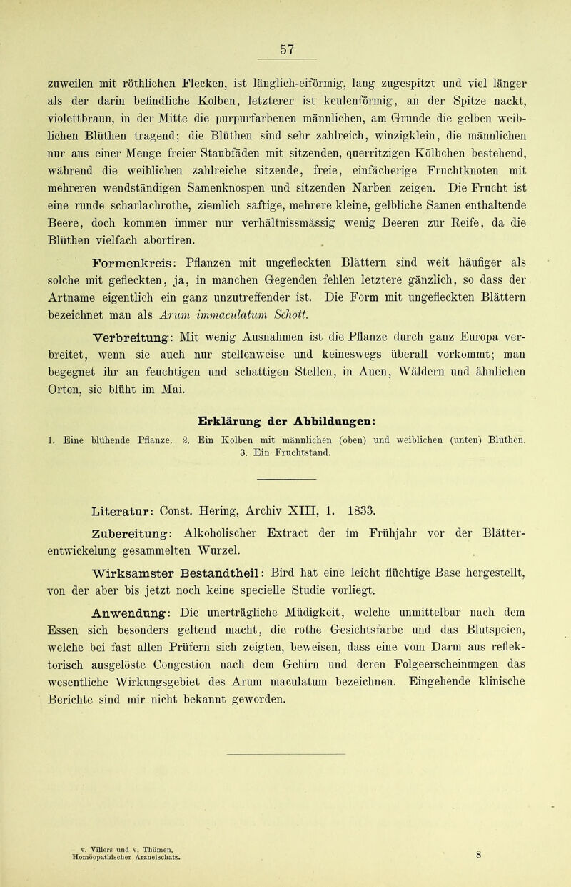 zuweilen mit röthlidien Flecken, ist länglich-eiförmig, lang zugespitzt und viel länger als der darin befindliche Kolben, letzterer ist keulenförmig, an der Spitze nackt, violettbraun, in der Mitte die purpurfarbenen männlichen, am Grunde die gelben weib- lichen Blüthen tragend; die Blüthen sind sehr zahlreich, winzigklein, die männlichen nur aus einer Menge freier Staubfäden mit sitzenden, querritzigen Kölbchen bestehend, während die weiblichen zahlreiche sitzende, freie, einfächerige Fruchtknoten mit mehreren wendständigen Samenknospen und sitzenden Karben zeigen. Die Frucht ist eine runde scharlachrothe, ziemlich saftige, mehrere kleine, gelbliche Samen enthaltende Beere, doch kommen immer nur verhältnissmässig wenig Beeren zur Keife, da die Blüthen vielfach abortiren. Formenkreis: Pflanzen mit ungedeckten Blättern sind weit häufiger als solche mit gedeckten, ja, in manchen Gegenden fehlen letztere gänzlich, so dass der Artname eigentlich ein ganz unzutreffender ist. Die Form mit ungedeckten Blättern bezeichnet man als Arum immaculatum Schott. Verbreitung-: Mit wenig Ansnahmen ist die Pfianze durch ganz Europa ver- breitet, wenn sie auch nur stellenweise und keineswegs überall vorkommt; man begegnet ihr an feuchtigen und schattigen Stellen, in Auen, Wäldern und ähnlichen Orten, sie blüht im Mai. Erklärung der Abbildungen: 1. Eine blüliende Pflanze. 2. Ein Kolben mit männlichen (oben) und weiblichen (unten) Blüthen. 3. Ein Fruchtstand. Literatur: Const. Hering, Archiv XIII, 1. 1833. Zubereitung: Alkoholischer Extract der im Frühjahr vor der Blätter- entwickelung gesammelten Wurzel. Wirksamster Bestandtheil: Bird hat eine leicht fiüchtige Base hergestellt, von der aber bis jetzt noch keine specielle Studie vorliegt. Anwendung: Die unerträgliche Müdigkeit, welche unmittelbar nach dem Essen sich besonders geltend macht, die rothe Gesichtsfarbe und das Blutspeien, welche bei fast allen Prüfern sich zeigten, beweisen, dass eine vom Darm aus refiek- torisch ausgelöste Congestion nach dem Gehirn und deren Folgeerscheinungen das wesentliche Wirkungsgebiet des Arum maculatum bezeichnen. Eingehende klinische Berichte sind mir nicht bekannt geworden. V. TiUers un( Homöopathische Thümen rzneischatz.