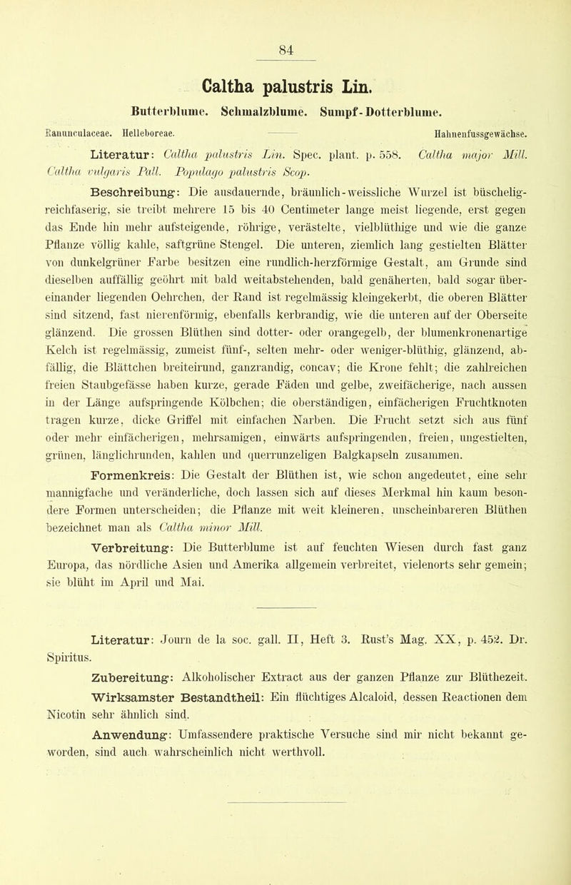 Galtha palustris Lin. Butterl)lume. Sclimalzblume. Sumpf-Dotterblume. Eanauculaceae. Helleboreae. Halineiifassgewächse. Literatur: Caltha palustris Lin. Spec. plant, p. 558. Caltha major Mül. Caltha vulgaris Pall. Populago paliistris Scop. Beschreibung:: Die ausdauernde, bräunlich-weissliche Wurzel ist büschelig- reichfaserig-, sie treibt mehrere 15 bis 40 Centimeter lange meist liegende, erst gegen das Ende hin mehr aufsteigende, röhrige, verästelte, vielblütliige und wie die ganze Pflanze völlig kahle, saftgrüne Stengel. Die unteren, ziemlich lang gestielten Blätter von dunkelgrüner Earbe besitzen eine rundlich-herzförmige Gestalt, am Grunde sind dieselben auffällig geölirt mit bald weitabstehenden, bald genäherten, bald sogar über- einander liegenden Oehrchen, der Band ist regelmässig kleingekerbt, die oberen Blätter sind sitzend, fast nierenförmig, ebenfalls kerbrandig, wie die unteren auf der Oberseite glänzend. Die grossen Blüthen sind dotter- oder orangegelb, der blumenkronenartige Kelch ist regelmässig, zumeist fünf-, selten mehr- oder weniger-blüthig, glänzend, ab- fällig, die Blättchen breiteirund, ganzrandig, concav; die Krone fehlt; die zahlreichen freien Staubgefässe haben kurze, gerade Fäden und gelbe, zweifächerige, nach aussen in der Länge aufspringende Kölbchen; die oberständigen, einfächerigen Fruchtknoten tragen kurze, dicke Griffel mit einfachen Narben. Die Frucht setzt sich aus fünf oder mehr einfächerigen, mehrsamigen, einwärts aufspringenden, freien, ungestielten, grünen, länglichrunden, kahlen und querrunzeligen Balgkapseln zusammen. Formenkreis: Die Gestalt der Blüthen ist, wie schon angedeutet, eine sehr mannigfache und veränderliche, doch lassen sich auf dieses Merkmal hin kaum beson- dere Formen unterscheiden; die Pflanze mit weit kleineren, unscheinbareren Blüthen bezeichnet man als Caltha minor Mül. Verbreitung: Die Butterblume ist auf feuchten Wiesen durch fast ganz Eimopa, das nördliche Asien und Amerika allgemein verbreitet, vielenorts sehr gemein; sie blüht im April und Mai. Literatur: Journ de la soc. gall. II, Heft 3. Bust’s Mag. XX, p. 452. Dr. Spiritus. Zubereitung: Alkoholischer Extract aus der ganzen Pflanze zur Blüthezeit. Wirksamster Bestandtbeil: Ein flüchtiges Alcaloid, dessen Reactionen dem Nicotin sehr ähnlich sind. Anwendung: Umfassendere praktische Versuche sind mir nicht bekannt ge- worden, sind auch, wahrscheinlich nicht werthvoll.