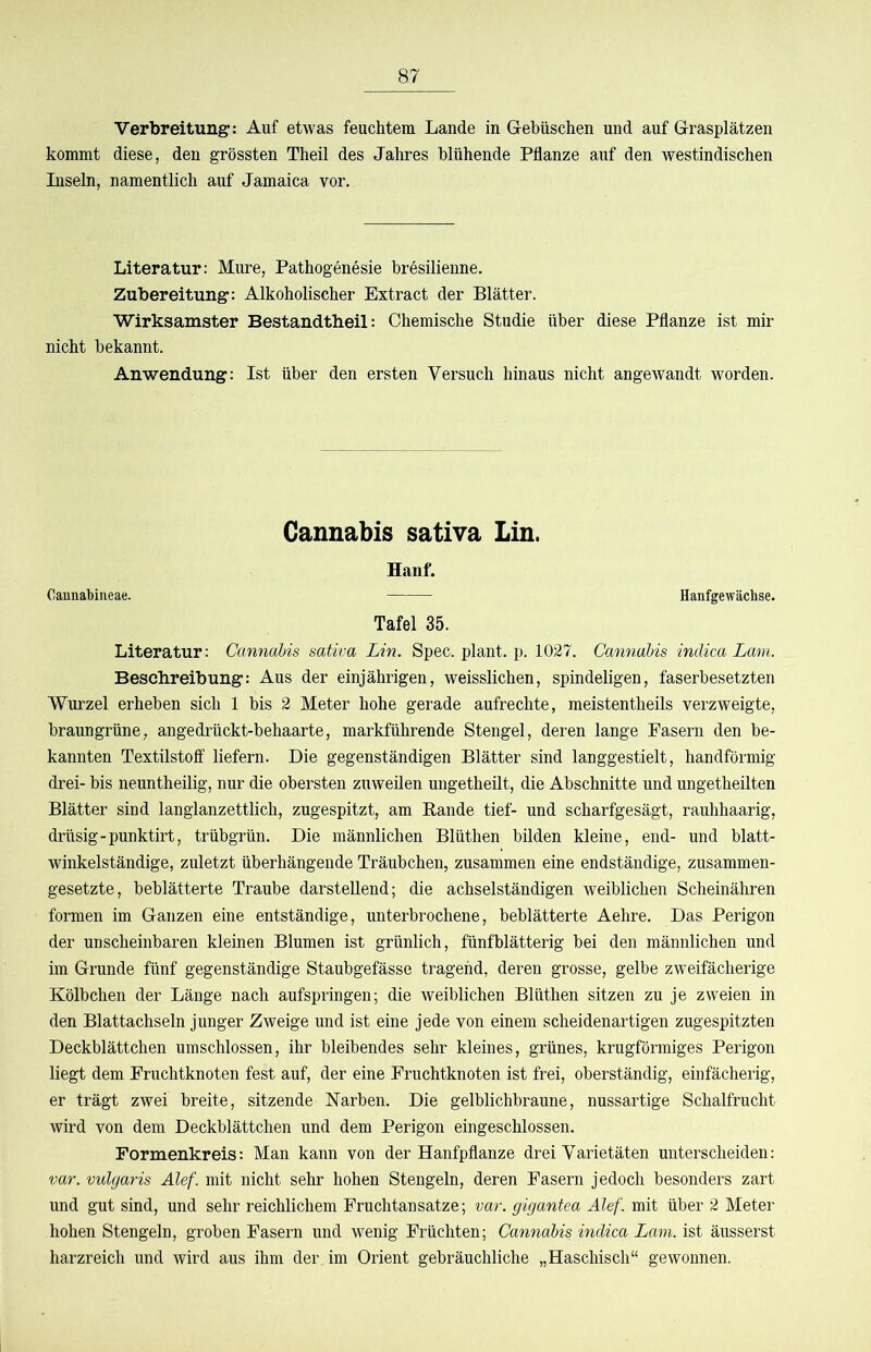 Verbreitung: Auf etwas feucMem Lande in Gebüschen und auf Grasplätzen kommt diese, den grössten Theil des Jahres blühende Pflanze auf den westindischen Liseln, namentlich auf Jamaica vor. Literatur: Mure, Pathogenesie bresilienne. Zubereitung: Alkoholischer Extract der Blätter. Wirksamster Bestandtheil: Chemische Studie über diese Pflanze ist mir nicht bekannt. Anwendung: Ist über den ersten Versuch hinaus nicht angewandt worden. Cannabis sativa Lin. Hanf. Oannabineae. Hanfgewächse. Tafel 35. Literatur: Cannabis sativa Lin. Spec. plant, p. 1027. Cannabis indica Lam. Beschreibung: Aus der einjährigen, weisslichen, spindeligen, faserbesetzten Wurzel erheben sich 1 bis 2 Meter hohe gerade aufrechte, meistentheils verzweigte, braungrüne, angedrückt-behaarte, markführende Stengel, deren lange Fasern den be- kannten Textilstoff liefern. Die gegenständigen Blätter sind langgestielt, handförmig drei- bis neuntheilig, nur die obersten zuweüen ungetheilt, die Abschnitte und ungetheilten Blätter sind langlanzettlich, zugespitzt, am Bande tief- und scharfgesägt, rauhhaarig, drüsig-punktirt, trübgrün. Die männlichen Blüthen bilden kleine, end- und blatt- winkelständige, zuletzt überhängende Träubchen, zusammen eine endständige, zusammen- gesetzte, beblätterte Traube darstellend; die achselständigen weiblichen Scheinähren formen im Ganzen eine entständige, unterbrochene, beblätterte Aehre. Das Perigon der unscheinbaren kleinen Blumen ist grünlich, fünf blätterig bei den männlichen und im Grunde fünf gegenständige Staubgefässe tragend, deren grosse, gelbe zweifächerige Kölbchen der Länge nach aufspringen; die weiblichen Blüthen sitzen zu je zweien in den Blattachseln junger Zweige und ist eine jede von einem scheidenartigen zugespitzten Deckblättchen umschlossen, ihr bleibendes sehr kleines, grünes, krugförraiges Perigon liegt dem Fruchtknoten fest auf, der eine Fruchtknoten ist frei, oberständig, einfächerig, er trägt zwei breite, sitzende Narben. Die gelblichbraune, nussartige Schalfrucht wird von dem Deckblättchen und dem Perigon eingeschlossen. Formenkreis: Man kann von der Hanfpflanze drei Varietäten unterscheiden: var. vulgaris Alef. mit nicht sehr hohen Stengeln, deren Fasern jedoch besonders zart und gut sind, und sehr reichlichem Fruchtansätze; var. gigantea Alef. mit über 2 Meter hohen Stengeln, groben Fasern und wenig Früchten; Cannabis indica Lam. ist äusserst harzreich und wird aus ihm der im Orient gebräuchliche „Haschisch“ gewonnen.