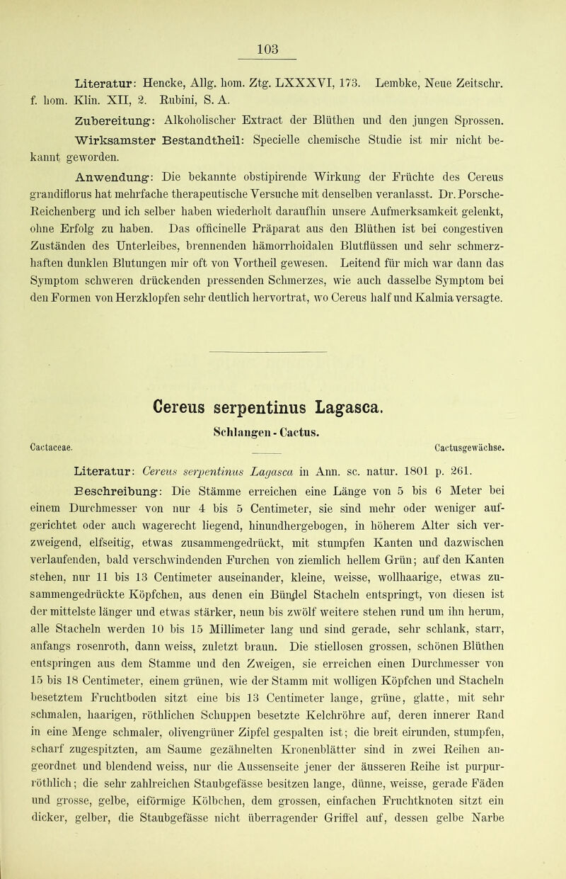 Literatur: Hencke, Allg. liom. Ztg. LXXXVI, 173. Lembke, Neue Zeitschr. f. liom. Klin. XII, 2. Eubini, S. A. Zubereitung: Alkoholischer Extract der Blüthen und den jungen Sprossen. Wirksamster Bestandtheil: Specielle chemische Studie ist mir nicht be- kannt geworden. Anwendung: Die bekannte obstipirende Wirkung der Früchte des Cereus grandiflorus hat mehrfache therapeutische Versuche mit denselben veranlasst. Dr.Porsche- Eeichenberg und ich selber haben wiederholt daraufhin unsere Aufmerksamkeit gelenkt, ohne Erfolg zu haben. Das officinelle Präparat aus den Blüthen ist bei congestiven Zuständen des Unterleibes, brennenden hämorrhoidalen Blutflüssen und sehr schmerz- haften dunklen Blutungen mir oft von Vortheil gewesen. Leitend für mich war dann das Symptom schweren drückenden pressenden Schmerzes, wie auch dasselbe Symptom bei den Formen von Herzklopfen sehr deutlich hervortrat, wo Cereus half und Kalmia versagte. Cereus serpentinus Lagasca. Schlangen - Cactus. Cactaceae. Cactusgewächse, Literatur: Cereus serpentinus Lagasca in Ann. sc. natur. 1801 p. 261. Beschreibung: Die Stämme erreichen eine Länge von 5 bis 6 Meter bei einem Durchmesser von nur 4 bis 5 Centimeter, sie sind mehr oder weniger auf- gerichtet oder auch wagerecht liegend, hinundhergebogen, in höherem Alter sich ver- zweigend, elfseitig, etwas zusammengedrückt, mit stumpfen Kanten und dazwischen verlaufenden, bald verschwindenden Furchen von ziemlich hellem Grün; auf den Kanten stehen, nur 11 bis 13 Centimeter auseinander, kleine, weisse, wollhaarige, etwas zu- sammengedrückte Köpfchen, aus denen ein Bündel Stacheln entspringt, von diesen ist der mittelste länger und etwas stärker, neun bis zwölf weitere stehen rund um ihn herum, alle Stacheln werden 10 bis 15 Millimeter lang und sind gerade, sehr schlank, starr, anfangs rosenroth, dann weiss, zuletzt braun. Die stiellosen grossen, schönen Blüthen entspringen aus dem Stamme und den Zweigen, sie erreichen einen Durchmesser von 15 bis 18 Centimeter, einem grünen, wie der Stamm mit wolligen Köpfchen und Stacheln besetztem Fruchtboden sitzt eine bis 13 Centimeter lange, grüne, glatte, mit sehr schmalen, haarigen, röthlichen Schuppen besetzte Kelchröhre auf, deren innerer Eand in eine Menge schmaler, olivengrüner Zipfel gespalten ist; die breit eirunden, stumpfen, scharf zugespitzten, am Saume gezähnelten Kronenblätter sind in zwei Eeihen an- geordnet und blendend weiss, nur die Aussenseite jener der äusseren Eeihe ist purpur- röthlich; die sehr zahlreichen Staubgefässe besitzen lange, dünne, weisse, gerade Fäden und grosse, gelbe, eiförmige Kölbchen, dem grossen, einfachen Fruchtknoten sitzt ein dicker, gelber, die Staubgefässe nicht überragender Grifiel auf, dessen gelbe Narbe