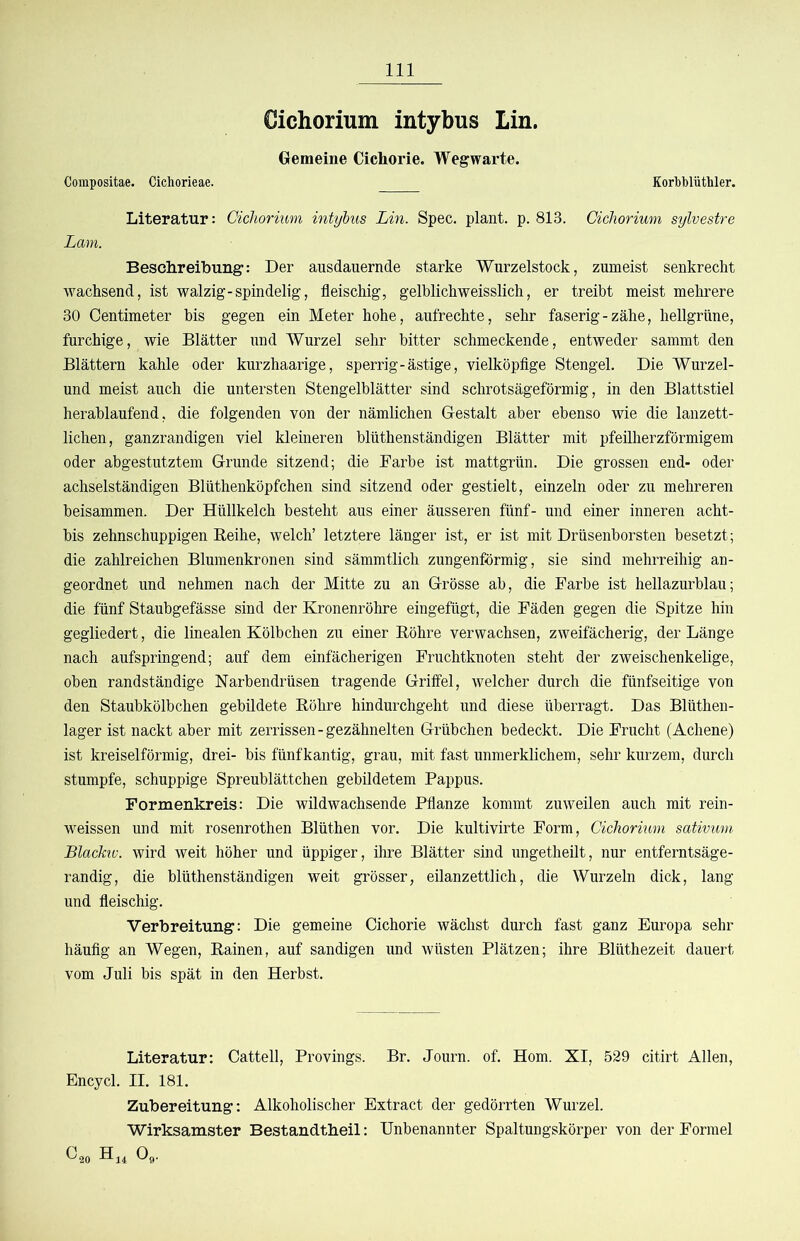 Cichorium intybus Lin. Gemeine Cichorie. Wegwarte. Compositae. Cichorieae. Korlbbliitliler. Literatur: Cichorium intybus Lin. Spec. plant, p. 813. Cichorium sylvestre Lam. Besclireibung: Der ausdauernde starke Wurzelstock, zumeist senkrecht wachsend, ist walzig-spindelig, fleischig, gelhlichweisslich, er treibt meist mehrere 30 Centimeter bis gegen ein Meter hohe, aufrechte, sehr faserig - zähe, hellgrüne, furchige, wie Blätter und Wurzel sehr bitter schmeckende, entweder sammt den Blättern kahle oder kurzhaarige, sperrig-ästige, vielköpflge Stengel. Die Wurzel- und meist auch die untersten Stengelblätter sind schrotsägeförmig, in den Blattstiel herablaufend, die folgenden von der nämlichen G-estalt aber ebenso wie die lanzett- lichen, ganzrandigen viel kleineren blüthenständigen Blätter mit pfeilherzförmigem oder abgestutztem Grunde sitzend; die Farbe ist mattgrün. Die grossen end- oder achselständigen Blüthenköpfchen sind sitzend oder gestielt, einzeln oder zu mehreren beisammen. Der Hüllkelch besteht aus einer äusseren fünf- und einer inneren acht- bis zehnschuppigen Eeihe, welch’ letztere länger ist, er ist mit Drüsenborsten besetzt; die zahlreichen Blumenkronen sind sämmtlich zungenförmig, sie sind mehrreihig an- geordnet und nehmen nach der Mitte zu an Grösse ab, die Farbe ist hellazurblau; die fünf Staubgefässe sind der Kronenröhre eingefügt, die Fäden gegen die Spitze hin gegliedert, die linealen Kölbchen zu einer Eöhre verwachsen, zweifächerig, der Länge nach aufspringend; auf dem einfächerigen Fruchtknoten steht der zweischenkelige, oben randständige Narbendrüsen tragende Griffel, welcher durch die fünfseitige von den Staubkölbchen gebildete Eöhre hindurchgeht und diese überragt. Das Blüthen- lager ist nackt aber mit zerrissen-gezähnelten Grübchen bedeckt. Die Frucht (Achene) ist kreiselförmig, drei- bis fünf kantig, grau, mit fast unmerklichem, sehr kurzem, durch stumpfe, schuppige Spreublättchen gebildetem Pappus. Formenkreis: Die wildwachsende Pflanze kommt zuweilen auch mit rein- weissen und mit rosenrothen Blüthen vor. Die kultivirte Form, Cichorium sativum Blackiv. wird weit höher und üppiger, ihre Blätter sind ungetheilt, nur entfemtsäge- randig, die blüthenständigen weit grösser, eilanzettlich, die Wurzeln dick, lang und fleischig. Verbreitung: Die gemeine Cichorie wächst durch fast ganz Europa sehr häufig an Wegen, Eainen, auf sandigen und wüsten Plätzen; ihre Blüthezeit dauert vom Juli bis spät in den Herbst. Literatur: Catteil, Provings. Br. Journ. of. Hom. XI, 529 citirt Allen, Encycl. II. 181. Zubereitung: Alkoholischer Extract der gedörrten Wurzel. Wirksamster Bestandtbeil: Unbenannter Spaltungskörper von der Formel ^20 Og.