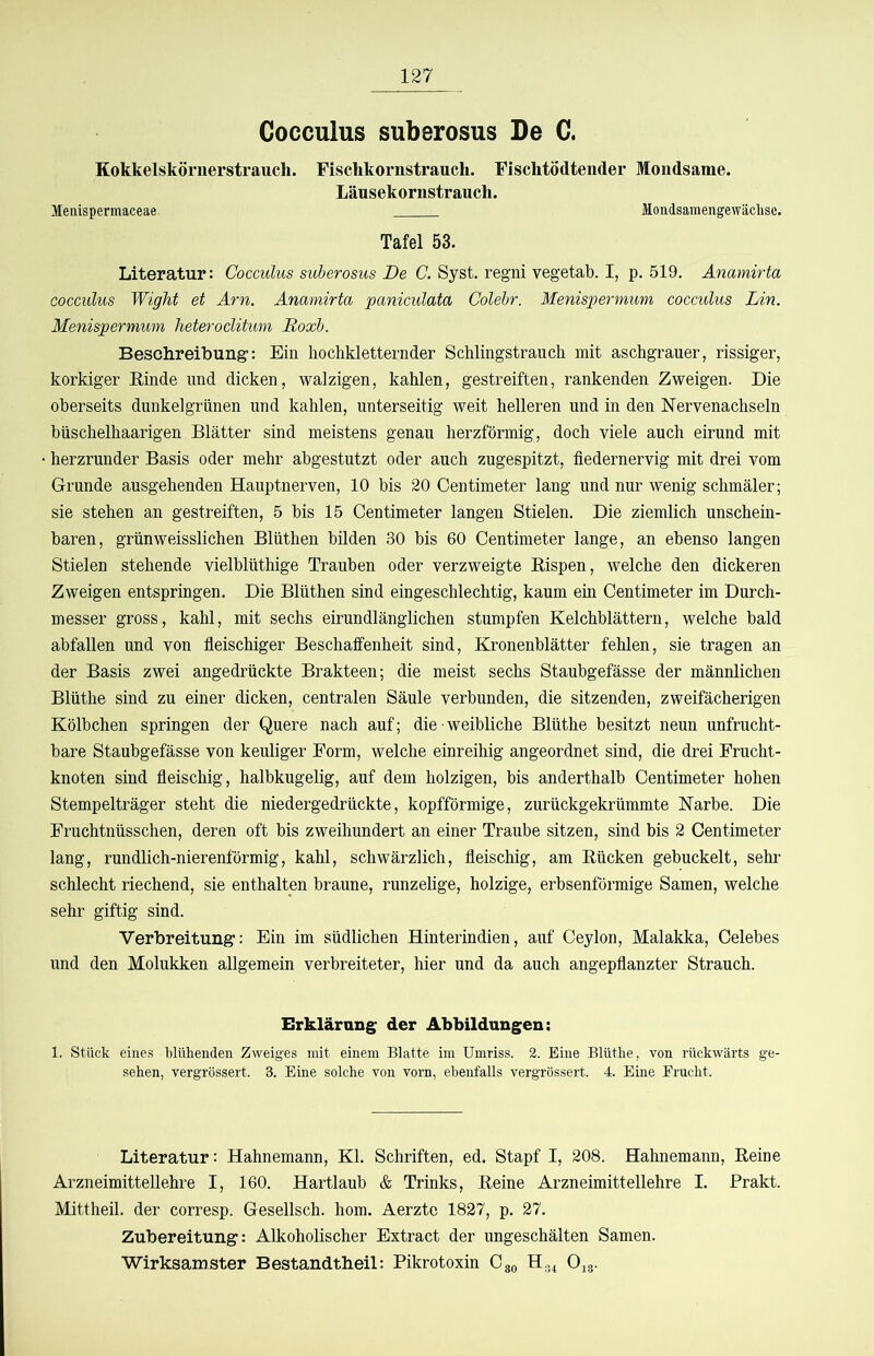 Cocculus suberosus De C. Kokkelskörnerstrauch. Fischkornstrauch. Fischtödtender Mondsame. Läusekornstranch. Menispermaceae. Moadsaraengewäclisc. Tafel 53. Literatur: Cocculus suberosus De C. Syst, regni vegetab. I, p. 519. Änamirta cocculus Wight et Arn. Änamirta paniculata Colebr. Menispermum cocculus Lin. Menispermum heteroclitum Roxb. Beschreibung’: Ein liochkletternder Schlingstrauch, mit aschgrauer, rissiger, korkiger Einde und dicken, walzigen, kahlen, gestreiften, rankenden Zweigen. Die oberseits dunkelgrünen und kahlen, unterseitig weit helleren und in den Nervenachseln büschelhaarigen Blätter sind meistens genau herzförmig, doch viele auch eirund mit herzrunder Basis oder mehr abgestutzt oder auch zugespitzt, fiedernervig mit drei vom Grunde ausgehenden Hauptnerven, 10 bis 20 Centimeter lang und nur wenig schmäler; sie stehen an gestreiften, 5 bis 15 Centimeter langen Stielen. Die ziemlich unschein- baren, grünweisslichen Blüthen bilden 30 bis 60 Centimeter lange, an ebenso langen Stielen stehende vielblüthige Trauben oder verzweigte Eispen, welche den dickeren Zweigen entspringen. Die Blüthen sind eingeschlechtig, kaum ein Centimeter im Durch- messer gross, kahl, mit sechs eirundlänglichen stumpfen Kelchblättern, welche bald abfallen und von fieischiger Beschaffenheit sind, Kronenblätter fehlen, sie tragen an der Basis zwei angedrückte Brakteen; die meist sechs Staubgefässe der männlichen Blüthe sind zu einer dicken, centralen Säule verbunden, die sitzenden, zweifächerigen Kölbchen springen der Quere nach auf; die weibliche Blüthe besitzt neun unfrucht- bare Staubgefässe von keuliger Form, welche einreihig angeordnet sind, die drei Frucht- knoten sind fieischig, halbkugelig, auf dem holzigen, bis anderthalb Centimeter hohen Stempelträger steht die niedergedrückte, kopfförmige, zurückgekrümmte Karbe. Die Fruchtnüsschen, deren oft bis zweihundert an einer Traube sitzen, sind bis 2 Centimeter lang, rundlich-nierenförmig, kahl, schwärzlich, fieischig, am Eücken gebuckelt, sehr schlecht riechend, sie enthalten braune, runzelige, holzige, erbsenförraige Samen, welche sehr giftig sind. Verbreitung: Ein im südlichen Hinterindien, auf Ceylon, Malakka, Celebes und den Molukken allgemein verbreiteter, hier und da auch angepfianzter Strauch. Erklärung der Abbildungen: 1. Stück eines blühenden Zweiges mit einem Blatte im Umriss. 2. Eine Blüthe, von rückwärts ge- sehen, vergrössert. 3. Eine solche von vorn, ebenfalls vergTössert. 4. Eine Frucht. Literatur: Hahnemann, Kl. Schriften, ed. Stapf I, 208. Hahnemann, Eeine Arzneimittellehre I, 160. Hartlaub & Trinks, Eeine Arzneimittellehre I. Prakt. Mittheil, der corresp. Gesellsch. hom. Aerztc 1827, p. 27. Zubereitung: Alkoholischer Extract der ungeschälten Samen. Wirksamster Bestandtheil: Pikrotoxin Cgo H.^ O^g.