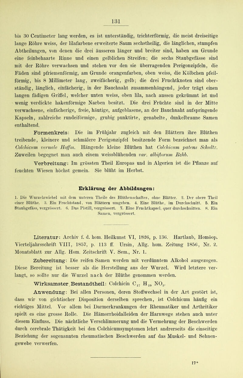 bis 30 Centimeter lang werden, es ist unterständig, trichterförmig, die meist dreiseitige lange ßöhre weiss, der lilafarbene erweiterte Saum sechstheilig, die länglichen, stumpfen Abtheilungen, von denen die drei äusseren länger und breiter sind, haben am Grunde eine feinbehaarte Einne und einen gelblichen Streifen; die sechs Staubgefässe sind mit der Eöhre verwachsen und stehen vor den sie überragenden Perigonzipfeln, die Fäden sind pfriemenförmig, am Grunde orangenfarben, oben weiss, die Kölbchen pfeil- förmig, bis 8 Millimeter lang, zweifächerig, gelb; die drei Fruchtknoten sind ober- ständig, länglich, einfächerig, in der Bauchnaht zusammenhängend, jeder trägt einen langen fädigen Grilfel, welcher unten weiss, oben lila, nach aussen gekrümmt ist und wenig verdickte hakenförmige Narben besitzt. Die drei Früchte sind in der Mitte verwachsene, einfächerige, freie, häutige, aufgeblasene, an der Bauchnaht aufspringende Kapseln, zahlreiche rundeiförmige, grubig punktirte, genabelte, dunkelbraune Samen enthaltend. Formenkreis: Die im Frühjahr zugleich mit den Blättern ihre Blüthen treibende, kleinere und schmälere Perigonzipfel besitzende Form bezeichnet man als Colchicum vernale Hoffm. Hängende kleine Blüthen hat Colchicum patens Schultz. Zuweilen begegnet man auch einem weissblühenden var. albiflorum Rchh. Verbreitung: Im grössten Theil Europas und in Algerien ist die Pflanze auf feuchten Wiesen höchst gemein. Sie blüht im Herbst. Erklärung der Abbildungen: 1. Die Wurzelzwiebel mit dem unteren Tlieile des Blüthenschaftes, ohne Blätter. 2. Der obere Theil einer Blüthe. 3. Ein Fruchtstand, von Blättern umgeben. 4. Eine Blüthe, im Durchschnitt. 5. Ein Staubgefäss, vergrössert. 6. Das Pistill, vergrössert. 7. Eine Fruchtkapsel, quer durchschnitten. 8. Ein Samen, vergrössert. Literatur: Archiv f. d. hom. Heilkunst VI, 1826, p. 136. Hartlaub, Homöop. Vierteljahrsschrift VIII, 1857, p. 113 if. Ursin, Allg. hom. Zeitung 1856, Nr. 2. Monatsblatt zur Allg. Hom. Zeitschrift V. Sem., Nr. 1. Zubereitung: Die reifen Samen werden mit verdünntem Alkohol ausgezogen. Diese Bereitung ist besser als die Herstellung aus der Wurzel. Wird letztere ver- langt, so sollte nur die Wurzel nach der Blüthe genommen werden. Wirksamster.Bestandtheil: Colchicin C^, H^g NO,,. Anwendung: Bei allen Personen, deren Stoffwechsel in der Art gestört ist, dass wir von gichtischer Disposition derselben sprechen, ist Colchicum häufig ein •richtiges Mittel. Vor allem bei Darmerkrankungen der Eheumatiker und Arthritiker spielt es eine grosse Eolle. Die Hämorrhoidalleiden der Harnwege stehen auch unter diesem Einfluss. Die nächtliche Verschlimmerung und die Vermehrung der Beschwerden durch cerebrale Thätigkeit bei den Colchicumsymptomen lehrt andrerseits die einseitige Beziehung der sogenannten rheumatischen Beschwerden auf das Muskel- und Sehnen- gewebe verwerfen. 17-