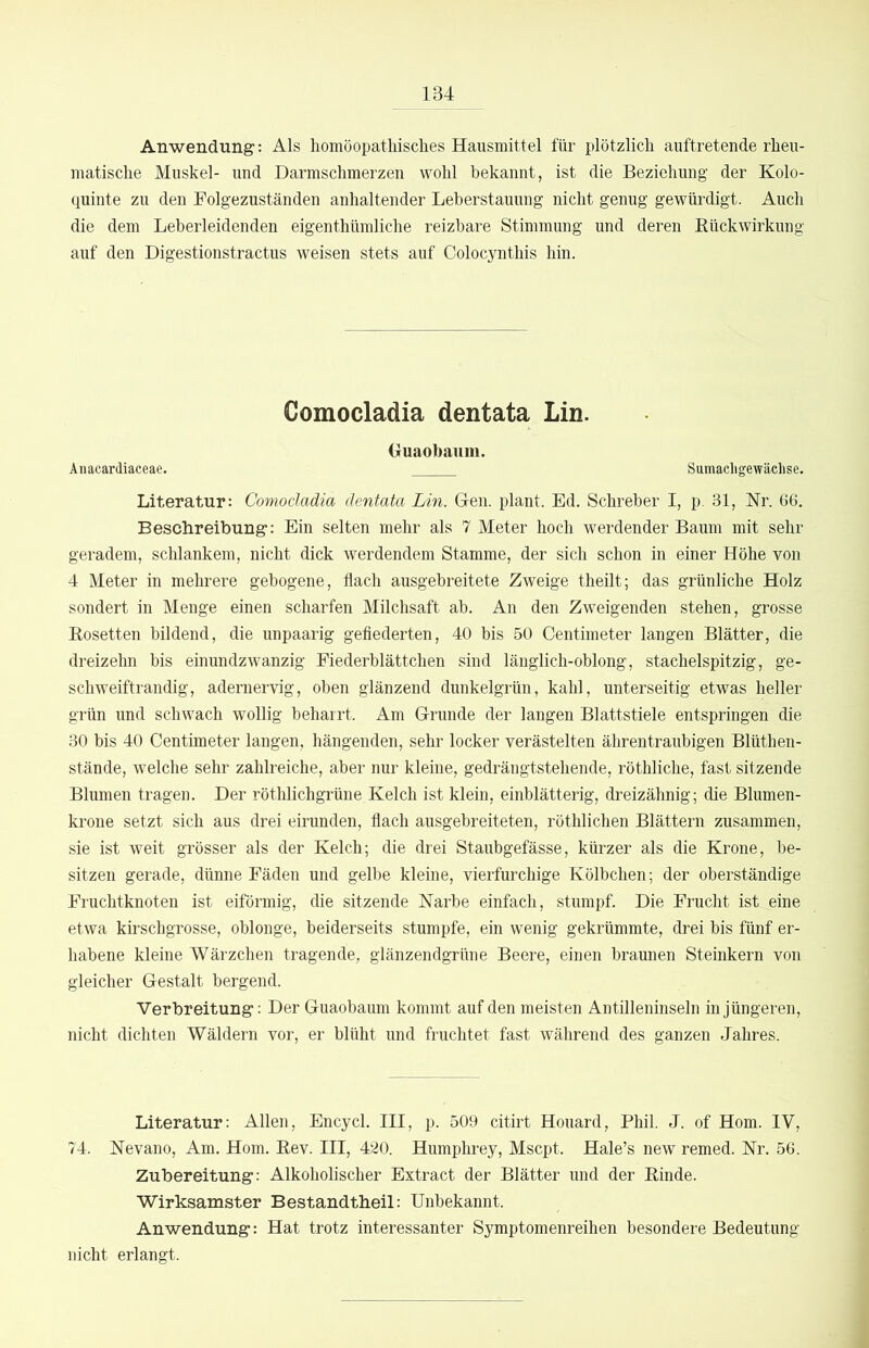 Anwendung: Als homöopathisches Hausmittel für plötzlich auftretende rheu- matische Muskel- und Darmschmerzen wohl bekannt, ist die Beziehung der Kolo- quinte zu den Folgezuständen anhaltender Leherstauung nicht genug gewürdigt. Auch die dem Leberleidenden eigenthümliche reizbare Stimmung und deren Eückwirkung auf den Digestionstractus weisen stets auf Colocynthis hin. Comocladia dentata Lin. Ouaobaum. Auacardiaceae. Samacligewächse. Literatur: Comocladia dentata Lin. G-en. plant. Ed. Schreber I, p. 31, Kr. 66. Besclireibung: Ein selten mehr als 7 Meter hoch werdender Baum mit sehr geradem, schlankem, nicht dick werdendem Stamme, der sich schon in einer Höhe von 4 Meter in mehrere gebogene, flach ausgebreitete Zweige theilt; das grünliche Holz sondert in Menge einen scharfen Milchsaft ab. An den Zweigenden stehen, grosse Rosetten bildend, die unpaarig gefiederten, 40 bis 50 Centimeter langen Blätter, die dreizehn bis einundzwanzig Fiederblättchen sind länglich-oblong, stachelspitzig, ge- schweiftrandig, adernervig, oben glänzend dunkelgrün, kahl, unterseitig etwas heller grün und schwach wollig beharrt. Am Grunde der langen Blattstiele entspringen die 30 bis 40 Centimeter langen, hängenden, sehr locker verästelten ährentraubigen Blüthen- stände, welche sehr zahlreiche, aber nur kleine, gedrängtstehende, röthliche, fast sitzende Blumen tragen. Der rötlilichgrüne Kelch ist klein, einblätterig, dreizähnig; die Blumen- krone setzt sich aus drei eirunden, flach ausgebreiteten, röthlichen Blättern zusammen, sie ist weit grösser als der Kelch; die drei Staubgefässe, kürzer als die Krone, be- sitzen gerade, dünne Fäden und gelbe kleine, vierfurchige Kölbchen; der oberständige Fruchtknoten ist eiförmig, die sitzende Karbe einfach, stumpf. Die Frucht ist eine etwa kirschgrosse, oblonge, beiderseits stumpfe, ein wenig gekrümmte, drei bis fünf er- habene kleine Wärzchen tragende, glänzendgrüne Beere, einen braunen Steinkern von gleicher Gestalt bergend. Verbreitung: Der Guaobaum kommt auf den meisten Antilleninseln in jüngeren, nicht dichten Wäldern vor, er blüht und fruchtet fast während des ganzen Jahres. Literatur: Allen, Encycl. III, p. 509 citirt Houard, Phil. J. of Hom. IV, 74. Kevano, Am. Hom. Rev. III, 420. Humphrey, Mscpt. Hale’s new remed. Kr. 56. Zubereitung: Alkoholischer Extract der Blätter und der Rinde. Wirksamster Bestandtheil: Unbekannt. Anwendung: Hat trotz interessanter Symptomenreihen besondere Bedeutung nicht erlangt.