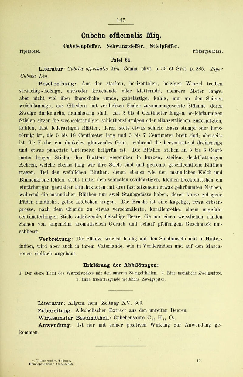 Gubeba oMcinalis Miq. Cubebenpfelfer. Schwanzpfeffer. Stielpfeffer. Piperaceae. Pfeffergewächse. Tafel 64. Literatur: Cuheba officinalis Miq. Comm. phyt. p. 33 et Syst. p. 285. Piper Cubeba Lin. Beschreibung-: Aus der starken, horizontalen, holzigen Wurzel treiben strauchig - holzige, entweder kriechende oder kletternde, mehrere Meter lange, aber nicht viel über fingerdicke runde, gabelästige, kahle, nur an den Spitzen weichflaumige, aus Gliedern mit verdickten Enden zusammengesetzte Stämme, deren Zweige dunkelgrün, flaumhaarig sind. An 2 bis 4 Centimeter langen, weichflaumigen Stielen sitzen die wechselständigen schiefherzförmigen oder eilanzettlichen, zugespitzten, kahlen, fast lederartigen Blätter, deren stets etwas schiefe Basis stumpf oder herz- förmig ist, die 5 bis 18 Centimeter lang und 3 bis 7 Centimeter breit sind; oberseits ist die Farbe ein dunkeles glänzendes Grün, während die hervortretend dreinervige und etwas punktirte Unterseite hellgrün ist. Die Blüthen stehen an 3 bis 5 Centi- meter langen Stielen den Blättern gegenüber in kurzen, steifen, deckblätterigen Aehren, welche ebenso lang wie ihre Stiele sind und getrennt geschlechtliche Blüthen tragen. Bei den weiblichen Blüthen, denen ebenso wie den männlichen Kelch und Blumenkrone fehlen, steht hinter dem schmalen schildartigen, kleinen Deckblättchen ein einfächeriger gestielter Fruchtknoten mit drei fast sitzenden etwas gekrümmten Karben, während die männlichen Blüthen nur zwei Staubgefässe haben, deren kurze gebogene Fäden rundliche, gelbe Kölbchen tragen. Die Frucht ist eine kugelige, etwa erbsen- grosse, nach dem Grunde zu etwas verschmälerte, korallenrothe, einem ungefähr centimeteiiangen Stiele aufsitzende, fleischige Beere, die nur einen weisslichen, runden Samen von angenehm aromatischem Geruch und scharf pfefferigem Geschmack um- schliesst. Verbreitung: Die Pflanze wächst häufig auf den Sundainseln und in Hinter- indien, wird aber auch in ihrem Vaterlande, wie in Vorderindien und auf den Masca- renen vielfach angebaut. Erklärung der Abbildungen: 1. Der obere Theil cle.s Wurzelstockes mit den unteren Stengeltheilen. 2. Eine männliche Zweigspitze. 3. Eine fruchttragende weibliche Zweigspitze. Literatur: Allgem. hom. Zeitung XV, 369. Zubereitung: Alkoholischer Extract aus den unreifen Beeren. Wirksamster Bestandtheil: Cubebensäure 0,. Anwendung: Ist nur mit seiner positiven Wirkung zur Anwendung ge- kommen. rs und v. Thümen, 19 p. Viller