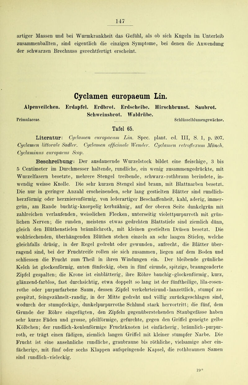artiger Massen und bei Wurmkrankheit das Gefühl, als ob sich Kugeln im Unterleib zusammenballten, sind eigentlich die einzigen Symptome, bei denen die Anwendung der schwarzen Brechnuss gerechtfertigt erscheint. Cyclamen europaeum Lin. Alpenveilchen. Erdapfel. Erdbrot. Erdsclieibe. Hirschbrnnst. Saubrot. Schweinsbrot. Waldrnbe. Primulaceae. _ _ Sdilüsselblumengewächse. Tafel 65. Literatur: Cyclamen europaeum Lin. Spec. plant, ed. III, S. 1, p. 207. Cyclamen Uttorale Sadler. Cyclamen ofßcinale Wender. Cyclamen retroflexum Mönch. Cyclaminus europaeus Scop. Beschreibung: Der ausdauernde Wurzelstock bildet eine fleischige, 3 bis 5 Centimeter im Durchmesser haltende, rundliche, ein wenig zusammengedrückte, mit Wurzelfasern besetzte, mehrere Stengel treibende, schwarz - rothbraun berindete, in- wendig weisse Knolle. Die sehr kurzen Stengel sind braun, mit Blattnarben besetzt. Die nur in geringer Anzahl erscheinenden, sehr lang gestielten Blätter sind rundlich- herzförmig oder herznierenförmig, von lederartiger Beschaifenheit, kahl, aderig, immer- grün, am Bande buchtig-knorpelig kerbzähnig, auf der oberen Seite dunkelgrün mit zahlreichen verlaufenden, weisslichen Eiecken, unterseitig violettpurpurroth mit grün- lichen Nerven; die runden, meistens etwas gedrehten Blattstiele sind ziemlich dünn, gleich den Blüthenstielen bräunlichroth, mit kleinen gestielten Drüsen besetzt. Die wohlriechenden, überhängenden Blüthen stehen einzeln an sehr langen Stielen, welche gleichfalls drüsig, in der Begel gedreht oder gewunden, aufrecht, die Blätter über- ragend sind, bei der Eruchtreife rollen sie sich zusammen, liegen auf dem Boden und schliessen die Erucht zum Theil in ihren Windungen ein. Der bleibende grünliche Kelch ist glockenförmig, unten fünfeckig, oben in fünf eirunde, spitzige, braungeaderte Zipfel gespalten; die Krone ist einblätterig, ihre Röhre bauchig-glockenförmig, kurz, glänzend-farblos, fast durchsichtig, etwa doppelt so lang ist der fünftheilige, lila-rosen- rothe oder purpurfarbene Saum, dessen Zipfel verkehrteirund - lanzettlich, stumpf zu- gespitzt, feingezähnelt-randig, in der Mitte gedreht und völlig zurückgeschlagen sind, wodurch der stumpfeckige, dunkelpurpurrothe Schlund stark hervortritt; die fünf, dem Grunde der Röhre eingefügten, den Zipfeln gegenüberstehenden Staubgefässe haben sehr kurze Eäden und grosse, pfeilförmige, gefurchte, gegen den Griffel geneigte gelbe Kölbchen; der rundlich-keulenförmige Eruchtknoten ist einfächerig, bräunlich-purpur- roth, er trägt einen fädigen, ziemlich langen Griffel mit kleiner stumpfer Narbe. Die Erucht ist eine ansehnliche rundliche, graubraune bis röthliche, vielsamige aber ein- fächerige, mit fünf oder sechs Klappen aufspringende Kapsel, die rothbraunen Samen sind rundlich - vieleckig. 19*