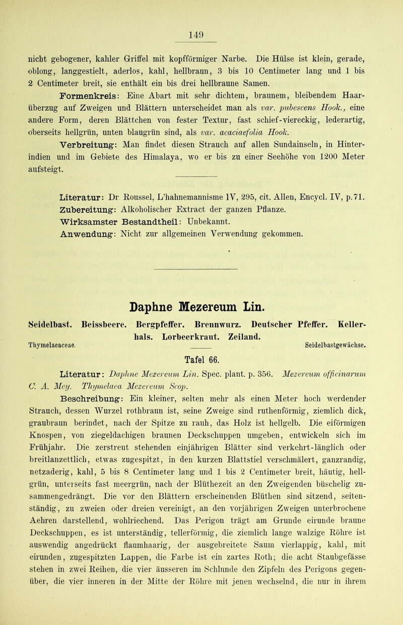 nicht gebogener, kahler Griffel mit kopfförmiger Narbe. Die Hülse ist klein, gerade, oblong, langgestielt, aderlos, kahl, hellbraun, 3 bis 10 Centimeter lang und 1 bis 2 Centimeter breit, sie enthält ein bis drei hellbraune Samen. Formenkreis: Eine Abart mit sehr dichtem, braunem, bleibendem Haar- überzug auf Zweigen und Blättern unterscheidet man als var. pubescens Hook., eine andere Form, deren Blättchen von fester Textur, fast schief-viereckig, lederartig, oberseits hellgrün, unten blaugrün sind, als var. acaciaefolia Hook. Verbreitung: Man findet diesen Strauch auf allen Sundainseln, in Hinter- indien und im Gebiete des Himalaja, wo er bis zu einer Seehöhe von 1200 Meter aufsteigt. Literatur: Dr Boussel, L’hahnemannisme IV, 295, cit. Allen, Encycl. IV, p.71. Zubereitung: Alkoholischer Extract der ganzen Pfianze. Wirksamster Bestandtheil: Unbekannt. Anwendung: Nicht zur allgemeinen Verwendung gekommen. Daphne Mezereum Lin. Seidelbast. Beissbeere. Bergpfeffer. Brennwiirz. Deutscher Pfeffer. Keller- hals. Lorbeer kraut. Zeiland. Thymelaeaceae. Seidelbastgewächse. Tafel 66. Literatur: Daphne Mezereum Lin. Spec. plant, p. 356. Mezereum officinarum C. A. Mey. Thymelaea Mezereum Scop. Beschreibung: Ein kleiner, selten mehr als einen Meter hoch werdender Strauch, dessen Wurzel rothbrauu ist, seine Zweige sind ruthenförmig, ziemlich dick, graubraun berindet, nach der Spitze zu rauh, das Holz ist hellgelb. Die eiförmigen Knospen, von ziegeldachigen braunen Deckschuppen umgeben, entwickeln sich im Frühjahr. Die zerstreut stehenden einjährigen Blätter sind verkehrt-länglich oder breitlanzettlich, etwas zugespitzt, in den kurzen Blattstiel verschmälert, ganzrandig, netzaderig, kahl, 5 bis 8 Centimeter lang und 1 bis 2 Centimeter breit, häutig, hell- grün, unterseits fast meergrün, nach der Blüthezeit an den Zweigenden büschelig zu- sammengedrängt. Die vor den Blättern erscheinenden Blüthen sind sitzend, seiten- ständig, zu zweien oder dreien vereinigt, an den vorjährigen Zweigen unterbrochene Aehren darstellend, wohlriechend. Das Perigon trägt am Grunde eirunde braune Deckschuppen, es ist unterständig, tellerförmig, die ziemlich lange walzige Köhre ist auswendig angedrückt flaumhaarig, der ausgebreitete Saum vierlappig, kahl, mit eirunden, zugespitzten Lappen, die Farbe ist ein zartes Roth; die acht Staubgefässe stehen in zwei Reihen, die vier äusseren im Schlunde den Zipfeln des Perigons gegen- über, die vier inneren in der Mitte der Röhre mit jenen wechselnd, die nur in ihrem