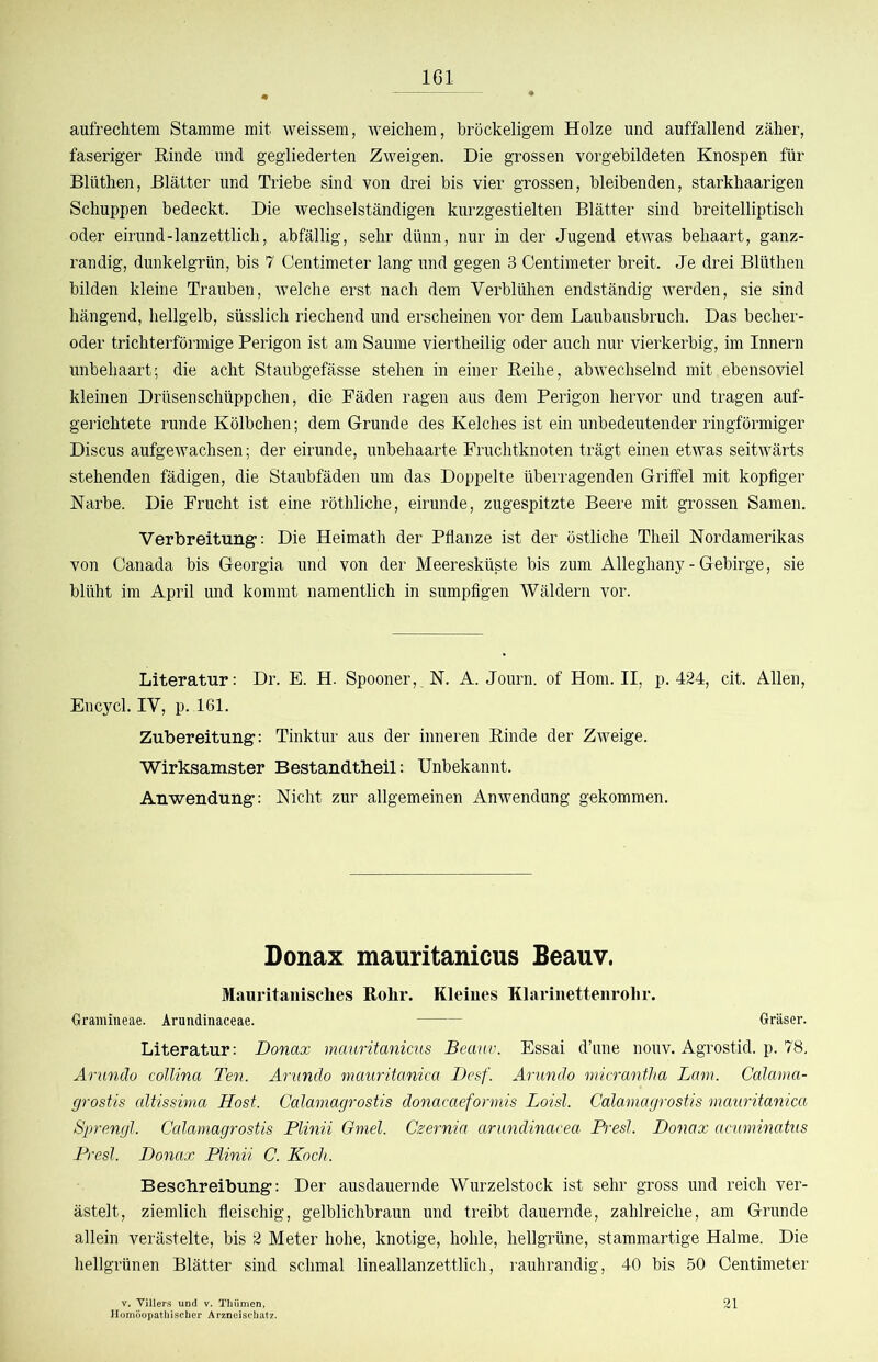 aufrechtem Stamme mit weissem, weichem, bröckeligem Holze und auffallend zäher, faseriger Einde und gegliederten Zweigen. Die grossen vorgebildeten Knospen für Blüthen, Blätter und Triebe sind von drei bis vier grossen, bleibenden, starkhaarigen Schuppen bedeckt. Die wechselständigen kurzgestielten Blätter sind breitelliptisch oder eirund-lanzettlich, abfällig, sehr dünn, nur in der Jugend etwas behaart, ganz- randig, dunkelgrün, bis 7 Centimeter lang und gegen 3 Centimeter breit. Je drei Blüthen bilden kleine Trauben, welche erst nach dem Verblühen endständig werden, sie sind hängend, hellgelb, süsslich riechend und erscheinen vor dem Laubausbruch. Das becher- oder trichterförmige Perigon ist am Saume viertheilig oder auch nur vierkerbig, im Innern unbehaart; die acht Staubgefässe stehen in einer Eeihe, abwechselnd mit ebensoviel kleinen Drüsenschüppchen, die Fäden ragen aus dem Perigon hervor und tragen auf- gerichtete runde Kölbchen; dem Grunde des Kelches ist ein unbedeutender ringförmiger Discus aufgewachsen; der eirunde, unbehaarte Fruchtknoten trägt einen etwas seitwärts stehenden fädigen, die Staubfäden um das Doppelte überragenden Griffel mit kopflger Narbe. Die Frucht ist eine röthliche, eirunde, zugespitzte Beere mit grossen Samen. Verbreitung*: Die Heimath der Pflanze ist der östliche Theil Nordamerikas von Oanada bis Georgia und von der Meeresküste bis zum Alleghany - Gebirge, sie blüht im April und kommt namentlich in sumpfigen Wäldern vor. Literatur: Dr. E. H. Spooner,,N. A. Journ. of Horn. II, p. 424, cit. Allen, Encycl. IV, p. 161. Zubereitung*: Tinktur aus der inneren Rinde der Zweige. Wirksamster Bestandtheil: Unbekannt. Anwendung: Nicht zur allgemeinen Anwendung gekommen. Donax mauritanicus Beauv. Mauritanisches Rohr. Kleines Klariiiettenrolii*. Gramineae. Arnndinaceae. Gräser. Literatur: Donax mauritanicus Beauv. Essai d’une nouv. Agrostid. p. 78, Arundo collina Ten. Arundo mauritanica Desf. Arundo micrantha Lam. Calama- grostis cdtissima Host. Calamagrostis donacaeformis Loisl. Calamagrostis mauritanica Sprengt. Calamagrostis Plinii Omel. Czernia arundinacea P-esl. Donax anminatus Brest. Donax Plinii C. Koch. Beschreibung: Der ausdauernde Wurzelstock ist sehr gross und reich ver- ästelt, ziemlich fleischig, gelblichbraun und treibt dauernde, zahlreiche, am Grunde allein verästelte, bis 2 Meter hohe, knotige, hohle, hellgrüne, stammartige Halme. Die hellgrünen Blätter sind schmal lineallanzettlich, rauhrandig, 40 bis 50 Centimeter V. ViUers und v. Thiimen, 21 Homöopathischer Arznoischatr.