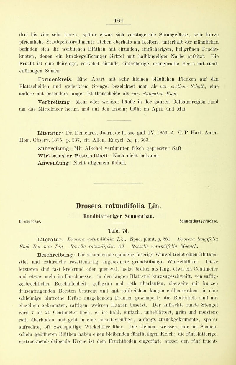 drei bis vier sehr kurze, später etwas sich verlängernde Staubgefässe, sehr kurze pfriemliche Staubgefässrudimente stehen oberhalb am Kolben; unterhalb der männlichen befinden sich die weiblichen Blüthen mit eirunden, einfächerigen, hellgrünen Frucht- knoten, denen ein kurzkegelförmiger Griffel mit halbkugeliger Narbe aufsitzt. Die Frucht ist eine fleischige, verkehrt-einmde, einfäclierige, orangerotlie Beere mit rund- eiförmigen Samen. Formenkreis: Eine Abart mit sehr kleinen bläulichen Flecken auf den Blattscheiden und geflecktem Stengel bezeichnet man als var. creticus Schott, eine andere mit besonders langer Blüthenscheide als var. elongatus Engl. Verbreitung: Mehr oder weniger häufig in der ganzen Oelbaumregion rund um das Mittelmeer herum und auf den Inseln; blüht im April und Mai. Literatur: Dr. Demeures, Journ. de la soc. gall. IV, 1853, 2. C. P. Hart, Amer. Horn. Observ. 1875, p. 537, cit. Allen, Encycl. X, p. 363. Zubereitung: Mit Alkohol verdünnter frisch gepresster Saft. Wirksamster Bestandtheil: Noch nicht bekannt. Anwendung: Nicht allgemein üblich. Drosera rotundifolia Lin. Rundblätteriger Sonnentliau. Droseraceae. Souneutliaiigewächse. Tafel 74. Literatur: Drosera rotundifolia Lin. Spec. plant, p. 281. Drosera longifolia Engl. Bot. non Lin. Rorella rotundifolia All. Rossolis rotundifolia Moench. Beschreibung: Die ausdauernde spindelig-faserige Wurzel treibt einen Blütheii- stiel und zahlreiche rosettenartig angeordnete grundständige Wurzelblätter. Diese letzteren sind fast kreisrund oder queroval, meist breiter als lang, etwa ein Centimeter und etwas mehr im Durchmesser, in den langen Blattstiel kurzzugeschweift, von saftig- zerbrechlicher Beschaffenheit, gelbgrün und roth überlaufen, oberseits mit kurzen drüsentragenden Borsten bestreut und mit zahlreichen langen erdbeerrothen, in eine schleimige blutrothe Drüse ausgehenden Fransen gewimpert; die Blattstiele sind mit einzelnen gekrausten, saftigen, weissen Haaren besetzt. Der aufrechte runde Stengel wird 7 bis 20 Centimeter hoch, er ist kahl, einfach, unbeblättert, grün und meistens roth überlaufen und geht in eine einseitswendige, anfangs zurückgekrümmte, später aufrechte, oft zweispaltige Wickelähre über. Die kleinen, weissen, nur bei Sonnen- schein geöffneten Blüthen haben einen bleibenden fünftheiligen Kelch; die fünfblätterige, vertrocknend-bleibende Krone ist dem Fruchtboden eingefügt; ausser den fünf frucht-