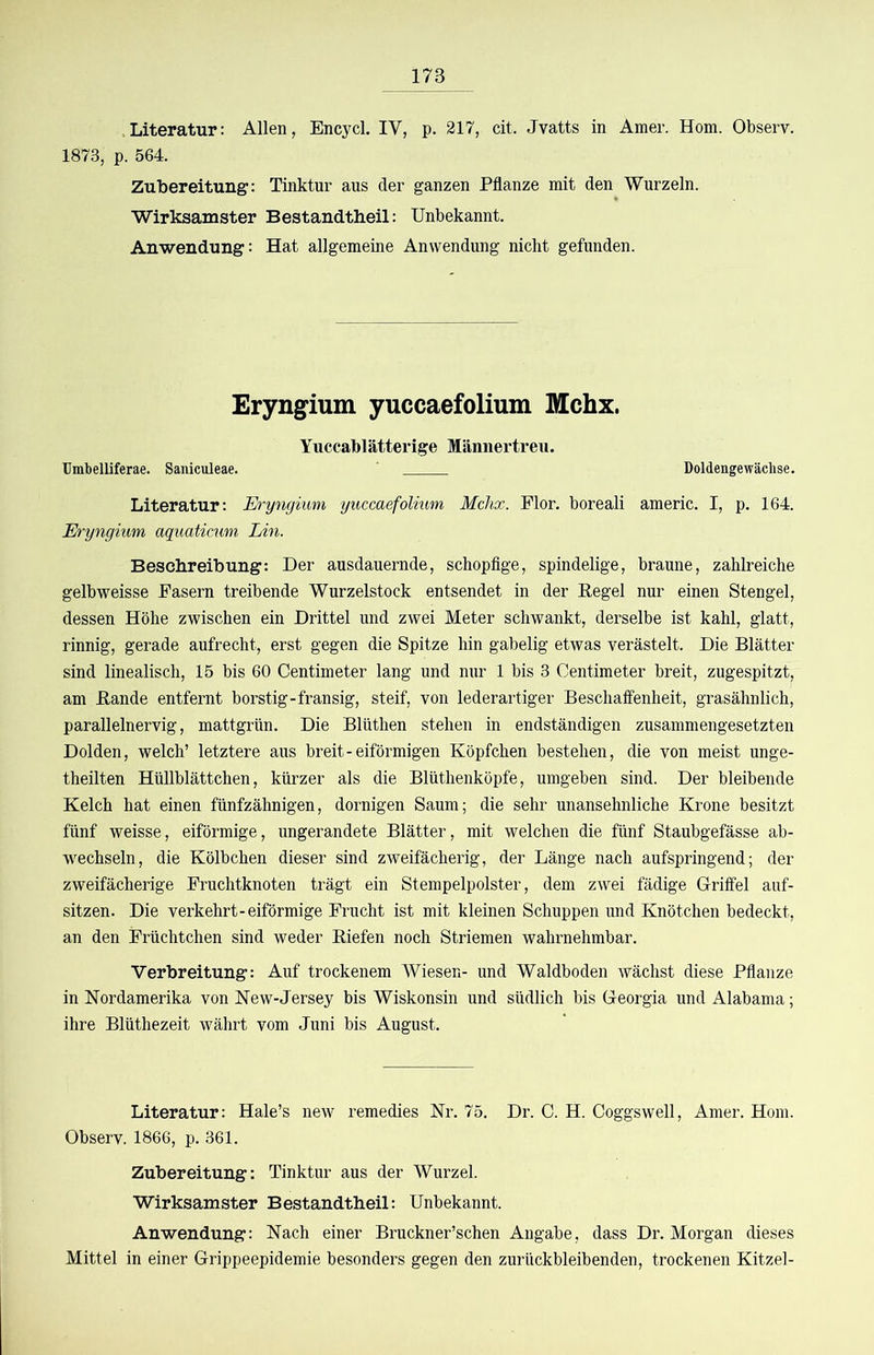 Literatur: Allen, Encycl. IV, p. 217, cit. Jvatts in Amer. Hom. Observ. 1873, p. 564. Zubereitung: Tinktur aus der ganzen Pflanze mit den Wurzeln. Wirksamster Bestandtheil: Unbekannt. Anwendung: Hat allgemeine Anwendung nicht gefunden. Eryngium yuccaefolium Mchx. Yuccablätterige Männertreu. Umbelliferae. Saniculeae. Doldengewächse. Literatur: Eryngium yuccaefolium Mchx. Flor, boreali americ. I, p. 164. Eryngium aquaticum Lin. Beschreibung: Der ausdauernde, schopfige, spindelige, braune, zahlreiche gelbweisse Fasern treibende Wurzelstock entsendet in der Eegel nur einen Stengel, dessen Höhe zwischen ein Drittel und zwei Meter schwankt, derselbe ist kahl, glatt, rinnig, gerade aufrecht, erst gegen die Spitze hin gabelig etwas verästelt. Die Blätter sind linealisch, 15 bis 60 Centimeter lang und nur 1 bis 3 Centimeter breit, zugespitzt, am Bande entfernt borstig-fransig, steif, von lederartiger Beschaffenheit, grasähnlich, parallelnervig, mattgrün. Die Blüthen stehen in endständigen zusammengesetzten Dolden, welch’ letztere aus breit-eiförmigen Köpfchen bestehen, die von meist unge- theilten Hüllblättchen, kürzer als die Blüthenköpfe, umgeben sind. Der bleibende Kelch hat einen fünfzähnigen, dornigen Saum; die sehr unansehnliche Krone besitzt fünf weisse, eiförmige, ungerandete Blätter, mit welchen die fünf Staubgefässe ab- wechseln, die Kölbchen dieser sind zweifächerig, der Länge nach aufspringend; der zweifächerige Fruchtknoten trägt ein Stempelpolster, dem zwei fädige Griffel auf- sitzen. Die verkehrt-eiförmige Frucht ist mit kleinen Schuppen und Knötchen bedeckt, an den Früchtchen sind weder Biefen noch Striemen wahrnehmbar. Verbreitung: Auf trockenem Wiesen- und Waldboden wächst diese Pflanze in Nordamerika von New-Jersey bis Wiskonsin und südlich bis Georgia und Alabama; ihre Blüthezeit währt vom Juni bis August. Literatur: Hale’s new remedies Nr. 75. Dr. C. H. Coggswell, Amer. Hom. Observ. 1866, p. 361. Zubereitung: Tinktur aus der Wurzel. Wirksamster Bestandtheil: Unbekannt. Anwendung: Nach einer Bruckner’schen Angabe, dass Dr. Morgan dieses Mittel in einer Grippeepidemie besonders gegen den zurückbleibenden, trockenen Kitzel-