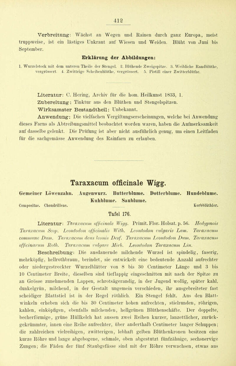 Verbreitung“: Wächst an Wegen und Rainen durch ganz Europa, meist truppweise, ist ein lästiges Unkraut auf Wiesen und Weiden. Blüht von Juni bis September. Erklärung der Abbildungen: 1. Wurzelstock mit dem unteren Theile der Stengel. 2. Blühende Zweigspitze. 3. Weibliche Randhlüthe, vergrössert. 4. Zwittrige Scheihenhlüthe, vergrössert. 5. Pistill einer Zwitterhlüthe. Literatur: C. Hering, Archiv für die hom. Heilkunst 1833, 1. Zubereitung: Tinktur aus den Blüthen und Stengelspitzen. Wirksamster Bestandtheil: Unbekannt. Anwendung; Die vielfachen Vergiftungserscheinungen, welche bei Anwendung dieses Earns als Abtreibungsmittel beobachtet worden waren, haben die Aufmerksamkeit auf dasselbe gelenkt. Die Prüfung ist aber nicht ausführlich genug, um einen Leitfaden für die sachgemässe Anwendung des Rainfarn zu erlauben. Taraxacum officinale Wigg. Uemeiuer Löwenzahn. Augenwurz. Butterblume. Dotterblume. Hundeblume. Kuhblume. Saublume. Compositae. Chondrilleae. Korbblüthler. Tafel 176. Literatur: Taraxacum officinale Wigg. Primit.Elor. Holsat. p. 56. Hedgpnois Taraxacum Scop. Leontodon officinalis With. Leontodon vulgaris Lam. Taraxacum commune Dum. Taraxacum deus leonis Desf. Taraxacum Leontodon Dum. Taraxacum ofßcinarum Both. Taraxacum vulgare Mirh. Leontodon Taraxacum Lin. Beschreibung: Die ausdauernde milchende Wurzel ist spindelig, faserig, mehrköpfig, hellrothbraun, berindet, sie entwickelt eine bedeutende Anzahl aufrechter oder niedergestreckter Wurzelblätter von 8 bis 30 Centimeter Länge und 3 bis 10 Centimeter Breite, dieselben sind tieflappig eingeschnitten mit nach der Spitze zu an Grösse zunehmenden Lappen, schrotsägerandig, in der Jugend wollig, später kahl, dunkelgrün, milchend, in der Gestalt ungemein verschieden, ihr ausgebreiteter fast scheidiger Blattstiel ist in der Regel röthlich. Ein Stengel fehlt. Aus den Blatt- winkeln erheben sich die bis 30 Centimeter hohen aufrechten, stielrunden, rührigen, kahlen, einköpfigen, ebenfalls milchenden, hellgrünen Blüthenschäfte. Der doppelte, becherförmige, grüne Hüllkelch hat aussen zwei Reihen kurzer, lauzettlicher, zurück- gekrümmter, innen eine Reihe aufrechter, über anderthalb Centimeter langer Schuppen; die zahlreichen vielreihigen, zwitterigen, lebhaft gelben Blüthenkronen besitzen eine kurze Röhre und lange abgebogene, schmale, oben abgestutzt fünfzähnige, sechsnervige Zungen; die Eäden der fünf Staubgefässe sind mit der Röhre verwachsen, etwas aus