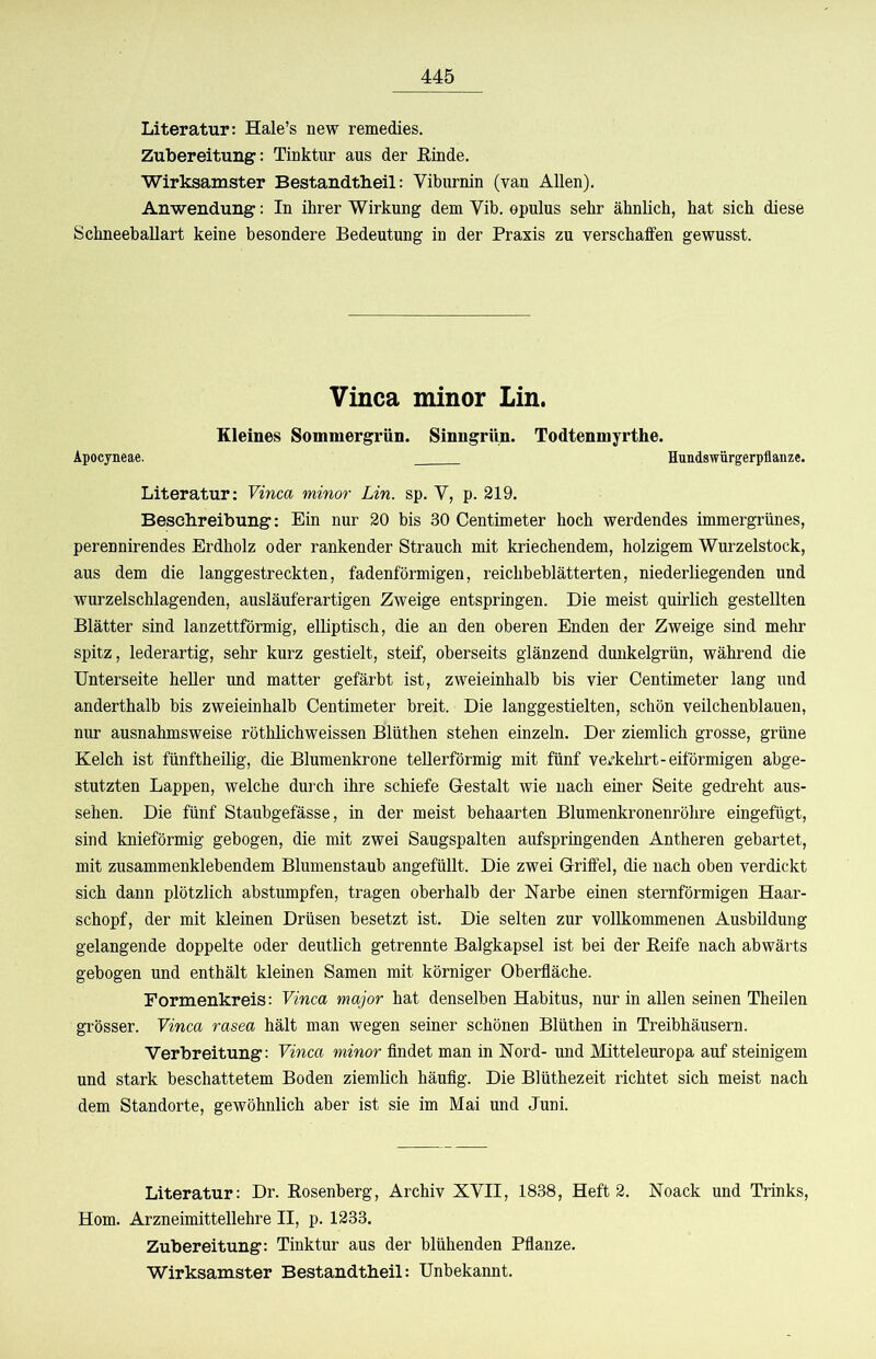 Literatur: Hale’s new remedies. Zubereitung: Tinktur aus der Einde. Wirksamster Bestandtbeil: Viburnin (van Allen). Anwendung: In ihrer Wirkung dem Vib. epulus sehr ähnlich, hat sich diese Schneeballart keine besondere Bedeutung in der Praxis zu verschaffen gewusst. Vinca minor Lin. Kleines Sommergrün. Sinngrün. Todtenmyrthe. Apocyneae. Huudswärgerpflanze. Literatur: Vinca minor Lin. sp. V, p. 219. Beschreibung: Ein nur 20 bis 30 Centimeter hoch werdendes immergrünes, perennirendes Erdholz oder rankender Strauch mit kriechendem, holzigem Wurzelstock, aus dem die langgestreckten, fadenförmigen, reichbeblätterten, niederliegenden und wurzelschlagenden, ausläuferartigen Zweige entspringen. Die meist quirlich gestellten Blätter sind lanzettförmig, elliptisch, die an den oberen Enden der Zweige sind mehr spitz, lederartig, sehr kurz gestielt, steif, oberseits glänzend dunkelgrün, während die Unterseite heller und matter gefärbt ist, zweieinhalb bis vier Centimeter lang und anderthalb bis zweieinhalb Centimeter breit. Die langgestielten, schön veilchenblauen, nur ausnahmsweise röthlichweissen Blüthen stehen einzeln. Der ziemlich grosse, grüne Kelch ist fünftheilig, die Blumenkrone tellerförmig mit fünf verehrt-eiförmigen abge- stutzten Lappen, welche durch ihre schiefe Gestalt wie nach einer Seite gedreht aus- sehen. Die fünf Staubgefässe, in der meist behaarten Blumenkronenröhre eingefügt, sind knieförmig gebogen, die mit zwei Saugspalten aufspringenden Antheren gebartet, mit zusammenklebendem Blumenstaub angefüllt. Die zwei Griffel, die nach oben verdickt sich dann plötzlich abstumpfen, tragen oberhalb der Narbe einen sternförmigen Haar- schopf, der mit kleinen Drüsen besetzt ist. Die selten zur vollkommenen Ausbildung gelangende doppelte oder deutlich getrennte Balgkapsel ist bei der Eeife nach abwärts gebogen und enthält kleinen Samen mit körniger Oberfläche. Formenkreis: Vinca major hat denselben Habitus, nur in allen seinen Theilen grösser. Vinca rasea hält man wegen seiner schönen Blüthen in Treibhäusern. Verbreitung: Vinca minor flndet man in Nord- und Mitteleuropa auf steinigem und stark beschattetem Boden ziemlich häufig. Die Blüthezeit richtet sich meist nach dem Standorte, gewöhnlich aber ist sie im Mai und Juni. Literatur: Dr. Eosenberg, Archiv XVII, 1838, Heft 2. Noack und Trinks, Horn. Arzneimittellehre II, p. 1233. Zubereitung: Tinktur aus der blühenden Pflanze. Wirksamster Bestandtbeil: Unbekannt.