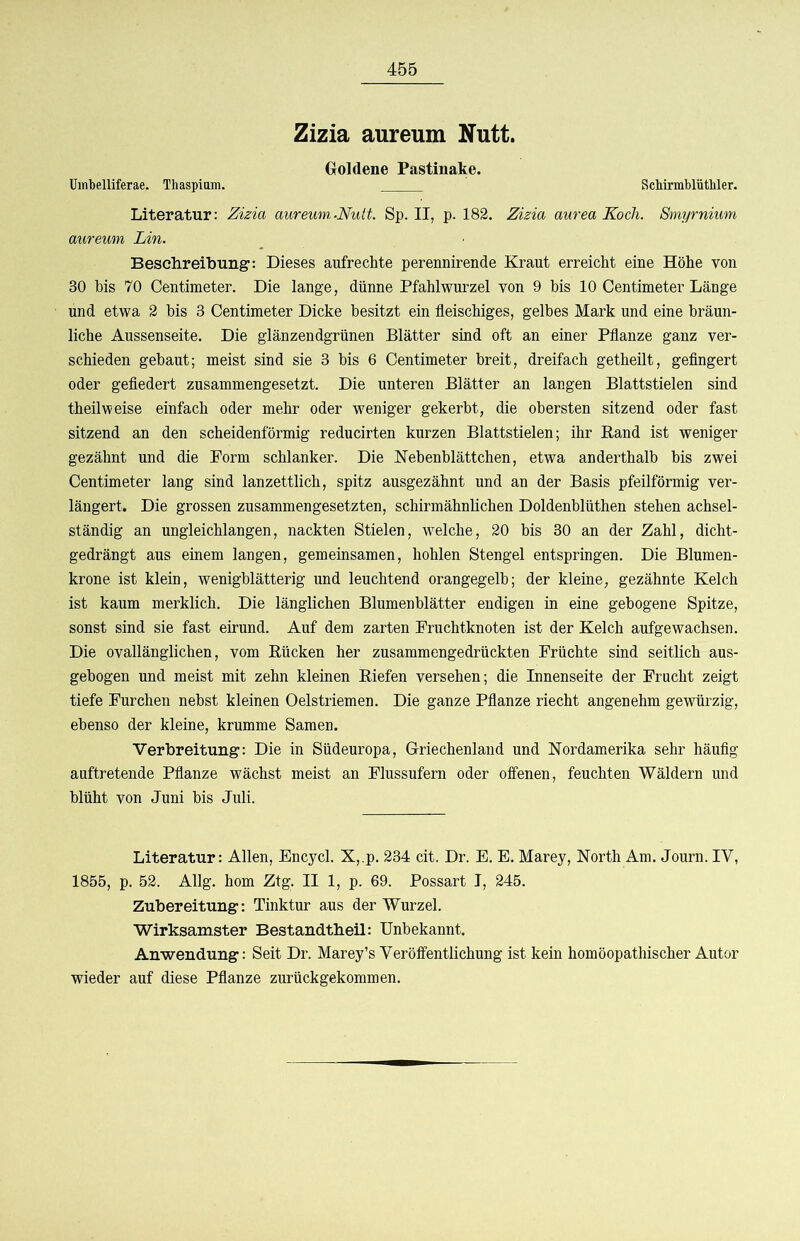 Zizia aureum Nutt. Goldene Pastinake. Uinbelliferae. Thaspiam. ScMrmblüthler. Literatur: Zizia aureum,-Niiit. Sp. II, p. 182. Zizia aurea Koch. Smyrnium aureum Lin. Beselireibung: Dieses aufrechte perennirende Kraut erreicht eine Höhe von 30 bis 70 Centimeter. Die lange, dünne Pfahlwurzel von 9 bis 10 Centimeter Länge und etwa 2 bis 3 Centimeter Dicke besitzt ein fleischiges, gelbes Mark und eine bräun- liche Aussenseite. Die glänzendgrünen Blätter sind oft an einer Pflanze ganz ver- schieden gebaut; meist sind sie 3 bis 6 Centimeter breit, dreifach getheilt, geflngert oder gefledert zusammengesetzt. Die unteren Blätter an langen Blattstielen sind theilweise einfach oder mehr oder weniger gekerbt, die obersten sitzend oder fast sitzend an den scheidenförmig reducirten kurzen Blattstielen; ihr Band ist weniger gezähnt und die Form schlanker. Die Kebenblättchen, etwa anderthalb bis zwei Centimeter lang sind lanzettlich, spitz ausgezähnt und an der Basis pfeilförmig ver- längert. Die grossen zusammengesetzten, schirmähnlichen Doldenblüthen stehen achsel- ständig an ungleichlangen, nackten Stielen, welche, 20 bis 30 an der Zahl, dicht- gedrängt aus einem langen, gemeinsamen, hohlen Stengel entspringen. Die Blumen- krone ist klein, wenigblätterig und leuchtend orangegelb; der kleine, gezähnte Kelch ist kaum merklich. Die länglichen Blumenblätter endigen in eine gebogene Spitze, sonst sind sie fast eirund. Auf dem zarten Fruchtknoten ist der Kelch aufgewachsen. Die ovallänglichen, vom Bücken her zusammengedrückten Früchte sind seitlich aus- gebogen und meist mit zehn kleinen Biefen versehen; die Innenseite der Frucht zeigt tiefe Furchen nebst kleinen Oelstriemen. Die ganze Pflanze riecht angenehm gewürzig, ebenso der kleine, krumme Samen. Verbreitung: Die in Südeuropa, Griechenland und Nordamerika sehr häuflg auftretende Pflanze wächst meist an Flussufern oder offenen, feuchten Wäldern und blüht von Juni bis Juli. Literatur: Allen, Encycl. X,.p. 234 cit. Dr. E. E. Marey, North Am. Journ. IV, 1855, p. 52. Allg. hom Ztg. II 1, p. 69. Possart I, 245. Zubereitung: Tinktur aus der Wurzel. Wirksamster Bestandtheil: Unbekannt. Anwendung: Seit Dr. Marey’s Veröffentlichung ist kein homöopathischer Autor wieder auf diese Pflanze zurückgekommen.