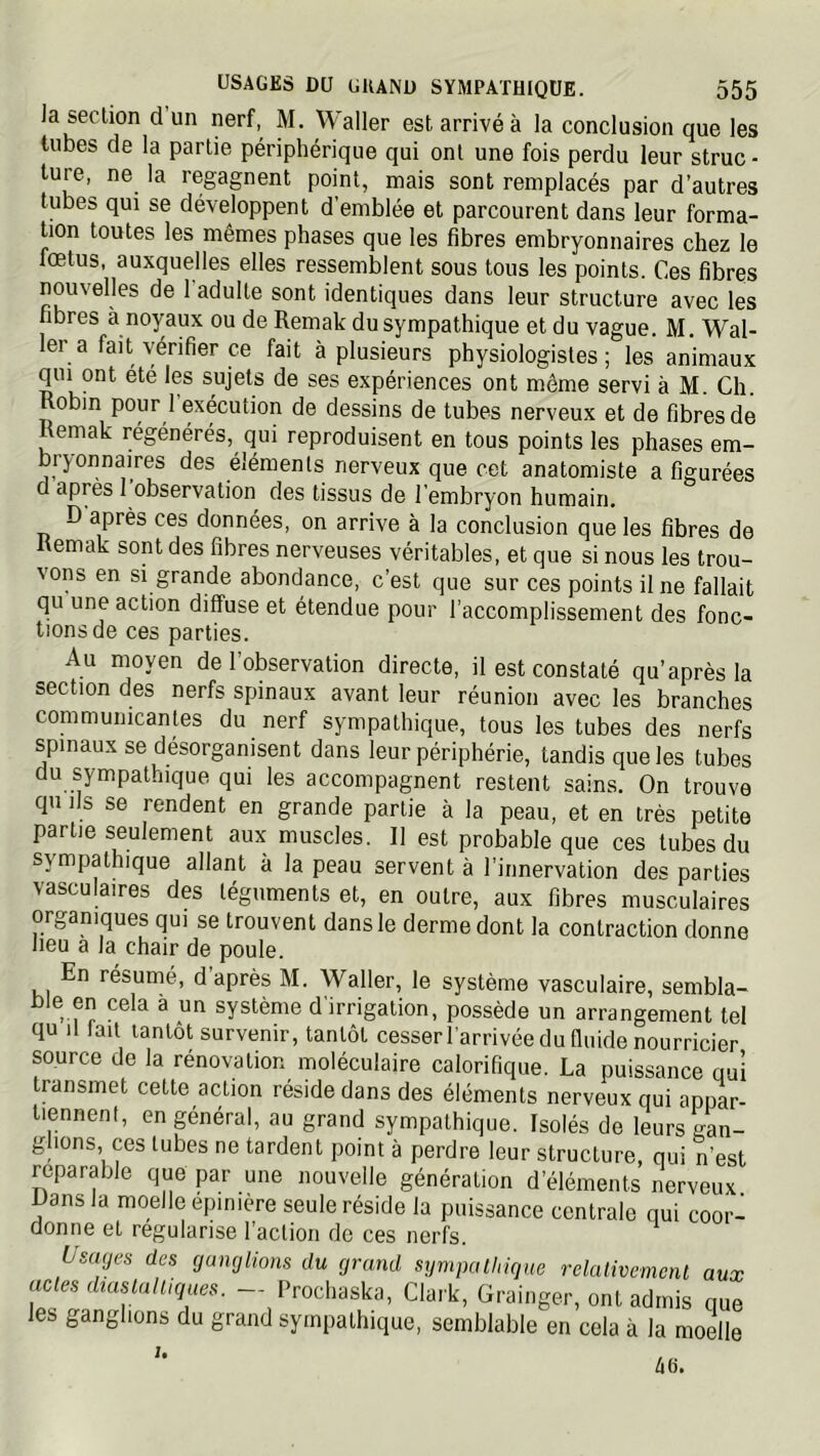 la section d un nerf, M. Waller est arrivé à la conclusion que les tubes de la partie périphérique qui ont une fois perdu leur struc - ture, ne la regagnent point, mais sont remplacés par d’autres tubes qui se développent d’emblée et parcourent dans leur forma- tion toutes les mêmes phases que les fibres embryonnaires chez le fœtus, auxquelles elles ressemblent sous tous les points. Ces fibres nouvelles de 1 adulte sont identiques dans leur structure avec les fibres à noyaux ou de Remak du sympathique et du vague. M. Wal- ler a fait vérifier ce fait à plusieurs physiologistes; les animaux qui ont ete les sujets de ses expériences ont même servi à M. Ch. obin pour 1 exécution de dessins de tubes nerveux et de fibres de Remak régénérés, qui reproduisent en tous points les phases em- bryonnaires des éléments nerveux que cet anatomiste a figurées U apres 1 observation des tissus de l’embryon humain. D après ces données, on arrive à la conclusion que les fibres de Remak sont des fibres nerveuses véritables, et que si nous les trou- vons en si grande abondance, c’est que sur ces points il ne fallait qu une action diffuse et étendue pour l’accomplissement des fonc- tions de ces parties. Au moyen de l’observation directe, il est constaté qu’après la section des nerfs spinaux avant leur réunion avec les branches communicantes du nerf sympathique, tous les tubes des nerfs spinaux se désorganisent dans leur périphérie, tandis que les tubes du sympathique qui les accompagnent restent sains. On trouve qu Ils se rendent en grande partie à la peau, et en très petite partie seulement aux muscles. Il est probable que ces tubes du sympathique allant à la peau servent à l’innervation des parties vasculaires des téguments et, en outre, aux fibres musculaires organiques qui se trouvent dans le derme dont la contraction donne heu a la chair de poule. En résumé, d après M. Waller, le système vasculaire, sembla- ble en cela à un système d'irrigation, possède un arrangement tel qu 11 lait tantôt survenir, tantôt cesser l’arrivée du fluide nourricier source de la rénovation moléculaire calorifique. La puissance qui transmet cette action réside dans des éléments nerveux qui appar- tiennent, en général, au grand sympathique. Isolés de leurs gan- glions, ces tubes ne tardent point à perdre leur structure, qui n'est réparable que par une nouvelle génération d’éléments nerveux Lansla moelle epiniere seule réside la puissance centrale qui coor- donne et régularise 1 action de ces nerfs. üsatjes des (jumjlions du grand sympathique relativement aux «etes to/pvy^s. - Prochaska, Clark, Grainger, ont admis que les ganglions du grand sympathique, semblable en cela à la moelle 6(1.