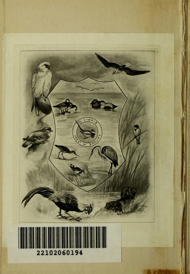digitised image 2