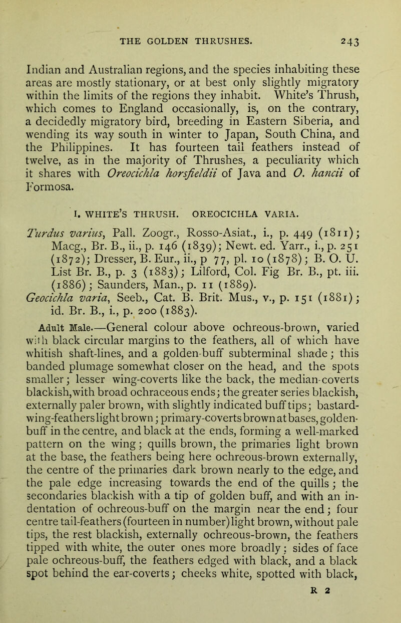 Indian and Australian regions, and the species inhabiting these areas are mostly stationary, or at best only slightly migratory within the limits of the regions they inhabit. White’s Thrush, which comes to England occasionally, is, on the contrary, a decidedly migratory bird, breeding in Eastern Siberia, and wending its way south in winter to Japan, South China, and the Philippines. It has fourteen tail feathers instead of twelve, as in the majority of Thrushes, a peculiarity which it shares with Oreocichla horsfieldii of Java and O. hancii of Formosa. 1. white’s thrush, oreocichla varia. Turdus varius, Pall. Zoogr., Rosso-Asiat., i., p. 449 (1811); Macg., Br. B., ii., p. 146 (1839); Newt. ed. Yarr., i., p. 251 (1872); Dresser, B. Eur., ii., p 77, pi. 10 (1878); B. O. U. List Br. B., p. 3 (1883); Lilford, Col. Fig Br. B., pt. iii. (1886); Saunders, Man., p. 11 (1889). Geocichla varia, Seeb., Cat. B. Brit. Mus., v., p. 151 (1881); id. Br. B., i., p. 200 (1883). Adult Male—General colour above ochreous-brown, varied with black circular margins to the feathers, all of which have whitish shaft-lines, and a golden-buff subterminal shade; this banded plumage somewhat closer on the head, and the spots smaller; lesser wing-coverts like the back, the median-coverts blackish,with broad ochraceous ends; the greater series blackish, externally paler brown, with slightly indicated buff tips; bastard- wing-feathers light brown ; primary-coverts brown at bases, golden- buff in the centre, and black at the ends, forming a well-marked pattern on the wing; quills brown, the primaries light brown at the base, the feathers being here ochreous-brown externally, the centre of the primaries dark brown nearly to the edge, and the pale edge increasing towards the end of the quills; the secondaries blackish with a tip of golden buff, and with an in- dentation of ochreous-buff on the margin near the end; four centre tail-feathers (fourteen in number) light brown, without pale tips, the rest blackish, externally ochreous-brown, the feathers tipped with white, the outer ones more broadly; sides of face pale ochreous-buff, the feathers edged with black, and a black spot behind the ear-coverts; cheeks white, spotted with black, R 2