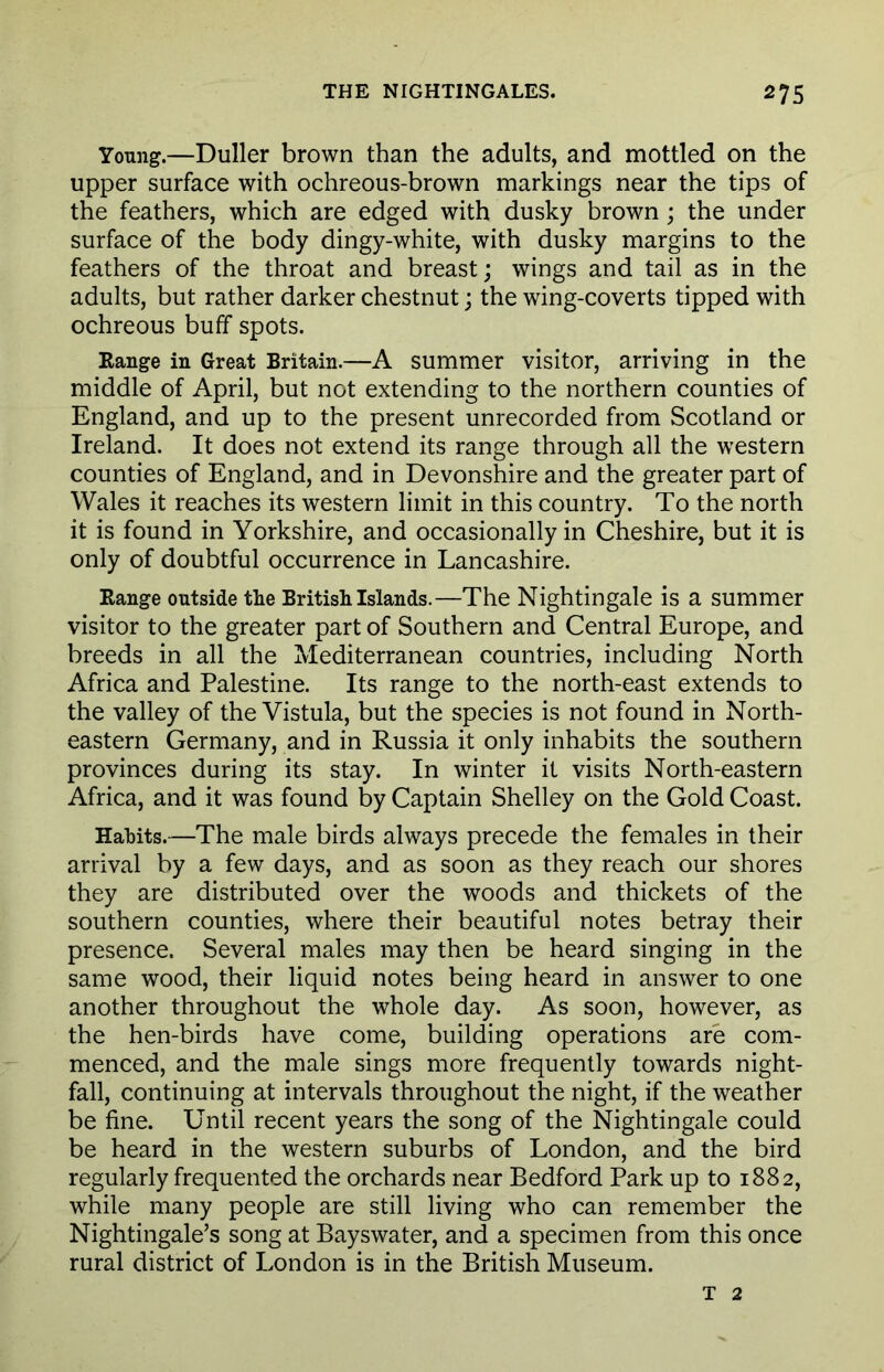 Young.—Duller brown than the adults, and mottled on the upper surface with ochreous-brown markings near the tips of the feathers, which are edged with dusky brown; the under surface of the body dingy-white, with dusky margins to the feathers of the throat and breast; wings and tail as in the adults, but rather darker chestnut; the wing-coverts tipped with ochreous buff spots. Range in Great Britain.—A summer visitor, arriving in the middle of April, but not extending to the northern counties of England, and up to the present unrecorded from Scotland or Ireland. It does not extend its range through all the western counties of England, and in Devonshire and the greater part of Wales it reaches its western limit in this country. To the north it is found in Yorkshire, and occasionally in Cheshire, but it is only of doubtful occurrence in Lancashire. Range outside the British Islands.—The Nightingale is a summer visitor to the greater part of Southern and Central Europe, and breeds in all the Mediterranean countries, including North Africa and Palestine. Its range to the north-east extends to the valley of the Vistula, but the species is not found in North- eastern Germany, and in Russia it only inhabits the southern provinces during its stay. In winter it visits North-eastern Africa, and it was found by Captain Shelley on the Gold Coast. Hahits.—The male birds always precede the females in their arrival by a few days, and as soon as they reach our shores they are distributed over the woods and thickets of the southern counties, where their beautiful notes betray their presence. Several males may then be heard singing in the same wood, their liquid notes being heard in answer to one another throughout the whole day. As soon, however, as the hen-birds have come, building operations are com- menced, and the male sings more frequently towards night- fall, continuing at intervals throughout the night, if the weather be fine. Until recent years the song of the Nightingale could be heard in the western suburbs of London, and the bird regularly frequented the orchards near Bedford Park up to 1882, while many people are still living who can remember the Nightingale’s song at Bayswater, and a specimen from this once rural district of London is in the British Museum. T 2