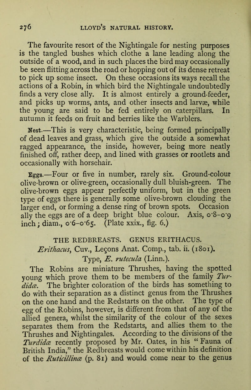 The favourite resort of the Nightingale for nesting purposes is the tangled bushes which clothe a lane leading along the outside of a wood, and in such places the bird may occasionally be seen flitting across the road or hopping out of its dense retreat to pick up some insect. On these occasions its ways recall the actions of a Robin, in which bird the Nightingale undoubtedly finds a very close ally. It is almost entirely a ground-feeder, and picks up worms, ants, and other insects and larvae, while the young are said to be fed entirely on caterpillars. In autumn it feeds on fruit and berries like the Warblers. Nest.—This is very characteristic, being formed principally of dead leaves and grass, which give the outside a somewhat ragged appearance, the inside, however, being .more neatly finished off, rather deep, and lined with grasses or rootlets and occasionally with horsehair. Eggs.—Four or five in number, rarely six. Ground-colour olive-brown or olive-green, occasionally dull bluish-green. The olive-brown eggs appear perfectly uniform, but in the green type of eggs there is generally some olive-brown clouding the larger end, or forming a dense ring of brown spots. Occasion ally the eggs are of a deep bright blue colour. Axis, o-8-0*9 inch; diam., 0-6-0-65. (Plate xxix., fig. 6.) THE REDBREASTS. GENUS ERITHACUS. Erithacus, Cuv., Legons Anat. Comp., tab. ii. (1801). Type, E. rutecula (Linn.). The Robins are miniature Thrushes, having the spotted young which prove them to be members of the family Tur- didce. The brighter coloration of the birds has something to do with their separation as a distinct genus from the Thrushes on the one hand and the Redstarts on the other. The type of egg of the Robins, however, is different from that of any of the allied genera, whilst the similarity of the colour of the sexes separates them from the Redstarts, and allies them to the Thrushes and Nightingales. According to the divisions of the Turdidce recently proposed by Mr. Oates, in his “ Fauna of British India,” the Redbreasts would come within his definition of the Ruticillince (p. 81) and would come near to the genus
