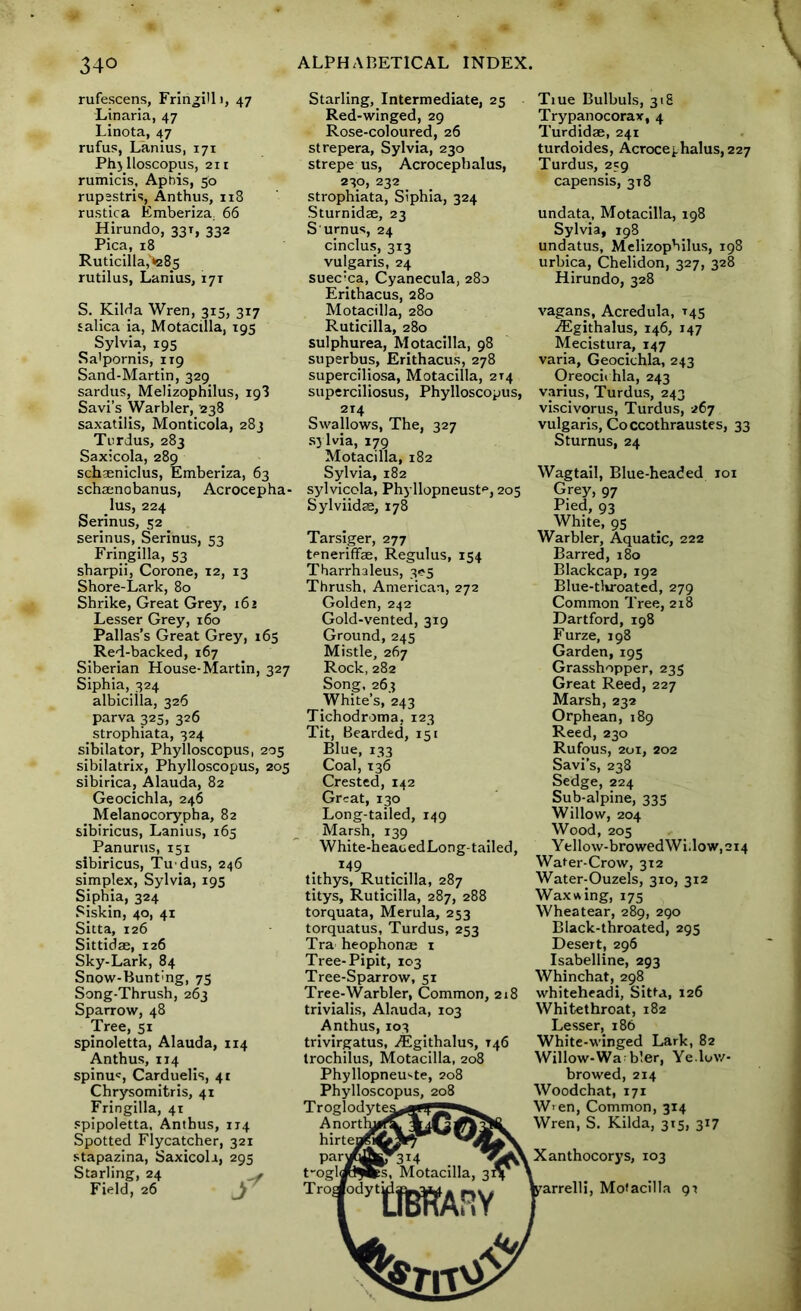 V rufescens, Fririgilli, 47 Linaria, 47 Linota, 47 rufus, Lanius, 171 Phylloscopus, 211 rumicis, Aphis, 50 rupestris, Anthus, 118 rustica Emberiza. 66 Hirundo, 33T, 332 Pica, 18 Ruticilla,*285 rutilus, Lanius, 171 S. Kilda Wren, 315, 317 ialica ia, Motacilla, 195 Sylvia, 195 Sa'pornis, 119 Sand-Martin, 329 sardus, Melizophilus, 198 Savi’s Warbler, 238 saxatilis, Monticola, 283 Turdus, 283 Saxicola, 289 schaeniclus, Emberiza, 63 schaenobanus, Acrocepha- lus, 224 Serinus, 52 serinus, Serinus, 53 Fringilla, 53 sbarpii, Corone, 12, 13 Shore-Lark, 80 Shrike, Great Grey, 162 Lesser Grey, 160 Pallas’s Great Grey, 165 Red-backed, 167 Siberian House-Martin, 327 Siphia, 324 albiciila, 326 parva 325, 326 strophiata, 324 sibilator, Phylloscopus, 205 sibilatrix, Phylloscopus, 205 sibirica, Alauda, 82 Geocichla, 246 __ Melanocorypha, 82 sibiricus, Lanius, 165 Panurus, 151 sibiricus, Tudus, 246 simplex, Sylvia, 195 Siphia, 324 Siskin, 40, 41 Sitta, 126 Sittidae, 126 Sky-Lark, 84 Snow-Bunt'ng, 75 Song-Thrush, 263 Sparrow, 48 Tree, 51 spinoletta, Alauda, 114 Anthus, 114 spinu«, Carduelis, 41 Chrysomitris, 41 Fringilla, 41 spipoletta, Anthus, 114 Spotted Flycatcher, 321 stapazlna, Saxicola, 295 Starling, 24 , Field, 26 Starling, Intermediate, 25 Red-winged, 29 Rose-coloured, 26 strepera, Sylvia, 230 strepe us, Acrocephalus, 230, 232 strophiata, Siphia, 324 Sturnidae, 23 S'urn us, 24 cinclus, 313 vulgaris, 24 suec:ca, Cyanecula, 280 Erithacus, 280 Motacilla, 280 Ruticilla, 280 sulphurea, Motacilla, 98 superbus, Erithacus, 278 superciliosa, Motacilla, 214 superciliosus, Phylloscopus, 214 Swallows, The, 327 sylvia, 179 Motacilla, 182 Sylvia, 182 sylvicola, Phyllopneuste, 205 Sylviidae, 178 Tarsiger, 277 teneriffae, Regulus, 154 Tharrhaleus, 3<*5 Thrush, American, 272 Golden, 242 Gold-vented, 319 Ground, 245 Mistle, 267 Rock, 282 Song,263 White’s, 243 Tichodroma, 123 Tit, Bearded, 151 Blue, 133 Coal, 136 Crested, 142 Great, 130 Long-tailed, 149 Marsh, 139 White-heaoedLong-tailed, T49 tithys, Ruticilla, 287 titys, Ruticilla, 287, 288 torquata, Merula, 253 torquatus, Turdus, 253 Tra heophonae 1 Tree-Pipit, 103 Tree-Sparrow, 51 Tree-Warbler, Common, 218 trivialis, Alauda, 103 Anthus, 103 trivirgatus, A^githalus, T46 trochilus, Motacilla, 208 Phyllopneuste, 208 Phylloscopus, 208 Troglodytes Anorth^^ hirtenfsktlk^ 'oj par^qflgJ^ji4 t-ogldBSlFs, Motacilla, 31^ ' Troaodyti' i\v£> Tiue Bulbuls, 318 Trypanocorax, 4 Turdidae, 241 turdoides, Acrocephalus, 227 Turdus, 259 capensis, 318 undata, Motacilla, 198 Sylvia, 198 undatus, Melizophilus, 198 urbica, Chelidon, 327, 328 Hirundo, 328 vagans, Acredula, 145 ^Fgithalus, 146, 147 Mecistura, 147 varia, Geocichla, 243 Oreocii hla, 243 varius, Turdus, 243 viscivorus, Turdus, 267 vulgaris, Coccothraustes, 33 Sturnus, 24 Wagtail, Blue-headed iox Grey, 97 Pied, 93 White, 95 Warbler, Aquatic, 222 Barred, 180 Blackcap, 192 Blue-throated, 279 Common Tree, 218 Dartford, 198 Furze, 198 Garden, 195 Grasshopper, 235 Great Reed, 227 Marsh, 232 Orphean, 189 Reed, 230 Rufous, 201, 202 Savi’s, 238 Sedge, 224 Sub-alpine, 335 Willow, 204 Wood, 205 Yellow-browedWi;low,2i4 Water-Crow, 312 Water-Ouzels, 310, 312 Wax wing, 175 Wheatear, 289, 290 Black-throated, 295 Desert, 296 Isabelline, 293 Whinchat,298 whiteheadi, Sitta, 126 Whitethroat, 182 Lesser, 186 White-winged Lark, 82 Willow-Wa bier, Ye.low- browed, 214 Woodchat, 171 W> en, Common, 314 Wren, S. Kilda, 315, 317 Xanthocorys, 103 arrelli, Motacilla gr