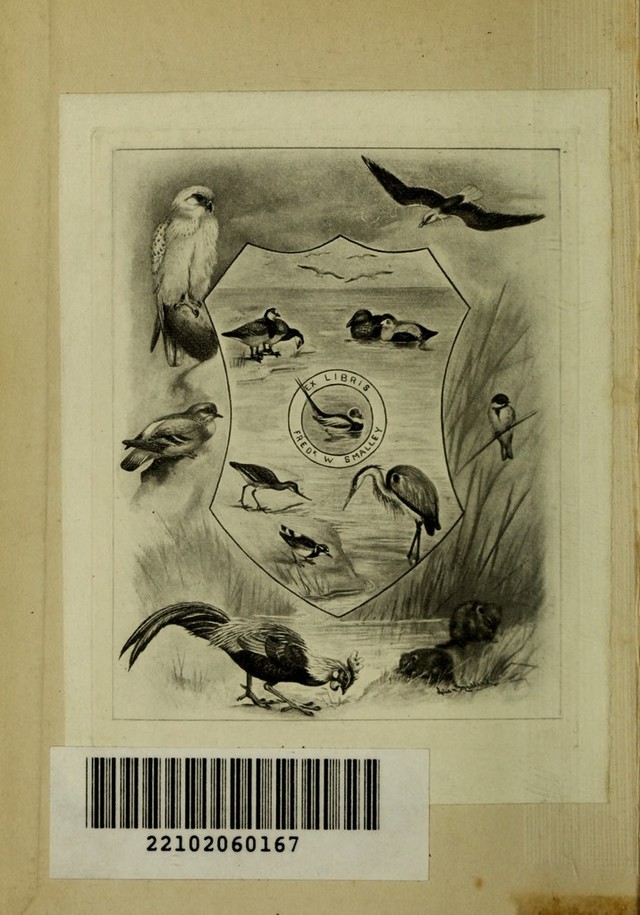 digitised image 2