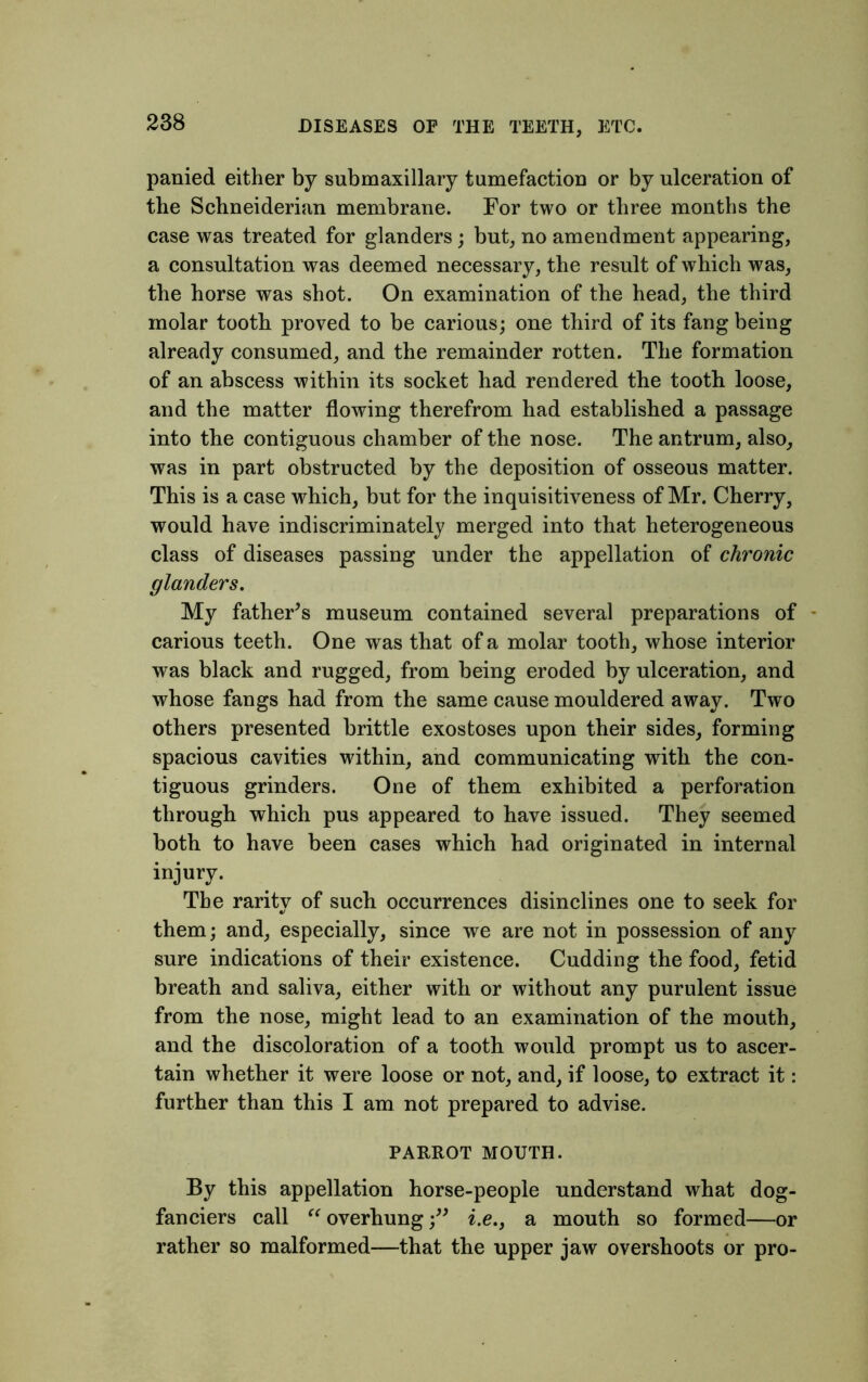 parried either by submaxillary tumefaction or by ulceration of the Schneiderian membrane. For two or three months the case was treated for glanders; but, no amendment appearing, a consultation was deemed necessary, the result of which was, the horse was shot. On examination of the head, the third molar tooth proved to be carious; one third of its fang being already consumed, and the remainder rotten. The formation of an abscess within its socket had rendered the tooth loose, and the matter flowing therefrom had established a passage into the contiguous chamber of the nose. The antrum, also, was in part obstructed by the deposition of osseous matter. This is a case which, but for the inquisitiveness of Mr. Cherry, would have indiscriminately merged into that heterogeneous class of diseases passing under the appellation of chronic glanders. My father's museum contained several preparations of carious teeth. One was that of a molar tooth, whose interior was black and rugged, from being eroded by ulceration, and whose fangs had from the same cause mouldered away. Two others presented brittle exostoses upon their sides, forming spacious cavities within, and communicating with the con- tiguous grinders. One of them exhibited a perforation through which pus appeared to have issued. They seemed both to have been cases which had originated in internal injury. The rarity of such occurrences disinclines one to seek for them; and, especially, since we are not in possession of any sure indications of their existence. Cudding the food, fetid breath and saliva, either with or without any purulent issue from the nose, might lead to an examination of the mouth, and the discoloration of a tooth would prompt us to ascer- tain whether it were loose or not, and, if loose, to extract it: further than this I am not prepared to advise. PARROT MOUTH. By this appellation horse-people understand what dog- fanciers call “ overhungi.e., a mouth so formed—or rather so malformed—that the upper jaw overshoots or pro-