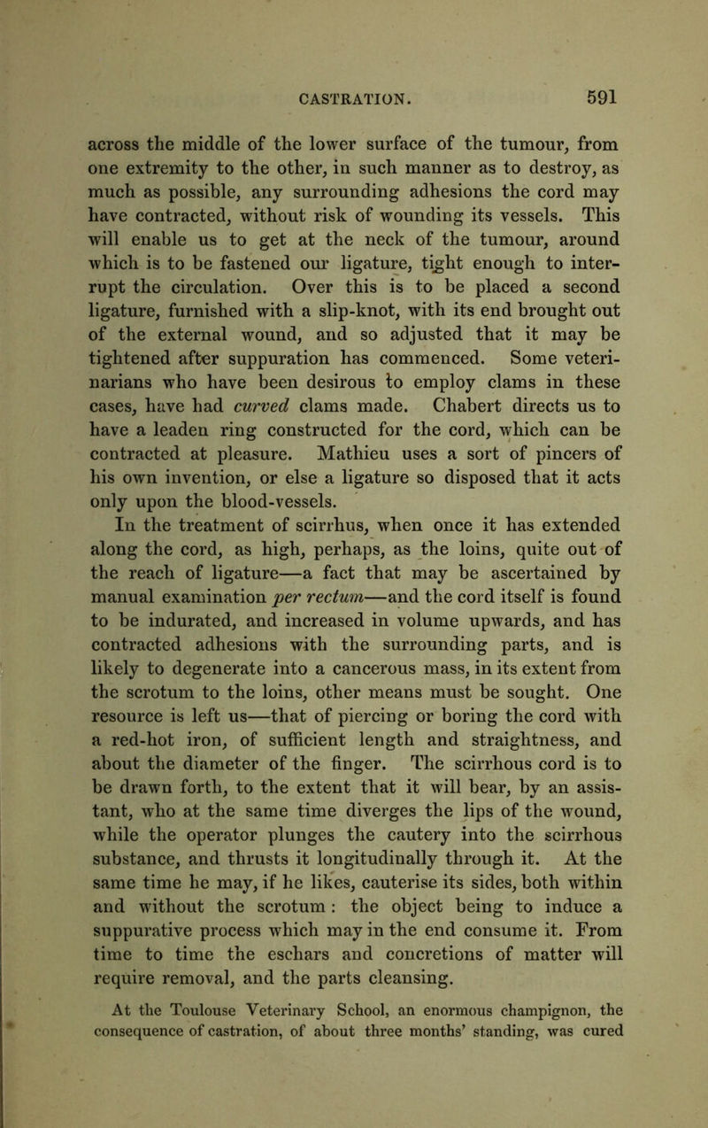across the middle of the lower surface of the tumour, from one extremity to the other, in such manner as to destroy, as much as possible, any surrounding adhesions the cord may have contracted, without risk of wounding its vessels. This will enable us to get at the neck of the tumour, around which is to be fastened our ligature, tight enough to inter- rupt the circulation. Over this is to be placed a second ligature, furnished with a slip-knot, with its end brought out of the external wound, and so adjusted that it may be tightened after suppuration has commenced. Some veteri- narians who have been desirous to employ clams in these cases, have had curved clams made. Chabert directs us to have a leaden ring constructed for the cord, which can be contracted at pleasure. Mathieu uses a sort of pincers of his own invention, or else a ligature so disposed that it acts only upon the blood-vessels. In the treatment of scirrhus, when once it has extended along the cord, as high, perhaps, as the loins, quite out of the reach of ligature—a fact that may be ascertained by manual examination per rectum—and the cord itself is found to be indurated, and increased in volume upwards, and has contracted adhesions with the surrounding parts, and is likely to degenerate into a cancerous mass, in its extent from the scrotum to the loins, other means must be sought. One resource is left us—that of piercing or boring the cord with a red-hot iron, of sufficient length and straightness, and about the diameter of the finger. The scirrhous cord is to be drawn forth, to the extent that it will bear, by an assis- tant, who at the same time diverges the lips of the wound, while the operator plunges the cautery into the scirrhous substance, and thrusts it longitudinally through it. At the same time he may, if he likes, cauterise its sides, both within and without the scrotum : the object being to induce a suppurative process which may in the end consume it. From time to time the eschars and concretions of matter will require removal, and the parts cleansing. At the Toulouse Veterinary School, an enormous champignon, the consequence of castration, of about three months’ standing, was cured