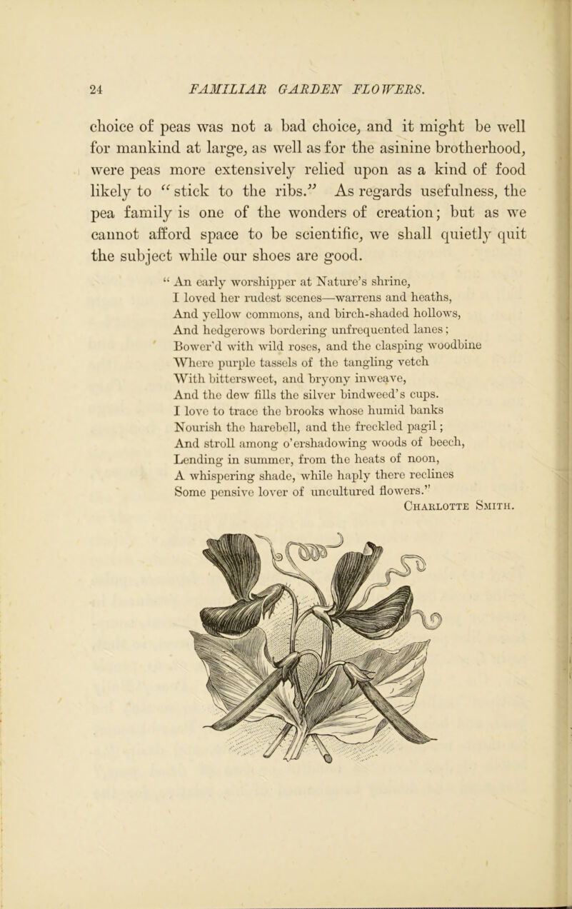 choice of peas was not a had choice, and it might be well for mankind at large, as well as for the asinine brotherhood, were peas more extensively relied upon as a kind of food likely to “ stick to the ribs.” As regards usefulness, the pea family is one of the wonders of creation; but as we cannot afford space to be scientific, we shall quietly quit the subject while our shoes are good. “ An early worshipper at Nature’s shrine, I loved her rudest scenes—warrens and heaths, And yellow commons, and birch-shaded hollows, And hedgerows bordering unfrequented lanes; Bower'd with wild roses, and the clasping woodbine Where purple tassels of the tangling vetch With bittersweet, and bryony inweave, And the dew fills the silver bindweed’s cups. I love to trace the brooks whose humid banks Nourish the harebell, and the freckled pagil; And stroll among o’ershadowing woods of beech, Lending in summer, from the heats of noon, A whispering shade, while haply there reclines Some pensive lover of uncultured flowers.” Charlotte Smith.