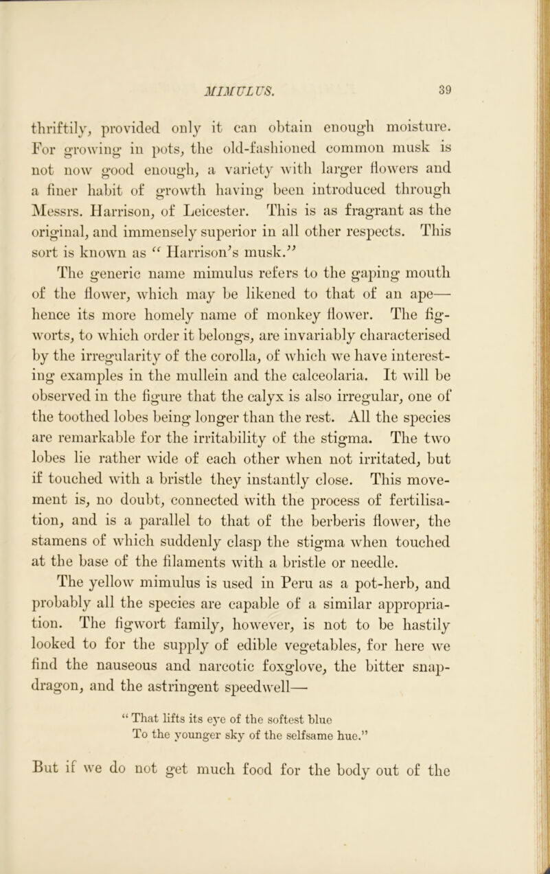 thriftily, provided only it can obtain enough moisture. For growing in pots, the old-fashioned common musk is not now good enough, a variety with larger flowers and a finer habit of growth having been introduced through Messrs. Harrison, of Leicester. This is as fragrant as the original, and immensely superior in all other respects. This sort is known as “ HarrisoiPs musk.” The generic name mimulus refers to the gaping mouth of the flower, which may be likened to that of an ape— hence its more homely name of monkey flower. The fig- worts, to which order it belongs, are invariably characterised by the irregularity of the corolla, of which we have interest- ing examples in the mullein and the calceolaria. It will be observed in the figure that the calyx is also irregular, one of the toothed lobes being longer than the rest. All the species are remarkable for the irritability of the stigma. The two lobes lie rather wide of each other when not irritated, but if touched with a bristle they instantly close. This move- ment is, no doubt, connected with the process of fertilisa- tion, and is a parallel to that of the berberis flower, the stamens of which suddenly clasp the stigma when touched at the base of the filaments with a bristle or needle. The yellow mimulus is used in Peru as a pot-herb, and probably all the species are capable of a similar appropria- tion. The figwort family, however, is not to be hastily looked to for the supply of edible vegetables, for here we find the nauseous and narcotic foxglove, the bitter snap- dragon, and the astringent speedwell— “ That lifts its eye of the softest blue To the younger sky of the selfsame hue.” But if we do not get much food for the body out of the