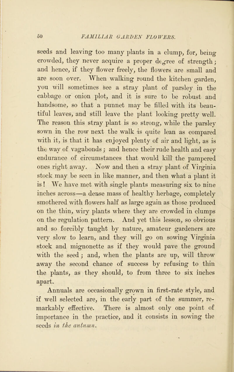 seeds and leaving* too many plants in a clump, for, being crowded, they never acquire a proper degree of strength; and hence, if they flower freely, the flowers are small and are soon over. When walking round the kitchen garden, you will sometimes See a stray plant of parsley in the cabbage or onion plot, and it is sure to be robust and handsome, so that a punnet may be filled with its beau- tiful leaves, and still leave the plant looking pretty well. The reason this stray plant is so strong, while the parsley sown in the row next the walk is quite lean as compared with it, is that it has enjoyed plenty of air and light, as is the way of vagabonds ; and hence their rude health and easy endurance of circumstances that would kill the pampered ones right away. Now and then a stray plant of Virginia stock may be seen in like manner, and then what a plant it is! We have met with single plants measuring six to nine inches across—a dense mass of healthy herbage, completely smothered with flowers half as large again as those produced on the thin, wiry plants where they are crowded in clumps on the regulation pattern. And yet this lesson, so obvious and so forcibly taught by nature, amateur gardeners are very slow to learn, and they will go on sowing Virginia stock and mignonette as if they would pave the ground with the seed; and, when the plants are up, will throw away the second chance of success by refusing to thin the plants, as they should, to from three to six inches apart. Annuals are occasionally grown in first-rate style, and if well selected are, in the early part of the summer, re- markably effective. There is almost only one point of importance in the practice, and it consists in sowing the seeds in the autumn.