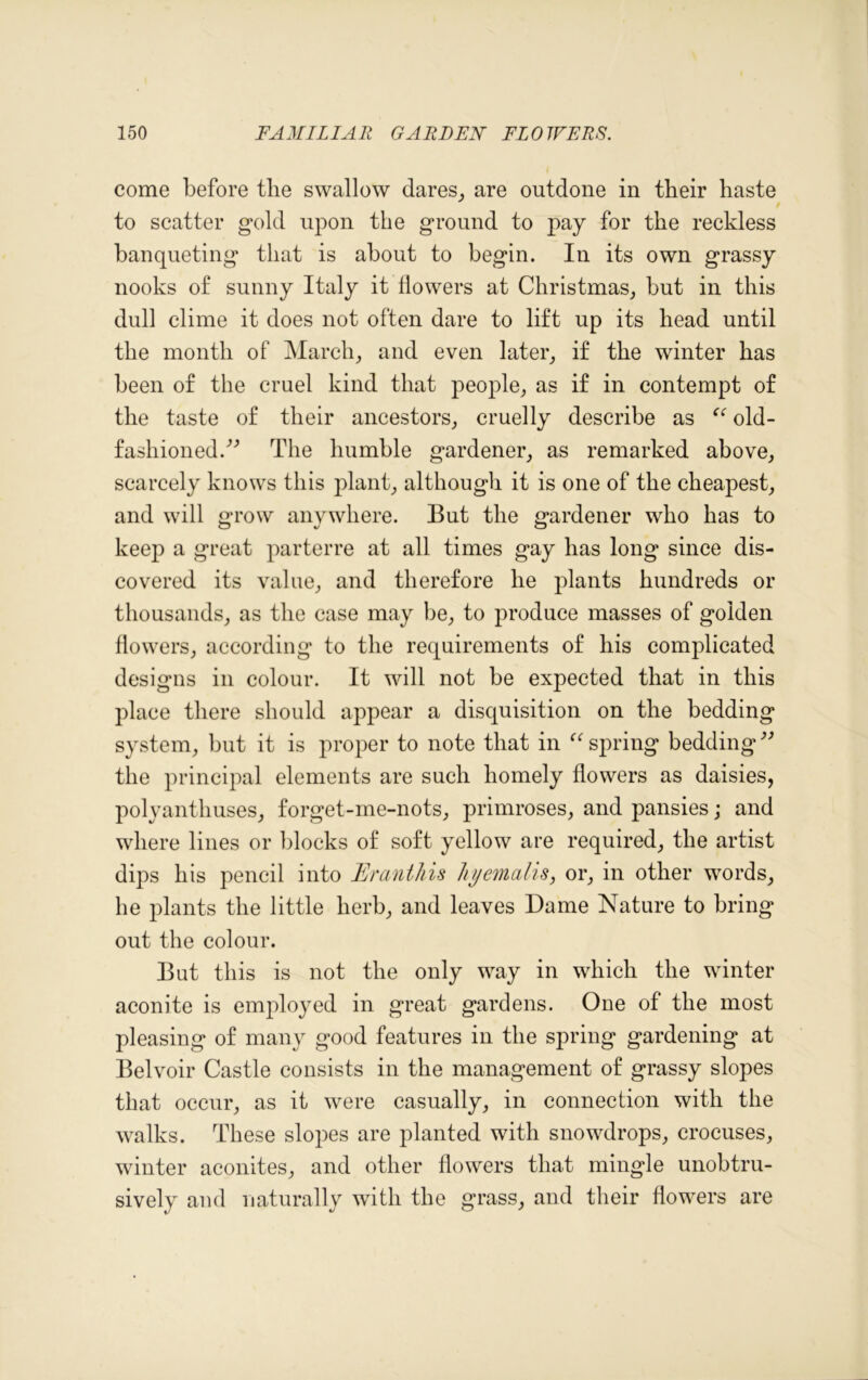 come before the swallow dares, are outdone in their haste to scatter gold upon the ground to pay for the reckless banqueting that is about to begin. In its own grassy nooks of sunny Italy it flowers at Christmas, but in this dull clime it does not often dare to lift up its head until the month of March, and even later, if the winter has been of the cruel kind that people, as if in contempt of the taste of their ancestors, cruelly describe as “ old- fashioned.^ The humble gardener, as remarked above, scarcely knows this plant, although it is one of the cheapest, and will grow anywhere. But the gardener who has to keep a great parterre at all times gay has long since dis- covered its value, and therefore he plants hundreds or thousands, as the case may be, to produce masses of golden flowers, according to the requirements of his complicated designs in colour. It will not be expected that in this place there should appear a disquisition on the bedding system, but it is proper to note that in “spring bedding” the principal elements are such homely flowers as daisies, polyanthuses, forget-me-nots, primroses, and pansies; and where lines or blocks of soft yellow are required, the artist dips his pencil into Eranthis Ji//emalis, or, in other words, he plants the little herb, and leaves Dame Nature to bring out the colour. But this is not the only way in which the winter aconite is employed in great gardens. One of the most pleasing of many good features in the spring gardening at Belvoir Castle consists in the management of grassy slopes that occur, as it were casually, in connection with the walks. These slopes are planted with snowdrops, crocuses, winter aconites, and other flowers that mingle unobtru- sively and naturally with the grass, and their flowers are
