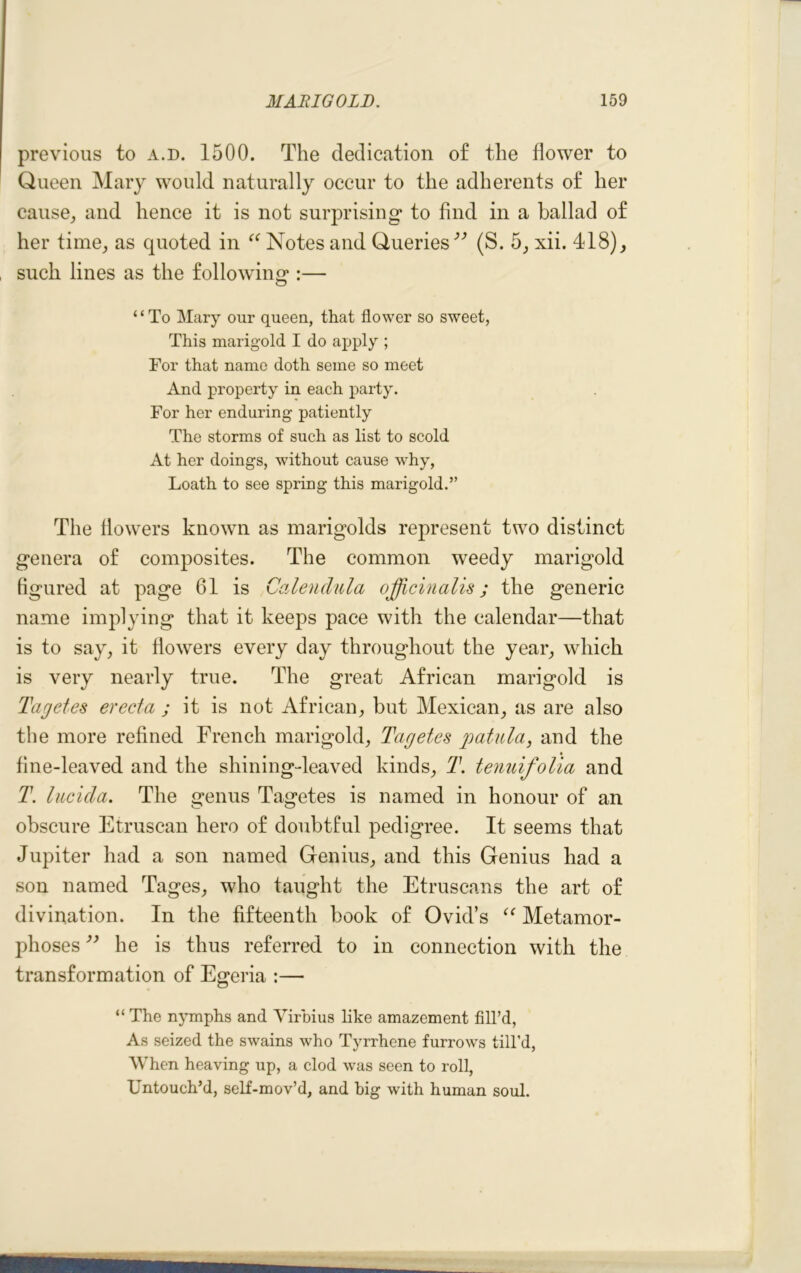 previous to a.d. 1500. The dedication of the flower to Queen Mary would naturally occur to the adherents of her cause, and hence it is not surprising* to find in a ballad of her time, as quoted in “ Notes and Queries^ (S. 5, xii. 418), such lines as the following*:— “To Mary our queen, that flower so sweet, This marigold I do apply ; For that name doth seme so meet And property in each party. For her enduring patiently The storms of such as list to scold At her doings, without cause why, Loath to see spring this marigold.” The flowers known as marigolds represent two distinct genera of composites. The common weedy marigold figured at page 61 is Calendula officinalis; the generic name implying that it keeps pace with the calendar—that is to say, it flowers every day throughout the year, which is very nearly true. The great African marigold is Tagetes erecta ; it is not African, but Mexican, as are also the more refined French marigold, Tagetes patula, and the fine-leaved and the shining-leaved kinds, T. tenuifolia and T. lucicla. The genus Tagetes is named in honour of an obscure Etruscan hero of doubtful pedigree. It seems that Jupiter had a son named Genius, and this Genius had a son named Tages, who taught the Etruscans the art of divination. In the fifteenth book of Ovid’s “ Metamor- phoses ” he is thus referred to in connection with the transformation of Egeria :— “ The nymphs and Virbius like amazement fill’d, As seized the swains who Tyrrhene furrows till’d, When heaving up, a clod was seen to roll, Untouch’d, self-mov’d, and big with human soul.