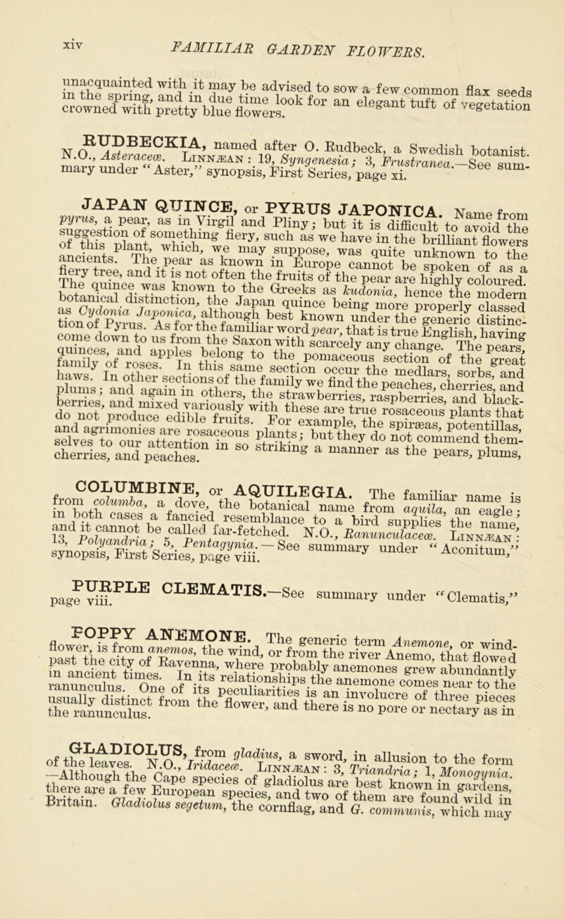 unacquainted with it may be advised to sow a few common flax seeds fW “ tUft N L™NnJ\Td!Qftf °- Edb«>V Swedish botanist 3> Frustrcmea. Aster,” synopsis, First Series, page xi -See sum- JAPAN QUINCE, or PYRUS JAPONIC A Name from Vyms, a pear, as m Virgil and Pliny; but it is difficuH to S the of^hft SUCh aS WG have in the brilliant flowers aLientsThe v 7 .suPP°se* was quite unknown to the . cients. -1 he pear as known m Europe cannot be spoken of as a fiery tree, and it is not often the fruits of the pear are hmhly coloured Tas +known, to the Greeks as kudonia, henc!the^ modern botanical distinction, the Japan quince being more properly classed K°yf°S%a JaI>onxca} although best known under thegeneric distfnc- ton of Pyrus. As for the familiar word pear, that is true English liavino- come down to us from the Saxon with scarcely fm^hfv aPPlT8 i?elon8 to tlie. Pomaceous section of the ^reat i‘ ^ T ioses. In this same section occur the medlars sorbs and plums IL0dhaegiinClnthLth?bfanHlr fin-d the P^ohes, cherries’, and db^of ^ cherries? and p“s “ S° Strikmg a manner “ Pears, plums, from ^oRmteBa^dOTe,°thf boteS ®Ime from sykops^, First Serie^p^eTiUr 6 SU“mary Under “A<*>*itum” pagRYiSPLE CLEMATIS.—See summary under “Clematis,” flowtr°P:from tS^the^nd, or from the ri?™hteZo0 artV”1?! of gladius> a sword, in allusion to the form