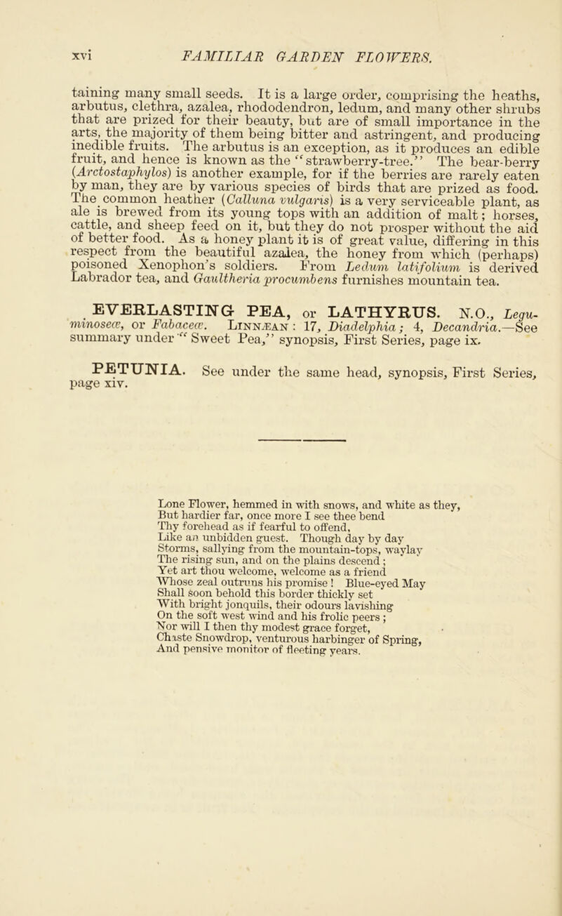 taining many small seeds. It is a large order, comprising the heaths, arbutus, clethra, azalea, rhododendron, ledum, and many other shrubs that are prized for their beauty, but are of small importance in the arts, the majority of them being bitter and astringent, and producing inedible fruits. The arbutus is an exception, as it produces an edible fruit, and hence is known as the strawberry-tree.” The bear-berry (Arctostaphylos) is another example, for if the berries are rarely eaten by man, they are by various species of birds that are prized as food. The. common heather (Calluna vulgaris) is a very serviceable plant, as ale is brewed from its young tops with an addition of malt; horses, cattle, and sheep feed on it, but they do not prosper without the aid of better food. As a honey plant it is of great value, differing in this respect from the beautiful azalea, the honey from which (perhaps) poisoned Xenophon’s soldiers. From Ledum latifolium is derived Labrador tea, and Gaultheria procumbens furnishes mountain tea. EVERLASTING PEA, or LATHYRUS. NO., Legu- minosece, or Fabacece. Linn/Ean : 17, Diadelphia; 4, Decandria.—See summary under “ Sweet Pea,’ synopsis. First Series, page ix. PETUNIA. See under the same head, synopsis. First Series, page xiv. Lone Flower, hemmed in with snows, and white as they, But hardier far, once more I see thee bend Thy forehead as if fearful to offend, Like an unbidden guest. Though day by day Storms, sallying from the mountain-tops, waylay The rising sun, and on the plains descend ; Yet art thou welcome, welcome as a friend Whose zeal outruns his promise ! Blue-eyed May Shall Soon behold this border thickly set With bright jonquils, their odours lavishing On the soft west wind and his frolic peers ; Nor will I then thy modest grace forget, Chiste Snowdrop, venturous harbinger of Spring, And pensive monitor of fleeting years.