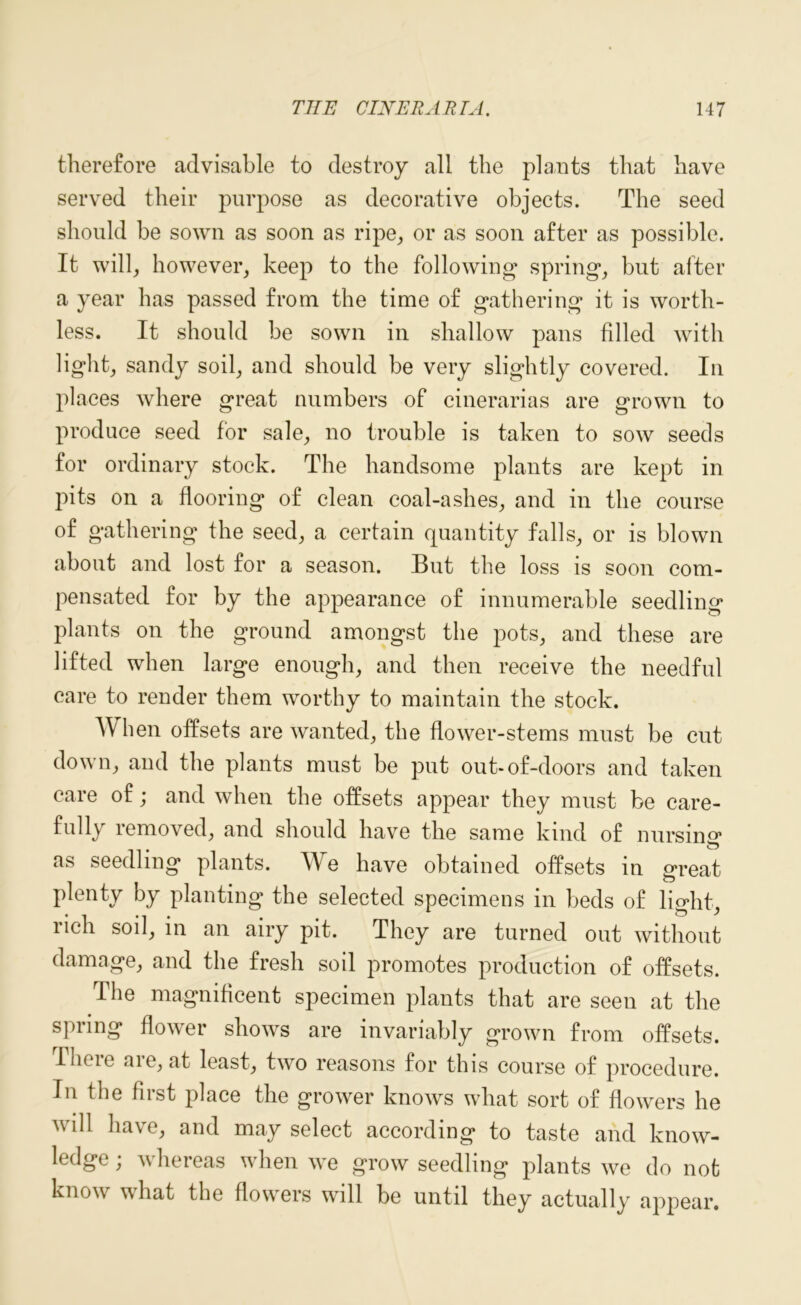 therefore advisable to destroy all the plants that have served their purpose as decorative objects. The seed should be sown as soon as ripe, or as soon after as possible. It will, however, keep to the following spring, but after a year has passed from the time of gathering it is worth- less. It should be sown in shallow pans filled with light, sandy soil, and should be very slightly covered. In places where great numbers of cinerarias are grown to produce seed for sale, no trouble is taken to sow seeds for ordinary stock. The handsome plants are kept in pits on a flooring of clean coal-ashes, and in the course of gathering the seed, a certain quantity falls, or is blown about and lost for a season. But the loss is soon com- pensated for by the appearance of innumerable seedling plants on the ground amongst the pots, and these are lifted when large enough, and then receive the needful care to render them worthy to maintain the stock. W lien offsets are wanted, the flower-stems must be cut down, and the plants must be put out-of-doors and taken care of; and when the offsets appear they must be care- fully removed, and should have the same kind of nursing as seedling plants. We have obtained offsets in great plenty by planting the selected specimens in beds of light, uch soil, in an airy pit. They are turned out without damage, and the fresh soil promotes production of offsets. The magnificent specimen plants that are seen at the spring flower shows are invariably grown from offsets. There are, at least, two reasons for this course of procedure. In the first place the grower knows what sort of flowers he will have, and may select according to taste and know- ledge ; whereas when we grow seedling plants we do not know what the flowers will be until they actually appear.