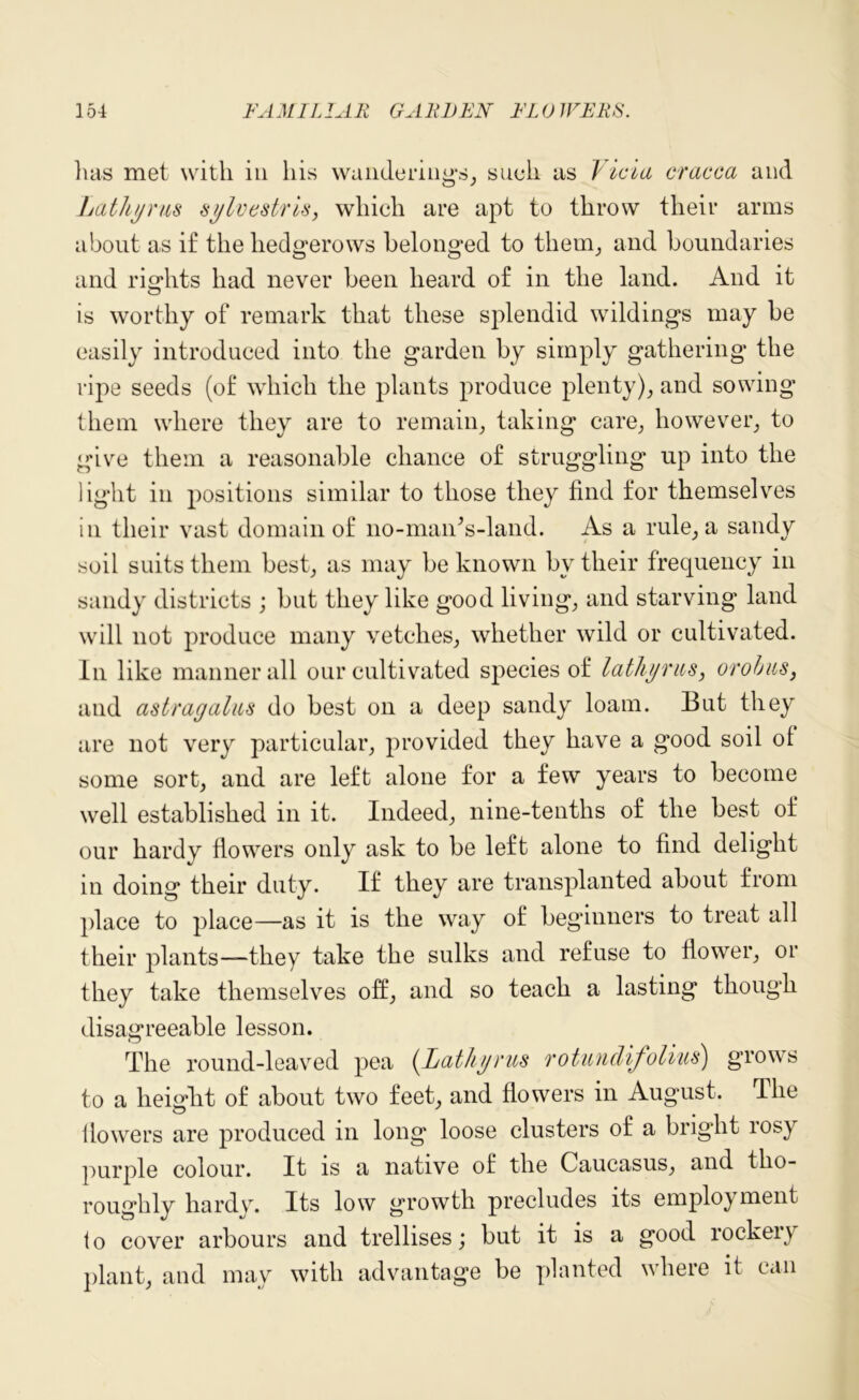 lias met with in his wanderings, such as Vicia cracca and Lathyrus sylvestris, which are apt to throw their arms about as if the hedgerows belonged to them, and boundaries and rights had never been heard of in the land. And it is worthy of remark that these splendid wildings may be easily introduced into the garden by simply gathering the ripe seeds (of which the plants produce plenty), and sowing them where they are to remain, taking care, however, to give them a reasonable chance of struggling up into the light in positions similar to those they find for themselves in their vast domain of 110-maiTs-land. As a rule, a sandy soil suits them best, as may be known by their frequency in sandy districts ; but they like good living, and starving land will not produce many vetches, whether wild or cultivated. In like manner all our cultivated species of lathyrus, orobus, and astragalus do best on a deep sandy loam. But they are not very particular, provided they have a good soil of some sort, and are left alone for a few years to become well established in it. Indeed, nine-tenths of the best of our hardy flowers only ask to be left alone to find delight in doing their duty. If they are transplanted about from place to place—as it is the way of beginners to treat all their plants—they take the sulks and refuse to flower, or they take themselves off, and so teach a lasting though disagreeable lesson. The round-leaved pea {Lathyrus rotunclifolius) grows to a height of about two feet, and flowers in August. The 1 lowers are produced in long loose clusters of a bright rosy purple colour. It is a native of the Caucasus, and tho- roughly hardy. Its low growth precludes its employment to cover arbours and trellises; but it is a good rockery plant, and may with advantage be planted where it can