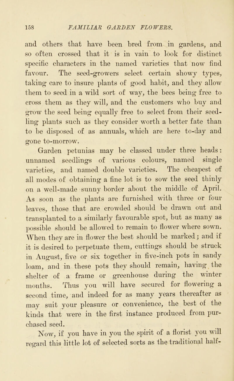 and others that have been bred from in gardens, and so often crossed that it is in vain to look for distinct specific characters in the named varieties that now find favour. The seed-growers select certain showy types, taking care to insure plants of good habit, and they allow them to seed in a wild sort of way, the bees being free to cross them as they will, and the customers who buy and grow the seed being equally free to select from their seed- ling plants such as they consider worth a better fate than to be disposed of as annuals, which are here to-day and gone to-morrow. Garden petunias may be classed under three heads : unnamed seedlings of various colours, named single varieties, and named double varieties. The cheapest of all modes of obtaining a fine lot is to sow the seed thinly on a well-made sunny border about the middle of April. As soon as the plants are furnished with three or four leaves, those that are crowded should be drawn out and transplanted to a similarly favourable spot, but as many as possible should be allowed to remain to flower where sown. When they are in flower the best should be marked; and if it is desired to perpetuate them, cuttings should be struck in August, five or six together in five-inch pots in sandy loam, and in these pots they should remain, having the shelter of a frame or greenhouse during the winter months. Thus you will have secured for flowering a second time, and indeed for as many years thereafter as may suit your pleasure or convenience, the best of the kinds that were in the first instance produced from pur- chased seed. Now, if you have in you the spirit of a florist you will regard this little lot of selected sorts as the traditional half-