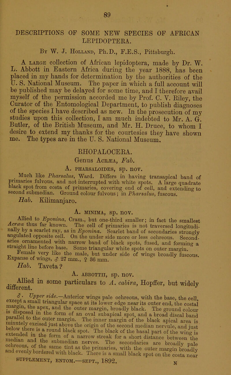 DESCRIPTIONS OF SOME NEW SPECIES OF AFRICAN LEPIDOPTERA. By W. J. Holland, Ph.D., F.E.S., Pittsburgh. A large collection of African lepidoptera, made by Dr. W. L. Abbott in Eastern Africa during the year 1888, has been placed in my bands for determination by the authorities of the U. S. National Museum. The paper in which a full account will be published may be delayed for some time, and I therefore avail myself of the permission accorded me by Prof. C. Y. Riley, the Curator of the Entomological Department, to publish diagnoses of the species I have described as new. In the prosecution of my studies upon this collection, I am much indebted to Mr. A. G. Butler, of the British Museum, and Mr. H. Druce, to whom I desire to extend my thanks for the courtesies they have shown me. The types are in the U. S. National Museum. RHOPALOCERA. Genus Acrasa, Fab. A. PHARSALOIDES, Sp. nOV. . Much like Pharsalus, Ward. Differs in having transapical band of primaries fulvous, and not interrupted with white spots. A large quadrate black spot from costa of primaries, covering end of ceil, and extending to second submedian. Ground colour fulvous; in Pharsalus, fuscous. Hab. Kilimanjaro. A. MINIMA, sp. nov. Allied to Eponina, Cram., but one-third smaller; in fact the smallest Acrcea thus far known. The cell of primaries is not traversed longitudi- nally by a scarlet ray, as in Eponina. Scarlet band of secondaries strongly angulated opposite cell. On the under side more or less ochreous. Second- aries ornamented with narrow band of black spots, fused, and forming a straight line before base. Some triangular white spots on outer margin. hemale very like the male, but under side of wings broadly fuscous hixpanse of wmgs, $ 27 mm., ? 36 mm. Hab. Taveta ? A. ABBOTTII, sp. nov. in some particulars to A. cabira, Hopffer, but widely (? . Upper side. Anterior wings pale ochreous, with the base, the cell ex ep a small triangular space at its lower edge near its outer end, the costal • ^jj’ th,e a“d the outer margin, broadly black. The ground colour nnnlLl f iiln 4h.e form of an oval subapical spot, and a broad discal band minntfllv nS-8 °j^er,margm- The mner margin of the black apical area is mutely excised just above the origin of the second median nervule, and iust « sndla6 to18,; Tnd Urk Spot- Th0 blMt »f tlle “ !> of “togis median \Z to i 0,..a nsrrow stre”; ‘ fr * short distance between the n nd *he submedian nerves. The secondaries are broadly nale ireous, of the same tint as the primaries, with the outer margin broadlv and evenly bordered with black. There is a small black spot on the “osta nem