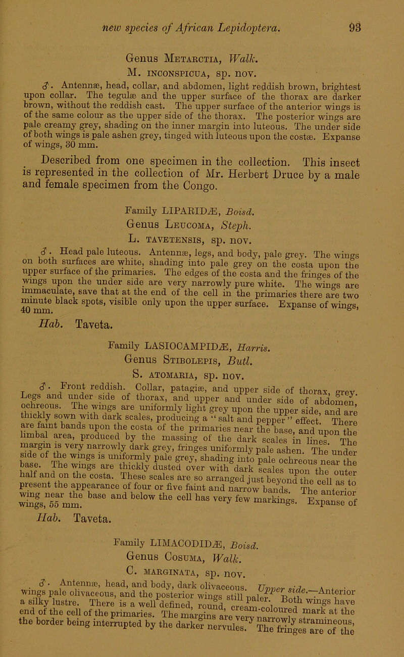 Genus Metarctia, Walk. M. INCONSPICUA, sp. nov. 3. Antennae, head, collar, and abdomen, light reddish brown, brightest upon collar. The tegulae and the upper surface of the thorax are darker brown, without the reddish cast. The upper surface of the anterior wings is of the same colour as the upper side of the thorax. The posterior wings are pale creamy g;rey, shading on the inner margin into luteous. The under side of both wings is pale ashen grey, tinged with luteous upon the costae. Expanse of wings, 30 mm. Described from one specimen in the collection. This insect is represented in the collection of Mr. Herbert Druce by a male and female specimen from the Congo. Family LIPARIDiE, Boisd. Genus Leucoma, Steph. L. TAVETENSIS, Sp. 110V. 3 • Head pale luteous. Antennas, legs, and body, pale grey. The wings on both surfaces are white, shading into pale grey on the costa upon the upper surface of the primaries. The edges of the costa and the fringes of the wings upon the under side are very narrowly pure white. The wings are immaculate, save that at the end of the cell in the primaries there are two X^m blaCk SP°tS) V1Slble °nly Upon the upper surface- Expanse of wings, Hob. Taveta. Family LASIOCAMPIDfiE, Harris. Genus Stibolepis, Butl. S. ATOMARIA, Sp. 110V. 3- Front reddish Collar, patagise, and upper side of thorax, grev Legs and under side of thorax, and upper and under side of abdomen ochreous. The wings are uniformly light grey upon the upper side, and are thickly sown with dark scales, producing a “ salt and pepper ” effect There hmhn 1nt U§°n ^ co^a of the Primaries near the base, and upon the lirnbal area, produced by the massing of the dark scales in line? The very narr°wly dark grey, fringes uniformly pale ashen. The under side of the wings is uniformly pale grey, shading into pale ochreous'near the base. The wings are thickly dusted over with dark scales unnn halt and on the costa. These scales are so arranged just beyond the cell as to present the appearance oi four or five faint and narrow bands TtL•* ™fs“base and below the ceI1 ™ ftS?5 Hab. Taveta. Family LIMACODIDfiE, Boisd. Genus Cosuma, Walk. C. MARGINATA, Sp. 110V. 3- Antennal, head, and body, dark olivaceous. TJvver sidp AnG ' wings pale olivaceous, and the posterior wings still m? /n A °r a silky lustre. There is a well defined, round creiVlnl™®' ? Wm,gS ha7e end ot the cell of the primaries. The margins ora ■, 1 * 0urf^ mark at the the border being interrupted by the darktj nervules?' of'2