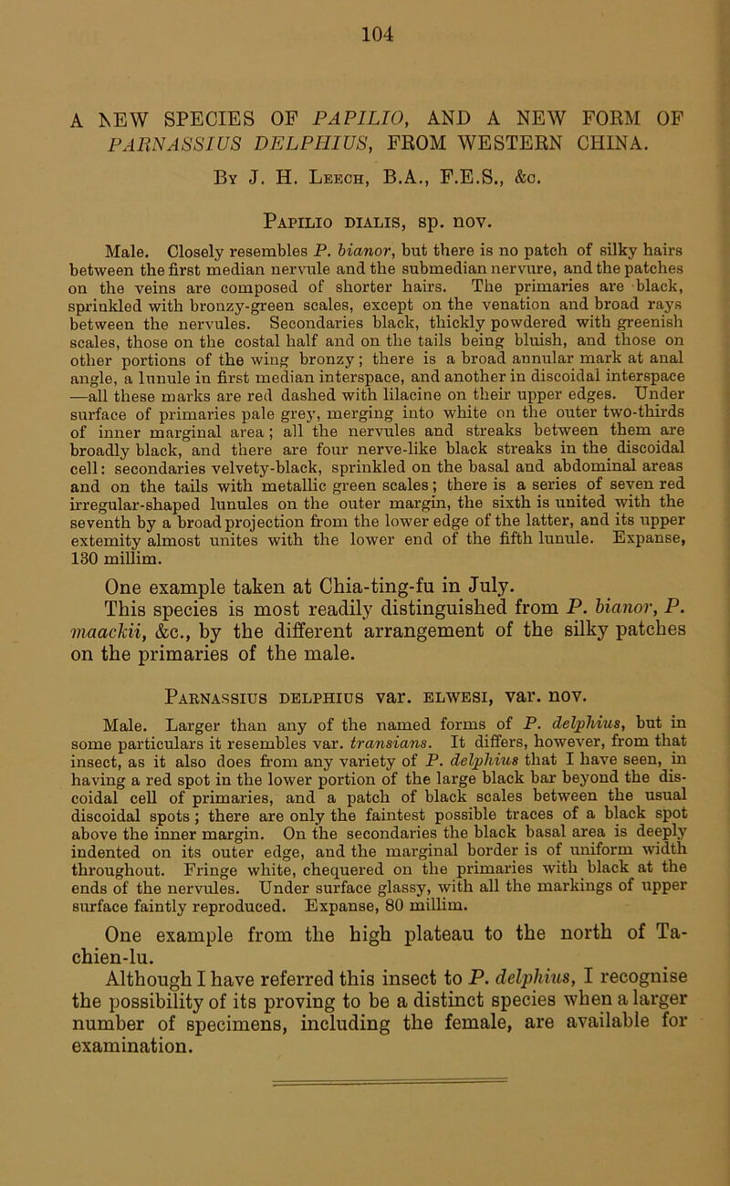 A NEW SPECIES OF PAPILIO, AND A NEW FORM OF PARNASSIUS DELPHIUS, FROM WESTERN CHINA. By J. Ii. Leech, B.A., F.E.S., &c. Papilio dialis, sp. nov. Male. Closely resembles P. Manor, but there is no patch of silky hairs between the first median nervule and the submedian nervure, and the patches on the veins are composed of shorter hairs. The primaries are black, sprinkled with bronzy-green scales, except on the venation and broad rays between the nervules. Secondaries black, thickly powdered with greenish scales, those on the costal half and on the tails being bluish, and those on other portions of the wing bronzy; there is a broad annular mark at anal angle, a lunule in first median interspace, and another in discoidal interspace —all these marks are red dashed with lilaeine on their upper edges. Under surface of primaries pale grey, merging into white on the outer two-thirds of inner marginal area ; all the nervules and streaks between them are broadly black, and there are four nerve-like black streaks in the. discoidal cell: secondaries velvety-black, sprinkled on the basal and abdominal areas and on the tails with metallic green scales; there is a series of seven red irregular-shaped lunules on the outer margin, the sixth is united with the seventh by a broad projection from the lower edge of the latter, and its upper extemity almost unites with the lower end of the fifth lunule. Expanse, 130 millim. One example taken at Chia-ting-fu in July. This species is most readily distinguished from P. Manor, P. maackii, &c., by the different arrangement of the silky patches on the primaries of the male. Parnassius delphius var. elwesi, vai\ nov. Male. Larger than any of the named forms of P. delphius, but in some particulars it resembles var. transians. It differs, however, from that insect, as it also does from any variety of P. delphius that I have seen, in having a red spot in the lower portion of the large black bar beyond the dis- coidal cell of primaries, and a patch of black scales between the usual discoidal spots ; there are only the faintest possible traces of a black spot above the inner margin. On the secondaries the black basal area is deeply indented on its outer edge, and the marginal border is of uniform width throughout. Fringe white, chequered on the primaries with black at the ends of the nervules. Under surface glassy, with all the markings of upper surface faintly reproduced. Expanse, 80 millim. One example from the high plateau to the north of Ta- chien-lu. Although I have referred this insect to P. delphius, I recognise the possibility of its proving to be a distinct species when a larger number of specimens, including the female, are available for examination.