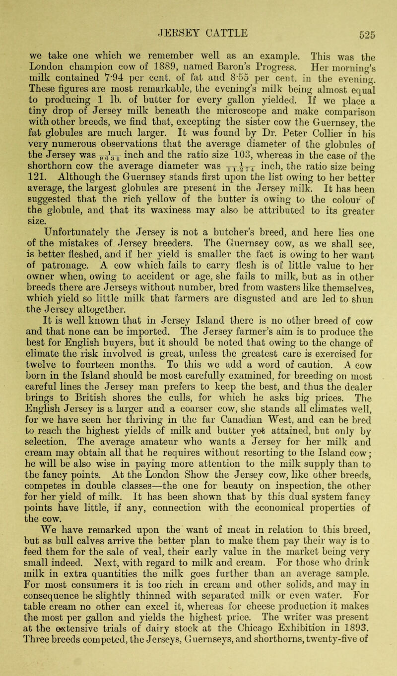 we take one which we remember well as an example. This was the London champion cow of 1889, named Baron s Progress. Her morning’s milk contained 7'94 per cent, of fat and 8‘55 per cent, in the evening. These figures are most remarkable, the evening’s milk being almost equal to producing 1 lb. of butter for every gallon yielded. If we place a tiny drop of Jersey milk beneath the microscope and make comparison with other breeds, we find that, excepting the sister cow the Guernsey, the fat globules are much larger. It was found by Dr. Peter Collier in his very numerous observations that the average diameter of the globules of the Jersey was -g-the ratio size 103, whereas in the case of the shorthorn cow the average diameter was inch, the ratio size being 121. Although the Guernsey stands first upon the list owing to her better average, the largest globules are present in the Jersey milk. It has been suggested that the rich yellow of the butter is owing to the colour of the globule, and that its waxiness may also be attributed to its greater size. Unfortunately the Jersey is not a butcher’s breed, and here lies one of the mistakes of Jersey breeders. The Guernsey cow, as we shall see, is better fleshed, and if her yield is smaller the fact is owing to her want of patronage. A cow which fails to carry flesh is of little value to her owner when, owing to accident or age, she fails to milk, but as in other breeds there are Jerseys without number, bred from wasters like themselves, which yield so little milk that farmers are disgusted and are led to shun the Jersey altogether. It is well known that in Jersey Island there is no other breed of cow and that none can be imported. The Jersey farmer’s aim is to produce the best for English buyers, but it should be noted that owing to the change of climate the risk involved is great, unless the greatest care is exercised for twelve to fourteen months. To this we add a word of caution. A cow born in the Island should be most carefully examined, for breeding on most careful lines the Jersey man prefers to keep the best, and thus the dealer brings to British shores the culls, for which he asks big prices. The English Jersey is a larger and a coarser cow, she stands all climates well, for we have seen her thriving in the far Canadian West, and can be bred to reach the highest yields of milk and butter yet attained, but only by selection. The average amateur who wants a Jersey for her milk and cream may obtain all that he requires without resorting to the Island cow ; he will be also wise in paying more attention to the milk supply than to the fancy points. At the London Show the Jersey cow, like other breeds, competes in double classes—the one for beauty on inspection, the other for her yield of milk. It has been shown that by this dual system fancy points have little, if any, connection with the economical properties of the cow. We have remarked upon the want of meat in relation to this breed, but as bull calves arrive the better plan to make them pay their way is to feed them for the sale of veal, their early value in the market being very small indeed. Next, with regard to milk and cream. For those who drink milk in extra quantities the milk goes further than an average sample. For most consumers it is too rich in cream and other solids, and may in consequence be slightly thinned with separated milk or even water. For table cream no other can excel it, whereas for cheese production it makes the most per gallon and yields the highest price. The writer was present at the extensive trials of dairy stock at the Chicago Exhibition in 1893. Three breeds competed, the Jerseys, Guernseys, and shorthorns, twenty-five of