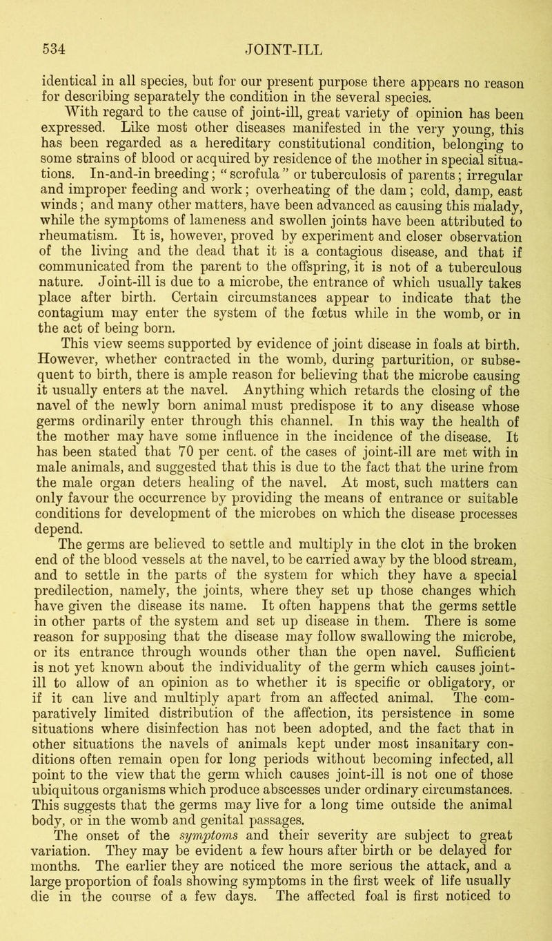 identical in all species, but for our present purpose there appears no reason for describing separately the condition in the several species. With regard to the cause of joint-ill, great variety of opinion has been expressed. Like most other diseases manifested in the very young, this has been regarded as a hereditary constitutional condition, belonging to some strains of blood or acquired by residence of the mother in special situa- tions. In-and-in breeding; “ scrofula ” or tuberculosis of parents; irregular and improper feeding and work; overheating of the dam; cold, damp, east winds; and many other matters, have been advanced as causing this malady, while the symptoms of lameness and swollen joints have been attributed to rheumatism. It is, however, proved by experiment and closer observation of the living and the dead that it is a contagious disease, and that if communicated from the parent to the offspring, it is not of a tuberculous nature. Joint-ill is due to a microbe, the entrance of which usually takes place after birth. Certain circumstances appear to indicate that the contagium may enter the system of the foetus while in the womb, or in the act of being born. This view seems supported by evidence of joint disease in foals at birth. However, whether contracted in the womb, during parturition, or subse- quent to birth, there is ample reason for believing that the microbe causing it usually enters at the navel. Anything which retards the closing of the navel of the newly born animal must predispose it to any disease whose germs ordinarily enter through this channel. In this way the health of the mother may have some influence in the incidence of the disease. It has been stated that 70 per cent, of the cases of joint-ill are met with in male animals, and suggested that this is due to the fact that the urine from the male organ deters healing of the navel. At most, such matters can only favour the occurrence by providing the means of entrance or suitable conditions for development of the microbes on which the disease processes depend. The germs are believed to settle and multiply in the clot in the broken end of the blood vessels at the navel, to be carried away by the blood stream, and to settle in the parts of the system for which they have a special predilection, namely, the joints, where they set up those changes which have given the disease its name. It often happens that the germs settle in other parts of the system and set up disease in them. There is some reason for supposing that the disease may follow swallowing the microbe, or its entrance through wounds other than the open navel. Sufficient is not yet known about the individuality of the germ which causes joint- ill to allow of an opinion as to whether it is specific or obligatory, or if it can live and multiply apart from an affected animal. The com- paratively limited distribution of the affection, its persistence in some situations where disinfection has not been adopted, and the fact that in other situations the navels of animals kept under most insanitary con- ditions often remain open for long periods without becoming infected, all point to the view that the germ which causes joint-ill is not one of those ubiquitous organisms which produce abscesses under ordinary circumstances. This suggests that the germs may live for a long time outside the animal body, or in the womb and genital passages. The onset of the symptoms and their severity are subject to great variation. They may be evident a few hours after birth or be delayed for months. The earlier they are noticed the more serious the attack, and a large proportion of foals showing symptoms in the first week of life usually die in the course of a few days. The affected foal is first noticed to