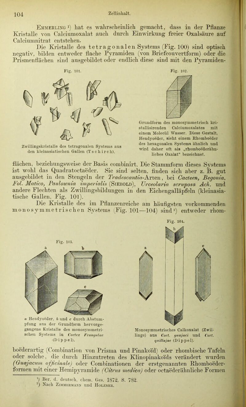 Ejimerlixg 1) hat es wahrscheinlich gemacht, dass in der Pflanze Kristalle von Calciumoxalat auch durch Einwirkung freier Oxalsäure auf Calciumnitrat entstehen. Die Kristalle des tetragonalen Systems (Eig. 100) sind optisch negativ, bilden entweder flache Pyramiden (von Briefcouvertform) oder die Prismenflächen sind aitsgebildet oder endlich diese sind mit den Pyramiden- Fig. 101. Zwillingskristalle des tetragonalen Systems aus den kleinasiatisclien Gallen (Tsohircli). Fig. 102. Grundform des monosymmetriscli kri- stallisirenden Calciumoxalates mit einem Molecül Wasser. Diese Gestalt, Hendyoeder, sieht einem Rhomboeder des hexagonalen Systems ähnlich und wird daher oft als „rhomboederähn- liches Oxalat“ bezeichnet. flächen, beziehungsweise der Ba.sis combinirt. Die Stammform dieses Systems ist wohl das Quadratoctaeder. Sie sind selten, finden sich aber z. B. gut ausgebildet in den Stengeln der Tradescantia-Axxew, bei Cacteen, Begonia, Fol. Matico, Paulownia imperialis (Siebold), Urceolaria seruposa Ach. und andere Flechten als Zwillingsbildungen in den Eichengalläpfeln (kleinasia- tische Gallen, Eig. 101). Die Kristalle des im Pflanzenreiche am häufigsten vorkommenden mono symmetrischen Systems (Fig. 101—104) sind'-') entweder rhom- a Hendyoeder, b und c durch Abstum- pfung aus der Grundform hervorge- gangene Kristalle des monosymmetri- schen Systems in Cortex Franijvlae (Dippel). Fig. 10t. Monosymmetrisches Calkoxalat (Zwil- linge) aus Cort. yuajaci und Cort. yiiiltajae (Dippel). boederartig (Combination von Prisma und Pinako’id) oder rhombische Tafeln oder solche, die durch Hinzutreten des Klinopinako'ids verändert wurden (Guajacum ofjicinale) oder Combinationen der ei’stgenannten Rhomboeder- formen mit einer Hemipyramide (Citrus medica) oder octaederähnliche Formen b Ber. d. deutsch, ehern. Ges. 1872, S. 782. 0 Nach ZiMMERMASN Und Holzxee.